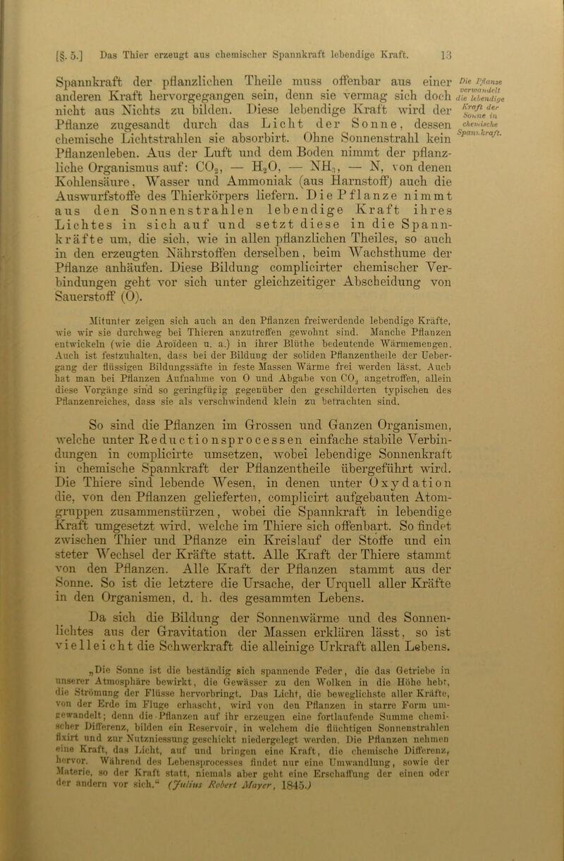 Spannkraft der pflanzlichen Theile muss offenbar aus einer anderen Kraft hervorgegangen sein, denn sie vermag sich doch nicht aus Nichts zu bilden. Diese lebendige Kraft wird der Pflanze zugesandt durch das Licht der Sonne, dessen chemische Lichtstrahlen sie absorbirt. Ohne Sonnenstrahl kein Pflanzenleben. Aus der Luft und dem Boden nimmt der pflanz- liche Organismus auf: CO2, — H2O, — NH-,, — N, von denen Kohlensäure, Wasser und Ammoniak (aus Harnstoff) auch die Auswurfstoffe des Thierkörpers liefern. Die Pflanze nimmt aus den Sonnenstrahlen lebendige Kraft ihres Lichtes in sich auf und setzt diese in die Spann- kräfte um, die sich, wie in allen pflanzlichen Theiles, so auch in den erzeugten Nährstoffen derselben, beim Wachsthume der Pflanze anhäufen. Diese Bildung complicirter chemischer Ver- bindungen geht vor sich unter gleichzeitiger Abscheidung von Sauerstoff (0). Mitunter zeigen sieb auch an den Pflanzen freiwerdende lebendige Kräfte, wie wir sie durchweg bei Thieren anzutreffen gewohnt sind. Manche Pflanzen entwickeln (wie die Aroideen u. a.) in ihrer Blüthe bedeutende Wärmemeugen. Auch ist festzuhalten, dass bei der Bildung der soliden Pflanzentheile der Ueber- gang der flüssigen Bildungssäfte in feste Massen Wärme frei werden lässt. Auch hat man bei Pflanzen Aufnahme von 0 und Abgabe von CO^ angetroffen, allein diese Vorgänge sind so geringfügig gegenüber den geschilderten typischen des Pflanzenreiches, dass sie als verschwindend klein z\i betrachten sind. So sind die Pflanzen im Grrossen und Ganzen Organismen, welche unter Reductionsprocessen einfache stabile Verbin- dungen in complicirte umsetzen, wobei lebendige Sonnenkraft in chemische Spannkraft der Pflanzentheile übergeführt wird. Die Thiere sind lebende Wesen, in denen unter Oxydation die, von den Pflanzen gelieferten, complicirt aufgebauten Atom- gruppen Zusammenstürzen, wobei die Spannkraft in lebendige Kraft umgesetzt wird, welche im Thiere sich offenbart. So findet zwischen Thier und Pflanze ein Kreislauf der Stoffe und ein steter Wechsel der Kräfte statt. Alle Kraft der Thiere stammt von den Pflanzen. Alle Kraft der Pflanzen stammt aus der Sonne. So ist die letztere die Ursache, der Urquell aller Kräfte in den Organismen, d. h. des gesammten Lebens. Da sich die Bildung der Sonnenwärme und des Sonnen- lichtes aus der Gravitation der Massen erklären lässt, so ist vielleicht die Schwerkraft die alleinige Urkraft allen Lebens. „Die Sonne ist die be.ständig sich spannende Feder, die das Getriebe in unserer Atmosphäre bewirkt, die Gewässer zu den Wolken in die Höhe hebt, die Strömung der Flüsse hervorbringt. Das Licht, die beweglichste aller Kräfte, von der Erde ira Fluge erhascht, wird von den Pflanzen in starre Form um- pewandelt; denn die-Pflanzen auf ihr erzeugen eine fortlaufende Summe chemi- scher Differenz, bilden ein Reservoir, in Avelchem die flüchtigen Sonnenstrahlen fixirt und zur Nutzniessung geschickt niedergclegt Averden. Die Pflanzen nehmen eine Kraft, das Licht, auf und bringen eine Kraft, die chemische Difterenz, herA’or. Während des Lebensproce.sses findet nur eine Ilmw'andlung, soAvie der .^laterie, so der Kraft statt, niemals aber geht eine Erschaffung der einen oder der andern vor sich,“ (Julius Robert Mayer, 1845.^ Die rflame vervjaudcU die khendiye Kraft der Houne in chemische Spani.kraß.