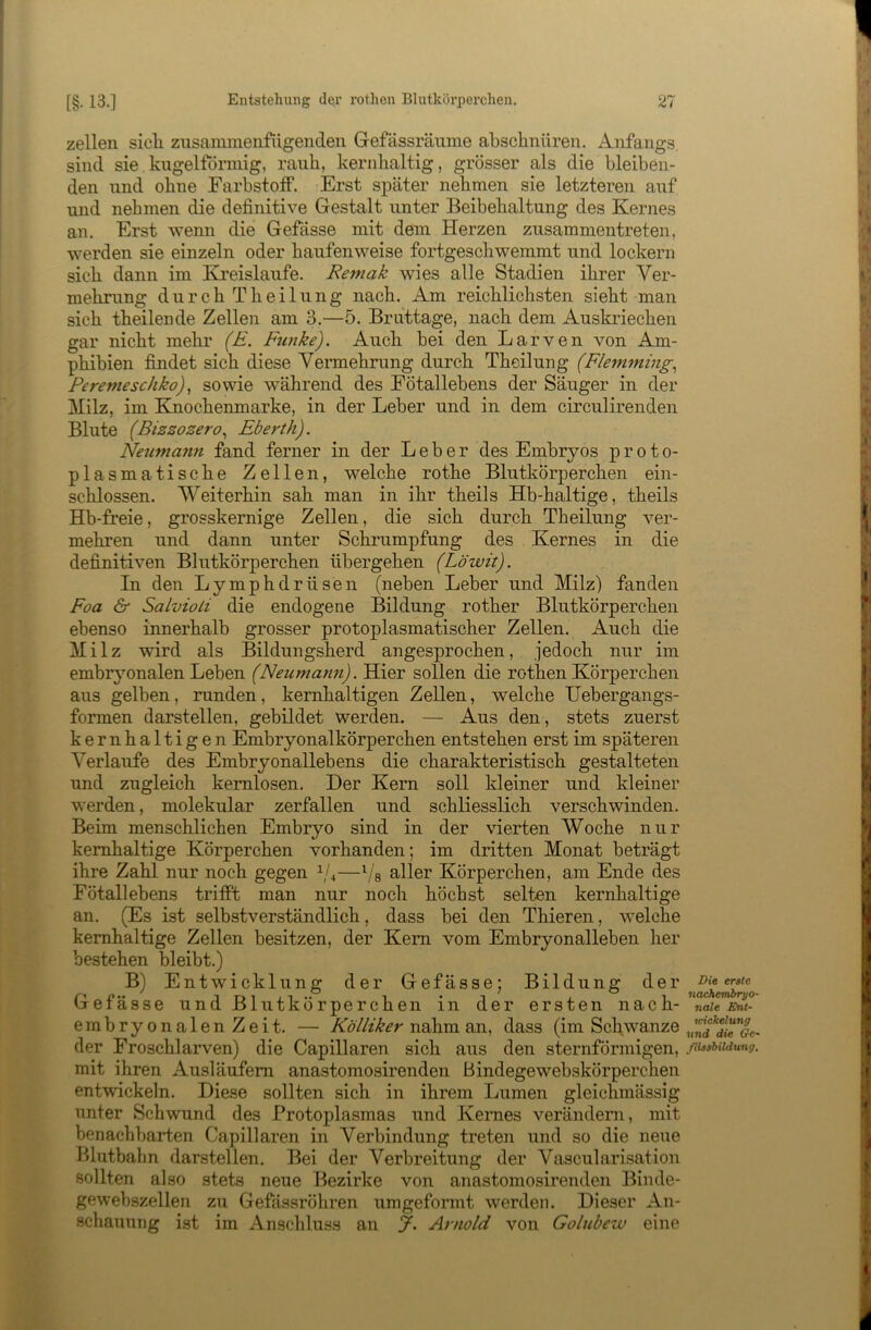 zellen sicli zusammenfiigenden Gefässräume abschnüren. Anfangs sind sie kugelförmig, rauh, kernhaltig, grösser als die bleiben- den und ohne Farbstoff. Erst später nehmen sie letzteren auf und nehmen die definitive Gestalt unter Beibehaltung des Kernes an. Erst wenn die Gefässe mit dem Herzen zusammentreten, werden sie einzeln oder haufenweise fortgeschwemmt und lockern sich dann im Ki’eislaufe. Remak wies alle Stadien ihrer Ver- mehrung durch Theilung nach. Am reichlichsten sieht man sich theilende Zellen am 3.—5. Bruttage, nach dem Auskriechen gar nicht mehr (E. Funke). Auch bei den Larven von Am- phibien findet sich diese Vermehrung durch Theilung (Flemming.^ Peremeschko), sowie während des Fötallebens der Säuger in der Milz, im Knochenmarke, in der Leber und in dem circulirenden Blute (Bizzozero.^ Eberth). Neumann fand ferner in der Leber des Embryos proto- plasmatische Zellen, welche rothe Blutkörperchen ein- schlossen. Weiterhin sah man in ihr theils Hb-haltige, theils Hb-freie, grosskemige Zellen, die sich durch Theilung ver- mehren und dann unter Schrumpfung des Kernes in die definitiven Blutkörperchen übergehen (Löwit). In den Lymphdrüsen (neben Leber und Milz) fanden Foa & Salvioli die endogene Bildung rother Blutkörperchen ebenso innerhalb grosser protoplasmatischer Zellen. Auch die Milz wird als Bildungsherd angesprochen, jedoch nur im embr}mnalen Leben (Neumann). Hier sollen die rothen Körperchen aus gelben, runden, kernhaltigen Zellen, welche Uebergangs- formen darstellen, gebildet werden. — Aus den , stets zuerst kernhaltigen Embryonalkörperchen entstehen erst im späteren Verlaufe des Embryonallebens die charakteristisch gestalteten und zugleich kernlosen. Der Kern soll kleiner und kleiner werden, molekular zerfallen und schliesslich verschwinden. Beim menschlichen Embryo sind in der vierten Woche nur kernhaltige Körperchen vorhanden; im dritten Monat beträgt ihre Zahl nur noch gegen —Vs aller Körperchen, am Ende des Fötallebens trifft man nur noch höchst selten kernhaltige an. (Es ist selbstverständlich, dass bei den Thieren, welche kernhaltige Zellen besitzen, der Kern vom Embryonalleben her bestehen bleibt.) B) Entwicklung der Gefässe; Bildung der Gefässe und Blutkörperchen in der ersten nach- erabryonalenZeit. — Kbäzker nahm, aii, dass (im Schwänze der Froschlarven) die Capillaren sich aus den sternförmigen, mit ihren Ausläufern ana.stomosirenden Bindegewebskörperclien entwickeln. Diese sollten sich in ihrem Lumen gleichmässig unter Schwund des Protoplasmas und Kernes verändern, mit benachbarten Capillaren in Verbindung treten und so die neue Blutbahn darstellen. Bei der Verbreitung der Vascularisation sollten also stets neue Bezirke von anastomosirenden Binde- gewebszellen zu Gefässröhren umgeformt werden. Dieser An- schauung ist im Anschhiss an y. Arnold von Golubew eine Die erste nachembryo- nale Ent- mekelung und die Ge- Missbildung.