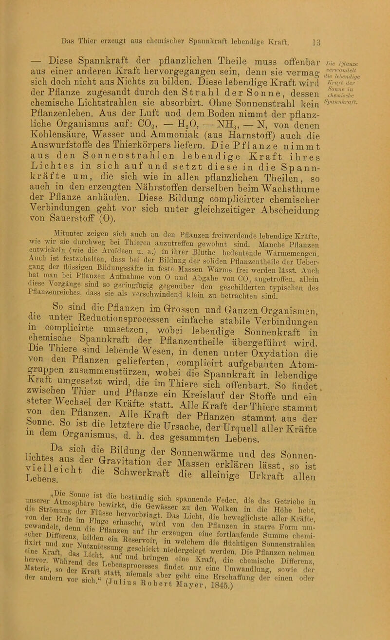 — Diese Spannkraft der pflanzlichen Theile muss olfenbar m, r,tanze aus einer anderen Kraft hervorgegangen sein, denn sie vermag Z'l'n, ■ sich doch nicht aus Nichts zu bilden. Diese lebendige Kraft wird Kräo'ÜT der Pflanze zugesandt durch den Strah 1 der Sonne, dessen cZnLa« chemische Lichtstrahlen sie absorbirt. Ohne Sonnenstrahl kein sPan'-r,lß- Pllanzenleben. Aus der Luft und dem Boden nimmt der pflanz- liche Organismus auf: C02, — H20, — NH3, — N, von denen Kohlensäure, Wasser und Ammoniak (aus Harnstoff) auch die Auswurfstoffe des Thierkörpers liefern. Die Pflanze nimmt aus den Sonnenstrahlen lebendige Kraft ihres Lichtes in sich auf und setzt diese in die Spann- kräfte um, die sich wie in allen pflanzlichen Theilen, so auch in den erzeugten Nährstoffen derselben beim Wachsthume der Pflanze anhäufen. Diese Bildung complicirter chemischer Verbindungen geht vor sich unter gleichzeitiger Abscheidung von Sauerstoff (0). Mitunter zeigen sieb auch an den Pflanzen freiwerdende lebendige Kräfte, wie wir sie durchweg bei Thieren anzutreffen gewohnt sind. Manche Pflanzen entwickeln (wie die Aroideen u. a.) in ihrer Blüthe bedeutende Wärmemengen. Audi ist festzuhalten, dass bei der Bildung der soliden Pflanzentheile der Ueber- gang der flüssigen Bildungssäfte in feste Massen Wärme frei werden lässt. Auch hat man hei Pflanzen Aufnahme von 0 und Abgabe von CO, angetroffen, allein diese \ organge sind so geringfügig gegenüber den geschilderten typischen des Pflanzenreiches, dass sie als verschwindend klein zu betrachten sind. So sind die Pflanzen im Grossen und Ganzen Organismen die unter Reductionsprocessen einfache stabile Verbindungen m comp icirte umsetzen, wobei lebendige Sonnenkraft in c emische Spannkraft der Pflanzentheile übergeführt wird, von T1hier® smd übende Wesen, in denen unter Oxydation die den Pflanzen gelieferten, cornplicirt aufgebauten Atom- ,iuppen Zusammenstürzen, wobei die Spannkraft in lebendige zwfsehr'Tb Tidie im ™ere sich offenbart. So findet stTterhW«Sri™t?iailZe em Kreislauf der Sloffe und ein von d™ Pfl!1 (ler K/aftestatt- Alle Kraft der Tinere stammt Sonne So^t de”i tM‘e *ra?T tler stammt aus der in dem 1 , u V Ursaobe’ t,er Ur1ueU alIe>- Kräfte gamsmus, d. b. des gesammten Lebens. lichtetausiCdprd P Bi‘5U?s d®r Sonuenwärme und des Sonnen- vielleic^rVGrTtl °i d®r M.assen erklären ^sst, so ist Lebens. 16 Sc]lvverkraft c^e alleinige Urkraft allen leerer’Armo^XelSrlft'lS^ T1 ?paUTde Peder’ die das Getriebe i ic Strömung der tui’ 7 . ew,lssci 5511 den Wolken in die Höhe lieh in lieht, clio Strön \ a UbVV1IKt» uie (iewiisser zu von der Erde im PlIlgTeSmlclnrin§t' iDaS Li?lt’ die beweglichste aller Kräfte gewandelt, denn die Pflanzen n !f i*1*4 V°U deU. Pflauzeu iu starre Form um- scher Differenz bil.len eT n.il ? e.raeuSeu eine fortlaufende Summe cliemi- lixirt und zur Nutznicssun«- T'Tw- l )volc,lem die flüchtigen Sonnenstrahlen r b geschickt niedorgelegt werden. Die Pflanzen nelnnei. una zur Nutznio^mio« • T, . Jiuuiugen öonneustranieii eine Kraft, das Licht mf ')C11C;V^ niedergelegt werden. Die Pflanzen nehmen hervor. Während des LebeLT brinsea pino Ki'aft, die cliemiscbe Differenz, Materie, so der Kraft sfntt J.0068868 Andet nur eine Umwandlung, sowie der der andern vor sich “ 7t. . llenP^s aber geht eine Erschaffung der einen oder sicn. (Julius Robert Mayer, 1845.)