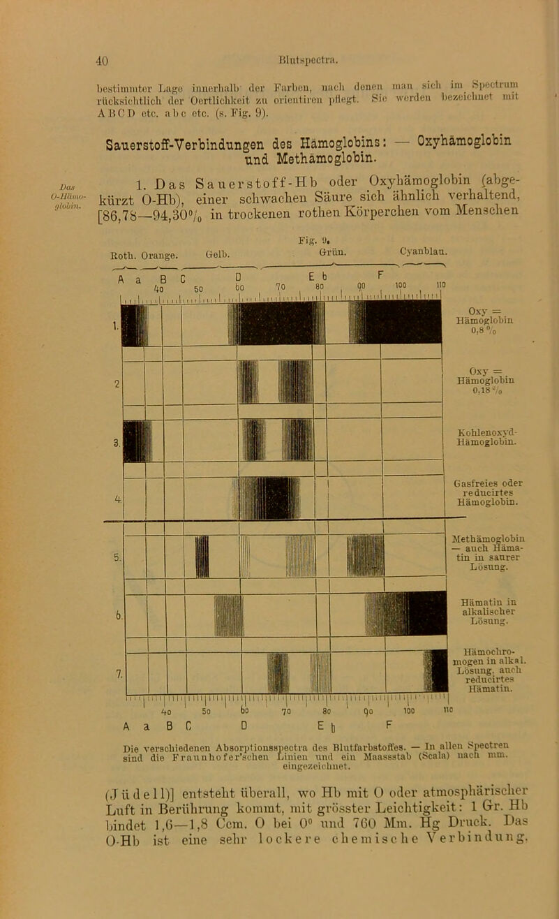 Das 0-Hämo- globin. bestimmter Lage innerhalb der Farben, nach denen man sich im Spectrum rücksiehtlich der Oortliehkeit zu orientiren pflegt. .Sie worden bezeichnet mit A B C D etc. a b c etc. (s. Fig. 9). Sauerstoff-Verbindungen des Hämoglobins: — Oxyhämoglobin und Methämoglobin. 1. Das Sauerstoff-Hb oder Oxyhämoglobin (abge- kürzt O-Hb), einer schwachen Säure sich ähnlich verhaltend, [86,78—94,30% in trockenen rotlien Körperchen vom Menschen Roth. Orange. Gelb. Fig. !). Grün. Cyanblau. Oxy = Hämoglobin 0.8 % Oxy = Hämoglobin 0,18% Kohlenoxyd- Hämoglobin. Gasfreies oder reducirtes Hämoglobin. Methämoglobiu — auch Häma- tin in saurer Lösung. Hämatin in alkalischer Lösung. Hämocliro- mogen in alkai. Lösung, auch reducirtes . Hämatin. 11 u11 m|i 111| 1111 |i i i t|i m jiii ijn i m 111 jii i iji 111|i i•'!i1111 5o bo 70 ' 8o ' qo 1 ioo bo D E b F Die verschiedenen Absorptiousspectra des Blutfarbstoffes. — In allen Spectren sind die Frannliofer'schen Linien und ein Maassstab (Scala) nach mm. eingezeichnet. (Jiidell)] entsteht überall, wo Hb mit 0 oder atmosphärischer Luft in Berührung kommt, mit grösster Leichtigkeit: 1 Gr. Hb bindet 1,6—1,8 Ccm. 0 bei 0° und 760 Mm. Hg Druck. Das O-Hb ist eine sehr lockere chemische Verbindung.