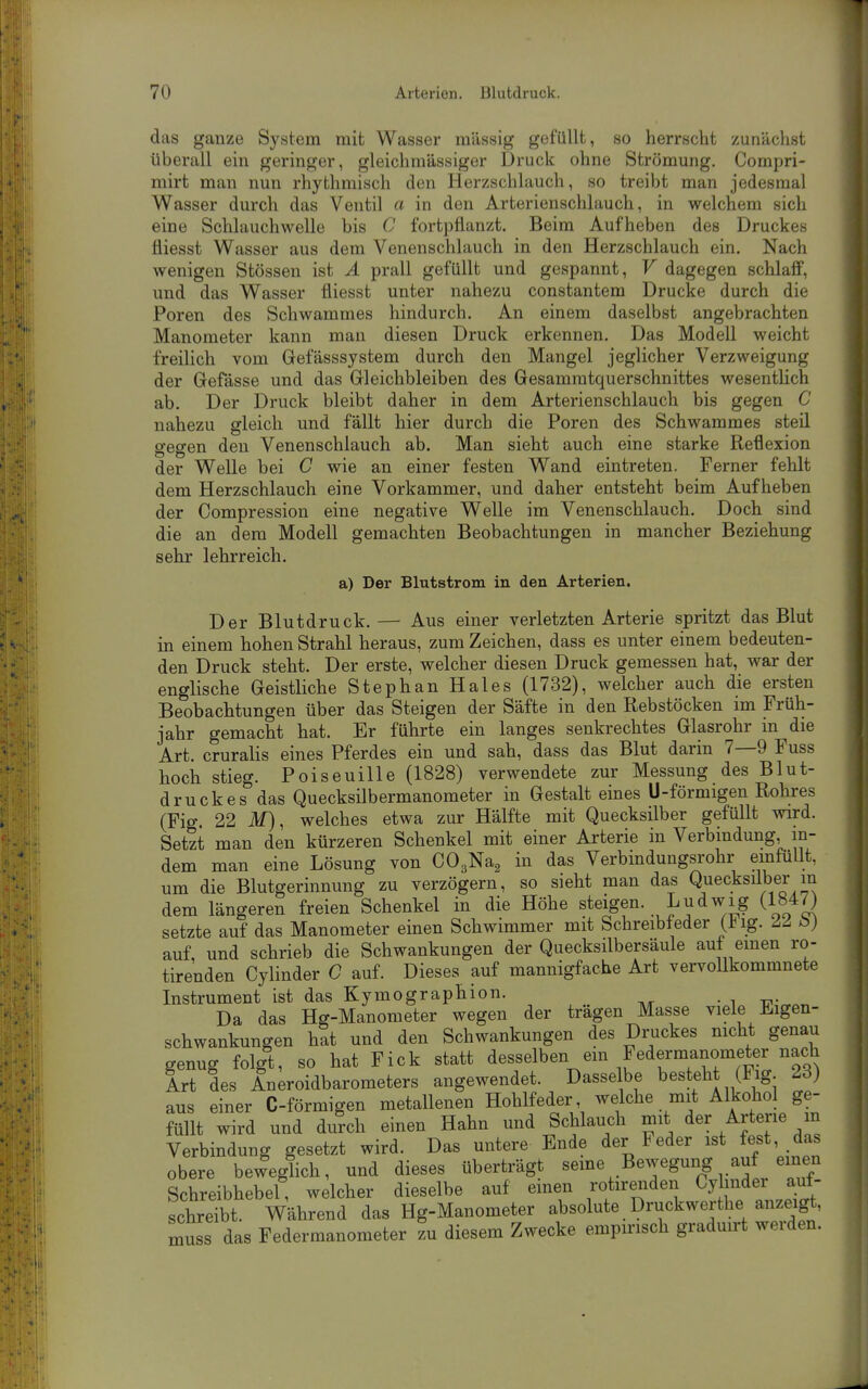 das ganze System mit Wasser mässig gefüllt, so herrscht zunächst überall ein geringer, gleichmässiger Druck ohne Strömung. Compri- mirt man nun rhythmisch den Herzschlauch, so treibt man jedesmal Wasser durch das Ventil a in den Arterienschlaucli, in welchem sich eine Schlauchwelle bis 0 fortpflanzt. Beim Aufheben des Druckes fliesst Wasser aus dem Venenschlauch in den Herzschlauch ein. Nach wenigen Stössen ist Ä prall gefüllt und gespannt, V dagegen schlaff, und das Wasser fliesst unter nahezu constantem Drucke durch die Poren des Schwammes hindurch. An einem daselbst angebrachten Manometer kann man diesen Druck erkennen. Das Modell weicht freilich vom Gefässsystem durch den Mangel jeglicher Verzweigung der Gefässe und das Gleichbleiben des Gesammtquerschnittes wesentlich ab. Der Druck bleibt daher in dem Arterienschlauch bis gegen C nahezu gleich und fällt hier durch die Poren des Schwammes steil gegen den Venenschlauch ab. Man sieht auch eine starke Reflexion der Welle bei C wie an einer festen Wand eintreten. Ferner fehlt dem Herzschlauch eine Vorkammer, und daher entsteht beim Aufheben der Compression eine negative Welle im Venenschlauch. Doch sind die an dem Modell gemachten Beobachtungen in mancher Beziehung sehr lehrreich. a) Der Blutstrom in den Arterien. Der Blutdruck. — Aus einer verletzten Arterie spritzt das Blut in einem hohen Strahl heraus, zum Zeichen, dass es unter einem bedeuten- den Druck steht. Der erste, welcher diesen Druck gemessen hat, war der englische Geistliche Stephan Haies (1732), welcher auch die ersten Beobachtungen über das Steigen der Säfte in den Rebstöcken im Früh- jahr gemacht hat. Er führte ein langes senkrechtes Glasrohr in die Art. cruralis eines Pferdes ein und sah, dass das Blut darin 7—9 Fuss hoch stieg. Poiseuille (1828) verwendete zur Messung des Blut- druckes das Quecksilbermanometer in Gestalt eines U-förmigen Rohres (Fig. 22 M), welches etwa zur Hälfte mit Quecksilber gefüllt wird. Setzt man den kürzeren Schenkel mit einer Arterie in Verbindung, in- dem man eine Lösung von COgNa^ in das Verbindungsrohr einfüllt, um die Blutgerinnung zu verzögern, so sieht man das Quecksilber in dem längeren freien Schenkel in die Höhe steigen. Ludwig (1847) setzte auf das Manometer einen Schwimmer mit Schreibteder (J^ig. b) auf, und schrieb die Schwankungen der Quecksilbersäule auf emen ro- tirenden Cylinder C auf. Dieses auf mannigfache Art vervollkommnete Instrument ist das Kymographion. _ . Da das Hg-Manometer wegen der tragen Masse viele üiigen- schwankungen hat und den Schwankungen des Druckes nicht genau genug folgt, so hat Fick statt desselben em Federmanometer nach Art des Aneroidbarometers angewendet. Dasselbe besteht (Fig. 23) aus einer C-förmigen metallenen Hohlfeder welche mit Alkoho ge- füllt wird und durch einen Hahn und Schlauch mit der Arterie n Verbindung gesetzt wird. Das untere Ende der Feder ist fest das obere beweglich, und dieses überträgt «^^^^,.^^7^^^.^ ^.^f,/^ Schreibhebel, welcher dieselbe auf emen rotirenden Cylinder auf- schreibt. Während das Hg-Manometer absolute Druckwerthe anzeigt, muss das Federmanometer zu diesem Zwecke empirisch graduirt werden.