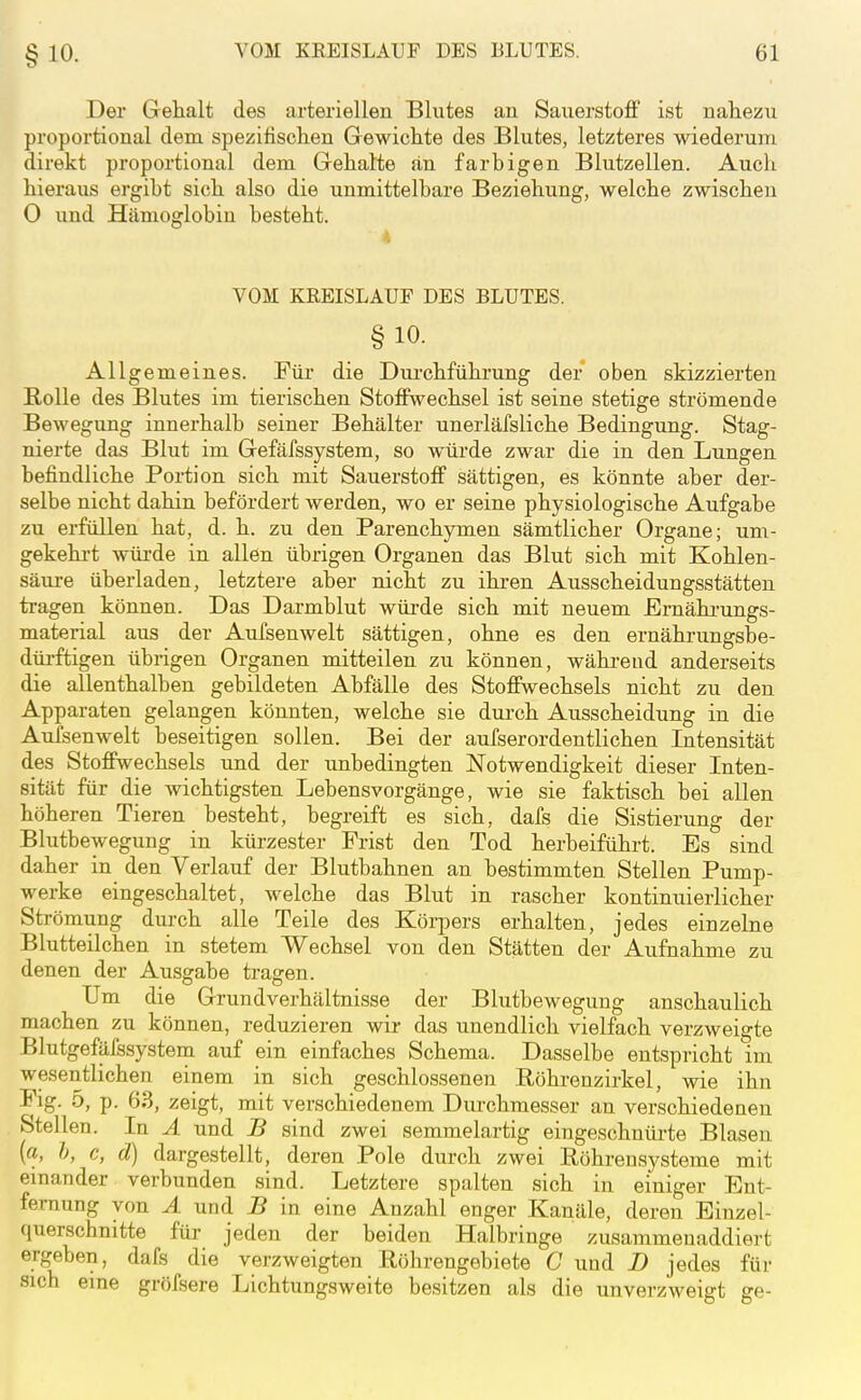 Der Gehalt des arteriellen Blutes an Sauerstoff ist nahezu proportional dem spezifischen Gewichte des Blutes, letzteres wiederum direkt proportional dem Gehatte an farbigen Blutzellen. Auch hieraus ergibt sich also die unmittelbare Beziehung, welche zwischen 0 und Hämoglobin besteht. VOM KREISLAUF DES BLUTES. §10. Allgemeines. Für die Durchführung der oben skizzierten Rolle des Blutes im tierischen Stoffwechsel ist seine stetige strömende Bewegung innerhalb seiner Behälter unerläfsliche Bedingung. Stag- nierte das Blut im Gefäfssystem, so würde zwar die in den Lungen befindliche Portion sich mit Sauerstoff sättigen, es könnte aber der- selbe nicht dahin befördert werden, wo er seine physiologische Aufgabe zu erfüllen hat, d. h. zu den Parenchymen sämtlicher Organe; um- gekehrt würde in allen übrigen Organen das Blut sich mit Kohlen- säui-e überladen, letztere aber nicht zu ihren Ausscheidungsstätten tragen können. Das Darmblut würde sich mit neuem Ernähi-ungs- material aus der Aufsenwelt sättigen, ohne es den ernährungsbe- dürftigen übrigen Organen mitteilen zu können, wähi-ead anderseits die allenthalben gebildeten Abfälle des Stoffwechsels nicht zu den Apparaten gelangen könnten, welche sie durch Ausscheidung in die Aufsenwelt beseitigen sollen. Bei der aufserordentlichen Intensität des Stoffwechsels und der unbedingten Notwendigkeit dieser Inten- sität für die wichtigsten Lebensvorgänge, wie sie faktisch bei allen höheren Tieren besteht, begreift es sich, dafs die Sistierung der Blutbewegung in kürzester Frist den Tod herbeiführt. Es sind daher in den Verlauf der Blutbahnen an bestimmten Stellen Pump- werke eingeschaltet, welche das Blut in rascher kontinuierlicher Strömung durch alle Teile des Körpers erhalten, jedes einzelne Blutteilchen in stetem Wechsel von den Stätten der Aufnahme zu denen der Ausgabe tragen. Um die Grundverhältnisse der Blutbewegung anschaulich machen zu können, reduzieren wir das unendlich vielfach verzweigte Blutgefäfssystem auf ein einfaches Schema. Dasselbe entspricht im wesentlichen einem in sich geschlossenen Röhrensiirkel, wie ihn Fig. 5, p. 63, zeigt, mit verschiedenem Durchmesser an verschiedenen Stellen. In A und B sind zwei semmelartig eingeschnürte Blasen (a, h, c, d) dargestellt, deren Pole durch zwei Röhren Systeme mit einander verbunden sind. Letztere spalten sich in einiger Ent- fernung von A und. B in eine Anzahl enger Kanäle, deren Einzel- querschnitte für jeden der beiden Halbringe zusammenaddiert ergeben, dafs die verzweigten Röhrengebiete C und D jedes für sich eine gröfsere Lichtungsweite besitzen als die unverzweigt ge-