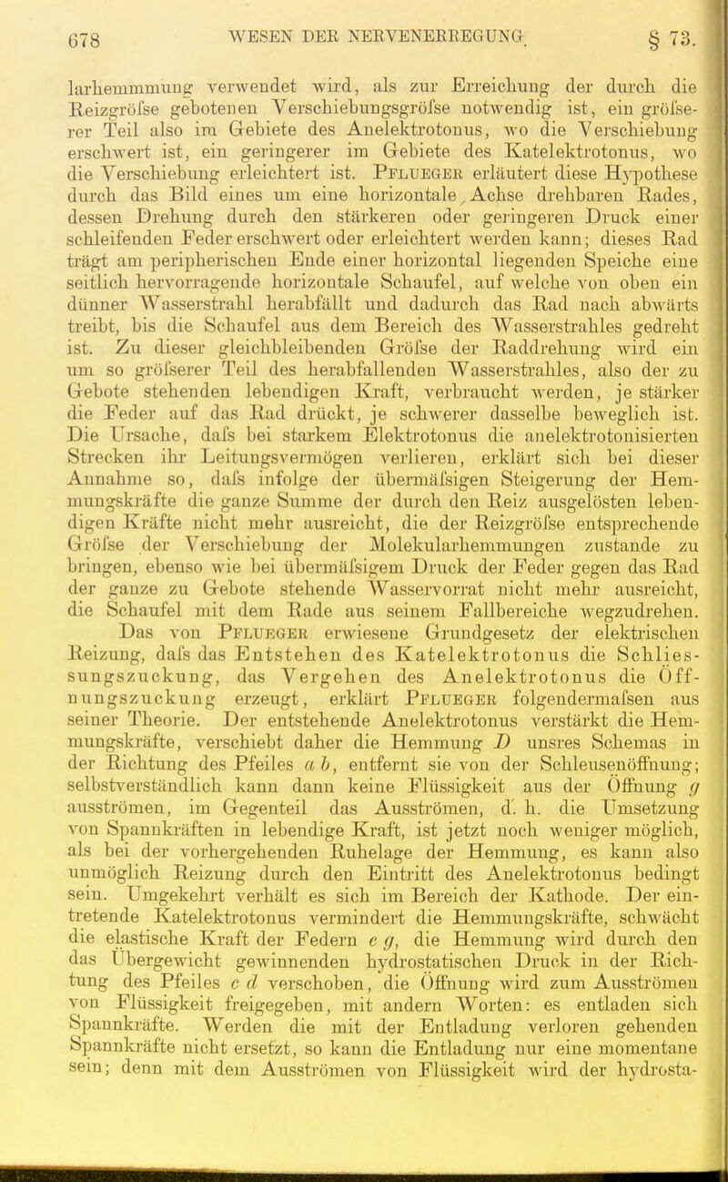 larlaeminmuug verwendet wird, als zur Erreichung der durch, die Reizgröfse gebotenen Verschiebungsgröfse notwendig ist, ein gröfse rer Teil also im Gebiete des Auelektrotonus, wo die Verscbiebuiij^- erschwert ist, ein geringerer im Gebiete des Katelektrotonus, wo die Verschiebung erleichtert ist. Pplueger erläutert diese Hypothese durch das Bild eines um eine horizontale^Achse drehbaren Rades, dessen Drehung durch den stärkeren oder gei'ingeren Druck einer schleifenden Feder erschwert oder erleichtert werden kann; dieses Rad trägt am peripherischen Ende einer horizontal liegenden Speiche eine seitlich hervorragende horizontale Schaufel, auf welche von oben ein dünner Wasserstrahl herabfällt und dadurch das Rad nach abwäi'ts treibt, bis die Schaufel aus dem Bereich des Wasserstrahles gedreht ist. Zu dieser gleichbleibenden Gröfse der Raddrehung wird ein um so gröfserer Teil des herabfallenden Wasserstrahles, also der zu Gebote stehenden lebendigen Ej.'aft, verbraucht werden, je stärker die Feder auf das Rad drückt, je schwerer dasselbe beweglich ist. Die Ursache, dafs bei starkem Elektrotonus die anelektrotonisierteu Strecken ihi* Leitungsvermögen verlieren, erklärt sich bei dieser Annahme so, dafs infolge der übermäfsigen Steigerung der Hem- mungskräfte die ganze Summe der durch den Reiz ausgelösten leben- digen Kräfte nicht mehr ausreicht, die der Reizgröfse entsprechende Gröfse der Verschiebung der Molekularhemmungen zustande zu bringen, ebenso wie bei übermäfsigem Druck der Feder gegen das Rad der ganze zu Gebote stehende Wasservorrat nicht mehr ausreicht, die Schaufel mit dem Rade aus seinem Fallbereiche wegzudrehen. Das von Pflueger erwiesene Grundgesetz der elektrischen Reizung, dafs das Entstehen des Katelektrotonus die Schlies- sungszuckung, das Vergehen des Anelektrotonus die Öff- nungszuckung erzeugt, erklärt Pflueger folgendermafsen aus seiner Theorie. Der entstehende Anelektrotonus verstärkt die Hem- mungskräfte, verschiebt daher die Hemmung D unsres Schemas in der Richtung des Pfeiles ah, entfernt sie von der Schleusenöffuung; selbstverständlich kann dann keine Flüssigkeit aus der Öffnung g ausströmen, im Gegenteil das Ausstx'ömen, d'. h. die Umsetzung von Spannkräften in lebendige Kraft, ist jetzt noch weniger möglich, als bei der vorhergehenden Ruhelage der Hemmung, es kann also unmöglich Reizung durch den Eintritt des Auelektrotonus bedingt sein. Umgekehrt verhält es sich im Bereich der Kathode. Der ein- tretende Katelektrotonus vermindert die Hemmuugskräfte, schwäcbt die elastische Kraft der Federn e g, die Hemmung wird durch den das Ubergewicht gewinnenden hydrostatischen Druck in der Rich- tung des Pfeiles c d verschoben, die Öffnung wird zum Ausströmen von Flüssigkeit freigegeben, mit andern Worten: es entladen sich Spannki'äfte. Werden die mit der Entladung verloren gehenden Spannkräfte nicht ersetzt, so kann die Entladung nur eine momentane sein; denn mit dem Ausströmen von Flüssigkeit wird der hydrosta-