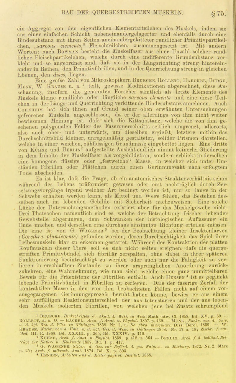 ein Aggregat von eleu eigentlichen Elementarteilchen des Muskels, indem sie aus einer einfachen Schicht nebeneinandergelagerter und ebenfalls durch eine Bindesubstauz mit ihren Seiten aneinandergekitteter rundlicher Primitivpartikel- chen, „sarcous elemeiits, Fleischteilchen, zusammengesetzt ist. Mit andern Worten: nach Bowmax besteht die Muskelfaser aus einer Unzahl solcher rund- licher Fleischpartikelchen, welche durch eine indifferente Grundsubstanz ver- klebt und so angeordnet sind, dafs sie in der Längsrichtung streng hiiaterein- ander in Reihen, den Primitivfibrillen, und in der Querrichtung streng in gleichen Ebenen, den discs, liegen. Eine grofse Zahl von Mikroskopikern Brüecke, Rollett, Haeckel, Bubge, MuxK, W. Krause u. a. ' teilt, gewisse Modifikationen abgerechnet, diese An- schauung, insofern die genannten Forscher sämtlich als letzte Elemente des Muskels kleine rundliche oder längliche sarcous elements und eine diese Teil- chen in der Längs- und Querrichtung verkittende Bindesubstanz annehmen. Auch ConxHEiM hat sich ihnen auf Grund seiner oben erwähnten Untersuchungen gefrorener Muskeln angeschlossen, da er der allerdings von ihm nicht weiter bewiesenen Meinung ist, dafs sich die Kittsubstanz, welche die von ihm ge- sehenen polygonalen Felder des Faserquerschnitts seitlich umgrenzt, allerorts, also auch ober- und unterwärts, um dieselben ergiefst, letztere mithin das Durchschnittsbild kleiner, unregelmäfsig gestalteter, solider Prismen darstellen, welche in einer weichen, zähflüssigen Grundmasse eingebettet liegen. Eine dritte von Kühne und Berlin- aufgestellte Ansicht endlich nimmt keinerlei Gliederung in dem Inhalte der Muskelfaser als vorgebildet an, sondern erblickt in derselben eine homogene flüssige oder „festweiche Masse, in welcher sich unter Um- ständen Fibrillen oder Plättchen durch einen Gerinnungsakt nach erfolgtem Tode abscheiden. Es ist klar, dafs die Frage, ob ein anatomisches Strukturverhältnis schon während des Lebens präformiert gewesen oder erst nachträglich durch Zer- setzungsvorgänge irgend welcher Art bedingt worden ist, nur so lange in der Schwebe erhalten werden kann, als Mittel und Wege fehlen, das Bestehen des- selben auch im lebenden Gebilde mit Sicherheit nachzuweisen. Eine solche Lücke der Untersuchungsmethoden existiert aber für das Muskelgewebe nicht. Drei Thatsachen namentlich sind es, welche der Betrachtung frischer lebender Gewebsteile abgerungen, dem Schwanken der histologischen Auffassung ein Ende machen und derselben eine durchaus einsinnige Richtung erteilen müssen. Die eine ist von G. Wagener ^ bei der Beobachtung kleiner Insektenlarven (Corethra plamicornis) gefunden worden, deren Durchsichtigkeit das Spiel ihrer Leibesmuskeln klar zu erkennen gestattet. Während der Kontraktion der platten Kopfmuskeln dieser Tiere soll es sich nicht selten ereignen, dafs die querge- streiften Primitivbündel sich fibrillär zerspalten, ohne dabei in ihrer späteren Funktionierung beeinträchtigt zu werden oder auch nur die Fähigkeit zu ver- heren in erschlaö'tem Zustande zu ihrer ursprünglichen Anoi'duung zurück- zukehren, eine Wahrnehmung, wie man sieht, welche einen ganz unmittelbaren Beweis für die Präexistenz der Fibrillen enthält. Auch Hensen * ist es geglückt lebende Primitivbündel in Fibrillen zu zerlegen. Dafs der faserige Zerfall der kontraktilen Masse in den von ihm beobachteten Fällen nicht auf einem vor- ausgegangenen Gerinnungsprozefs beruht haben könne, bewies er aus einem sehr auffalligen Reaktionsunterschied der aus totenstarren und der aus leben- den Muskeln isolierten Fibrillen, von welchen jene bei Zusatz schrumpfend » BrUECKK, Denkschriften d. Akad. d. Wisx. zu Wien. Mntli.-ntw. Cl. 185S. Bd. XV. p. 69. — ROLI.ETT, a. a. O. — HÄCKEL, Arch. /. Anat. u. Physiol. 1857. p. 469. — MUNK, Nachr. von d. Univ. II. d. kgl. Ges. d. Wiss. zu Göttingen. 185S. Nr. 1, u. De ßhra musculiiri. Dis.s. Berol. 1859. — \V. KRAUSE, Nachr. von d. Univ. u. d. kt/l. Ges. d. Wi.is. zu Göttingen 18-')8. Nr. 17 n. 18; Ztschr. f. rat. Med. III. R. 1868. Bd. XXXIII. p. 265, Bd. XXXIV. p. 110. ä KÜHNE, Arch. f. Anat. u. Physiol. 1859. p. 418 u. 564. — BERLIN, Arch. f. d. holländ. Bei- träge zur Natur- u. Heilkunde 1857. Bd. I. p. 417. ' G. WAGENER, Stzber. d. Ges. zur Be/örd. d. ges. Naturw. zu .Marburg. 1S72. Nr. 2. Mftrz p. 25; Arch. f. 7nikrn.sk. Anal. 1874. Bd. X. p. 303. IIENSEN, Arbeiten aus d. Kieler phijsiol. Tnstitut. 1808.