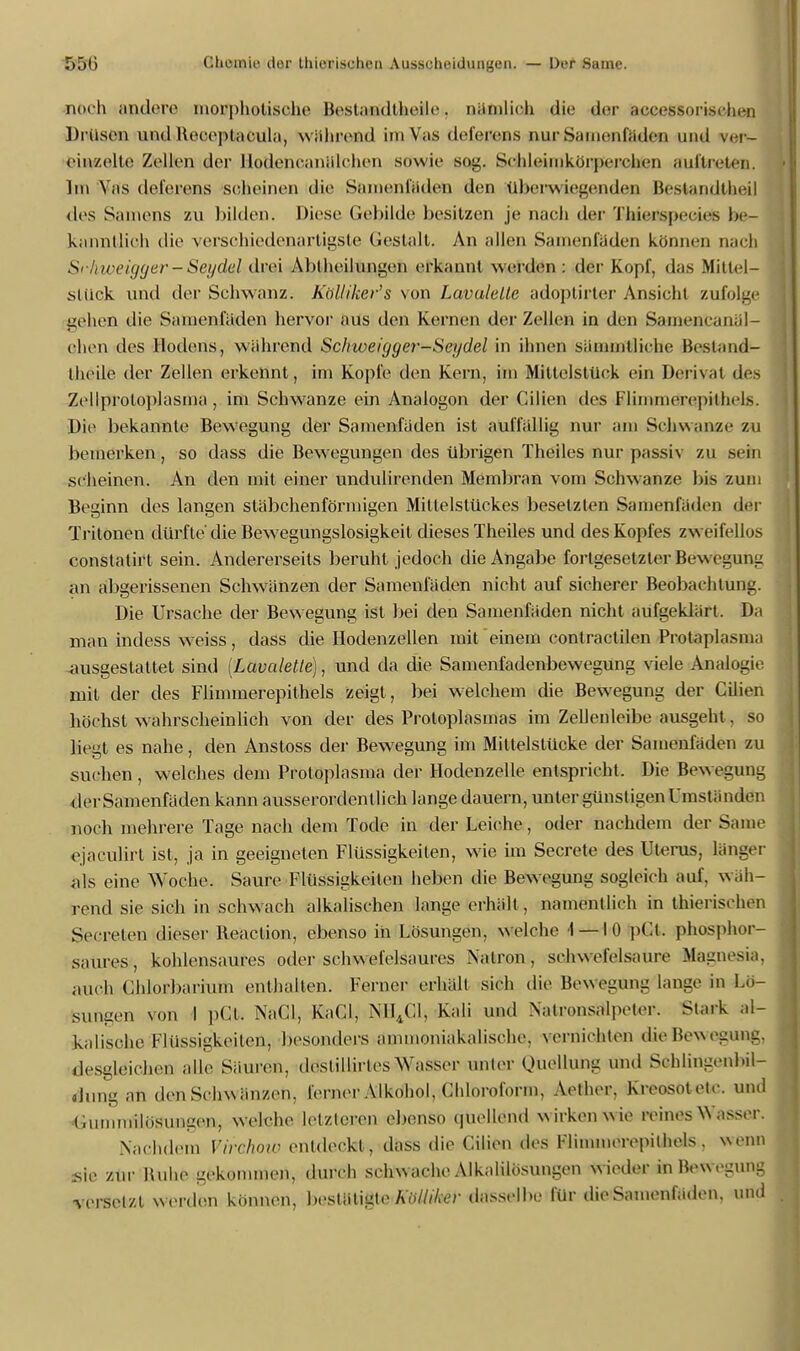 nach andere mo^phoUsohe Bestaaidtheilei, aätalioh die der accessorisehen Dnttsejo und Keceptacula, während im Vas dclcicns nur Samenfäden und ver- eitelte Zellen der llodcncanälchen sowie sog. Schleiinkörpeivhen auftreten. Im VffS defcrcns scheinen die Samenfaden den überwiegenden Bestandteil des Samens zu bilden. Diese Gebilde besitzen je naeh der T-hienspeeiefi be- kanntlich die verschiedenartigste Gestalt. An allen Samenfäden können nach Srhiceiijtjer-Seydel drei Abiheilungen erkannl werden: der Kopf, das Mittel- Stück und der Schwanz. Kölliker's von Lavulelle adoptirter Ansicht zufolge gehen die Samenfaden hervor aus den Kernen der Zellen in den Samencanäl- ehen des Hodens, während Schweigger-Seydel in ihnen sämmUiche Bestand- Iheile der Zellen erkennt, im Kopfe den Kern, im Mittelstück ein Derivat des Zellproloplasma, im Schwänze ein Analogon der Cilien des Flimmerepithels. Die bekannte Bewegung der Samenfaden ist auffällig nur am Schwänze zu bemerken, so dass die Bewegungen des übrigen Theiles nur passiv zu sein scheinen. An den mit einer undulirenden Membran vom Schwänze bis zum Beginn des langen stäbchenförmigen Mitlelstückes besetzten Samenfäden der Tritonen dürfte'die Bewegungslosigkeit dieses Theiles und des Kopfes zweifellos constalirt sein. Andererseits beruht jedoch die Angabe fortgesetzter Bew egung an aligerissenen Schwänzen der Samenfäden nicht auf sicherer Beobachtung. Die Ursache der Bewegung ist bei den Samenfäden nicht aufgeklärt. Da mau indess weiss, dass die Hodenzellen mit einem contractilen Protaplasma ausgestattet sind (Lavaletle), und da die Samenfadenbewegung viele Analogie mit der des Fliminerepithels zeigt, bei welchem die Bewegung der Cilien höchst wahrscheinlich von der des Protoplasmas im ZelJenleibe ausgeht, so liegt es nahe, den Anstoss der Bewegung im Mittelstücke der Samenfäden zu suchen , welches dem Protoplasma der Hodenzelle entspricht. Die Bewegung der Samenfäden kann ausserordentlich lange dauern, unter günstigen Umstünden noch mehrere Tage nach dem Tode in der Leiche, oder nachdem der Same ejaeulirt ist, ja in geeigneten Flüssigkeiten, wie im Secrete des Uterus, länger als eine Woche. Saure Flüssigkeiten heben die Bewegung sogleich auf. wäh- rend sie sich in schwach alkalischen lange erhält , namentlich in thierisehen Secreten dieser Reaelion, ebenso in Lösungen, welche 1 — 10 pCt. phosphor- saures, kohlensaures oder schwefelsaures Natron, schwefelsaure Magnesia, auch Chlorbarium enthalten. Ferner erhält sich die Bewegtog lange in Lö- sungen von I pCt. NaCl, KaCI, NH4G1> Kali und Natronsalpeter. Stark al- kalische Flüssigkeilen, besonders ammoniakalische. vernichten die Bewegung, desgleichen alle Säuren, destillirles Wasser unter Quellung und Schlingenbil- dung an den Schwänzen, ferner Alkohol, Chloroform, Aether, Krcosotetc. und (.iimmilosungen, welche letzteren ebenso quellend wirken wie Peines Wasser. Nachdem Virchow entdeckt, dass die Cilien des Fliminerepithels. wenn sie zur Buhe gekommen, durch schwache Alkalilösungen w ieder in Bewegung versetzt wenden können, bestätigte Külliker dasselbe für die Samenfäden, und