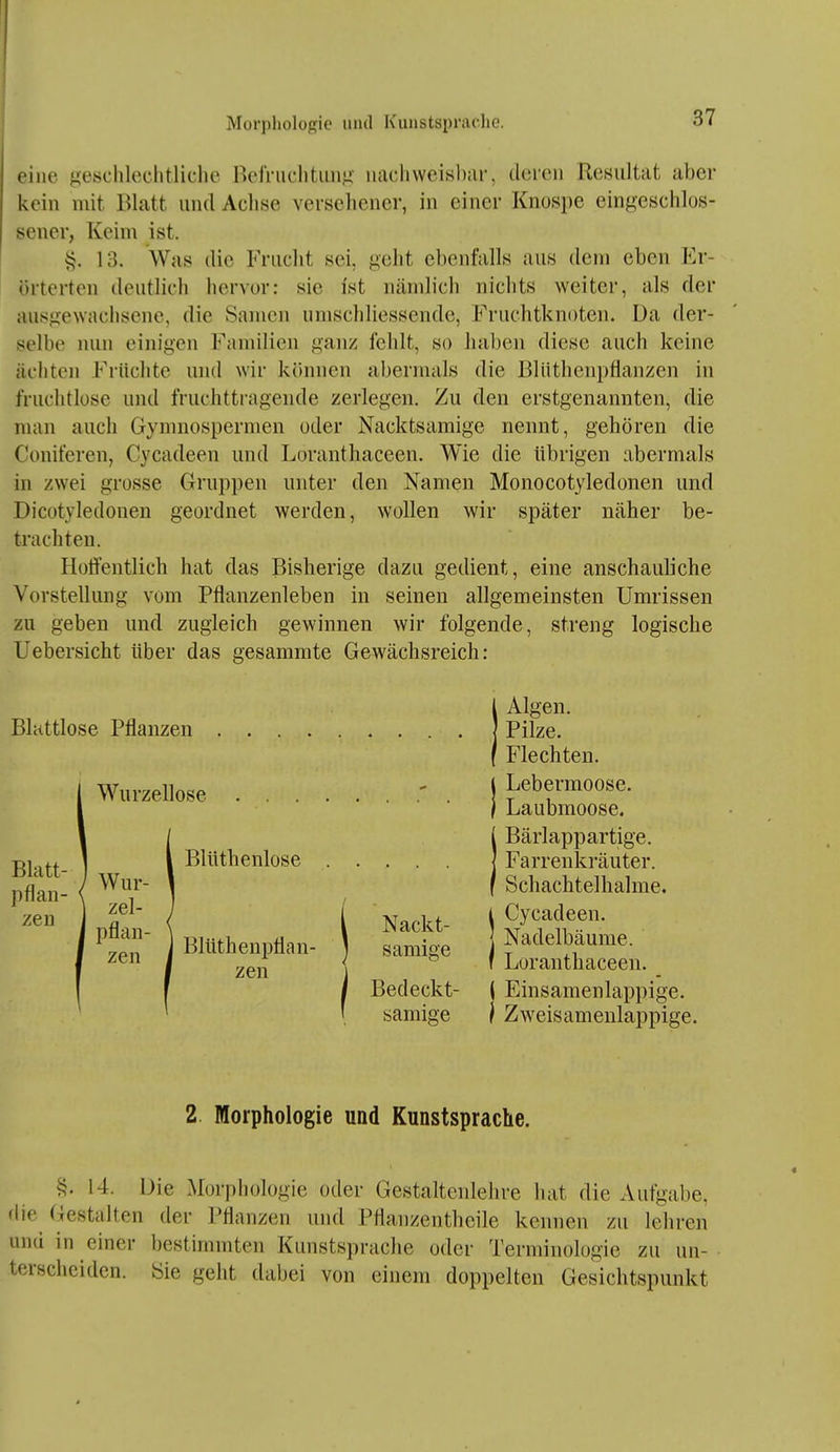 eine geschlechtliche ßolriichtmig uachweishar, deren ReHiiltat aber kein mit Blatt und Achse versehener, in einer Knospe eingeschlos- sener, Keim ist. i?. 13. Was die Frucht sei, geht ebenfalls aus dem eben Er- örterten deutlich hervor: sie ist nämlich nichts weiter, als der ausgewachsene, die Samen umschliessende, Fruchtknoten. Da der- selbe nun einigen Familien ganz fehlt, so haben diese auch keine ächten Früchte und wir können abermals die Bliithenpfianzen in fruchtlose und fruchttragende zerlegen. Zu den erstgenannten, die man auch Gymnospermen oder Nacktsamige nennt, gehören die Coniferen, Cycadeen und Loranthaceen. Wie die übrigen abermals in zwei grosse Gruppen unter den Namen Monocotyledonen und Dicotyledonen geordnet werden, wollen wir später näher be- trachten. Hoflentlich hat das Bisherige dazu gedient, eine anschauliche Vorstellung vom Pflanzenleben in seinen allgemeinsten Umrissen zu geben und zugleich gewinnen wir folgende, streng logische Uebersicht über das gesammte Gewächsreich: Blattlose Pflanzen Wurzellose Blatt- pflan- zen Wur- zel- pflan- zen Blüthenlose Bitith enpflan- zen Nackt- samige Bedeckt- sämige Algen. Pilze. Flechten. Lebermoose. Laubmoose. Bärlappartige. Farrenkräiiter. Schachtelhalme. Cycadeen. Nadelbäume. Loranthaceen. ( Einsamenlappige. } Zweisamenlappige. 2 Morphologie und Kunstsprache. §. 14. Die Morphologie oder Gestaltenlelire hat die Autgabe, flie Gestalten der Pflanzen und Pflanzentheile kennen zu lehren und in einer bestimmten Kunstsprache oder Terminologie zu un- terscheiden. Sie geht dabei von einem doppelten Gesichtspunkt