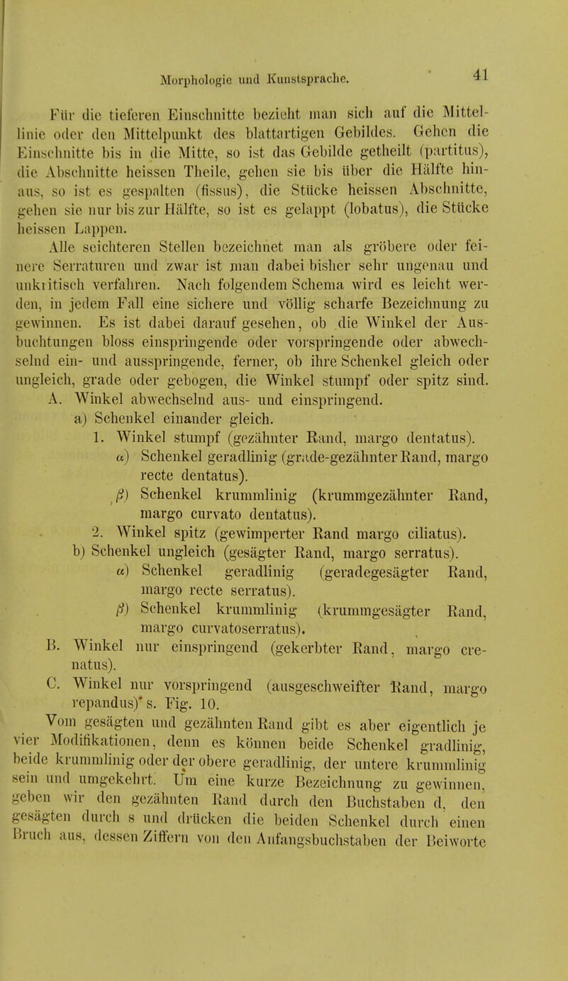 Für die tielci-en Einschnitte bezieht man sicli auf die Mittel- linie oder den Mittelpunkt des blattartigen Gebildes. Gehen die Einschnitte bis in die Mitte, so ist das Gebilde getheilt (partitus), die xVbsdmitte heissen Theile, gehen sie bis Uber die Hälfte hin- aus, so ist es gespalten (fissus), die Stücke heissen Abschnitte, gehen sie nur bis zur Hälfte, so ist es gelappt (lobatus), die Stücke heissen Lappen. Alle seichteren Stellen bezeichnet man als gröbere oder fei- nere Serraturen und zwar ist man dabei bisher sehr ungenau und unkritisch verfahren. Nach folgendem Schema wird es leicht wer- den, in jedem Fall eine sichere und völlig scharfe Bezeichnung zu gewinnen. Es ist dabei daraufgesehen, ob die Winkel der Aus- buchtungen bloss einspringende oder vorspringende oder abwech- selnd ein- und ausspringende, ferner, ob ihre Schenkel gleich oder ungleich, grade oder gebogen, die Winkel stumpf oder spitz sind. A. Winkel abwechselnd aus- und einspringend. a) Schenkel einander gleich. 1. Winkel stumpf (gezähnter Rand, margo dentatus). tt) Schenkel geradlinig (grade-gezähnterEand, margo recte dentatus). ß) Schenkel krummlinig (krumnigezähnter Rand, margo curvato dentatus). 2. Winkel spitz (gewimperter Rand margo ciliatus). b) Schenkel ungleich (gesägter Rand, margo serratus). «) Schenkel geradlinig (geradegesägter Rand, margo recte serratus). ß) Schenkel krummlinig (krummgesägter Rand, margo curvatoserratus). B. Winkel nur einspringend (gekerbter Rand, margo cre- natus). C. Winkel nur vorspringend (ausgeschweifter Rand, margo repandus)'s. Fig. 10. Vom gesägten und gezähnten Rand gibt es aber eigentlich je vier Modifikationen, denn es können beide Schenkel gradlinig, beide krummlinig oder der obere geradlinig, der untere krummlinig sein und umgekehrt. Um eine kurze Bezeichnung zu gewinnen, geben wir den gezähnten Rand durch den Buchstaben d, den gesägten durch s und drücken die beiden Schenkel durch einen P>ruch aus, dessen Ziffern von den Anfangsbuchstaben der Beiworte