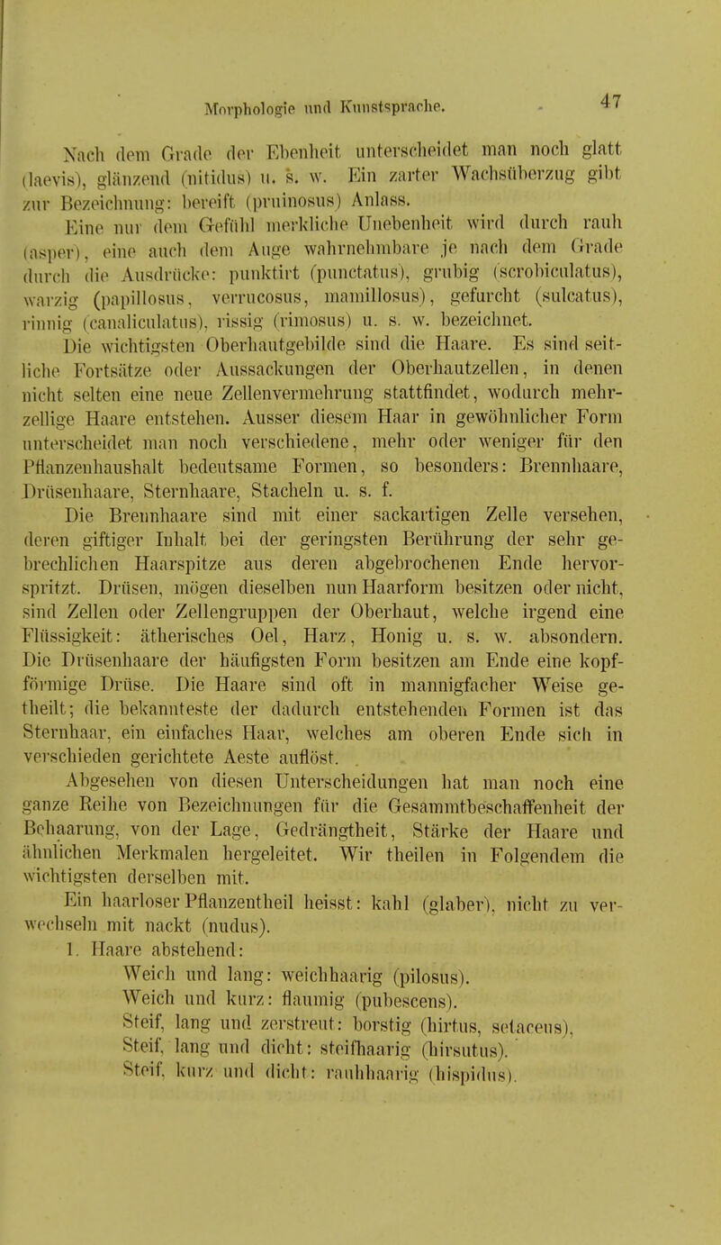 Nach dem Grade der Ebenheit untersdieidet man noch glatt (laovis), glänzend (nitidus) u. s. w. Ein zarter Wachsüberzug gibt 7A\Y Bezeichnung: bereift (pruinosus) Anlass. Eine nur dem Gefühl merkliche Unebenheit wird durch rauh (nsper), eine auch dem Auge wahrnehmbare je nach dem Grade durch die Ausdrücke: punktirt (punctatus), grubig (scrobiculatus), warzig (papillosus, verrucosus, mamillosus), gefurcht (sulcatus), rinnig (caualiculatus), rissig (rimosus) u. s. w. bezeichnet. Die wichtigsten Oberhautgebilde sind die Haare. Es sind seit- liclie Fortsätze oder Aussackungen der Oberhautzellen, in denen nicht selten eine neue Zellenvermehrung stattfindet, wodurch mehr- zellige Haare entstehen. Ausser diesem Haar in gewöhnlicher Form unterscheidet man noch verschiedene, mehr oder weniger für den Pflanzenhaushalt bedeutsame Formen, so besonders: Brennhaare, Drüsenhaare, Sternhaare, Stacheln u. s. f. Die Brennhaare sind mit einer sackartigen Zelle versehen, deren giftiger Inhalt bei der geringsten Berührung der sehr ge- brechlichen Haarspitze aus deren abgebrochenen Ende hervor- spritzt. Drüsen, mögen dieselben nun Haarform besitzen oder nicht, sind Zellen oder Zellengruppen der Oberhaut, welche irgend eine Flüssigkeit: ätherisches Oel, Harz, Honig u. s. w. absondern. Die Drüsenhaare der häufigsten F^orm besitzen am Ende eine kopf- förmige Drüse. Die Haare sind oft in mannigfacher Weise ge- theilt; die bekannteste der dadurch entstehenden Formen ist das Sternhaar, ein einfaches Haar, welches am oberen Ende sich in verschieden gerichtete Aeste auflöst. Abgesehen von diesen Unterscheidungen hat man noch eine ganze Reihe von Bezeichnungen für die Gesammtbeschaflfenheit der Behaarung, von der Lage, Gedrängtheit, Stärke der Haare und ähnlichen Merkmalen hergeleitet. Wir theilen in Folgendem die wichtigsten derselben mit. Ein haarloser Pflanzentheil heisst: kahl (glaber), nicht zu ver- wechseln mit nackt (nudus). 1. Haare abstehend: Weich und lang: weichhaarig (pilosus). Weich und kurz: flaumig (pubescens). Steif, lang und zerstreut: borstig (hirtus, setaceus), Steif, lang und dicht: steifhaarig (hirsutus). Steif, kurz und dicht: rauhhaaiig (hispidus).