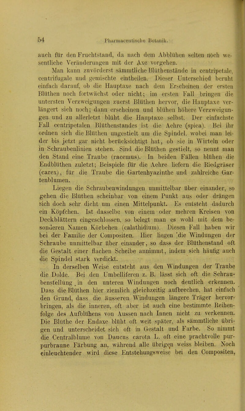 auch für den Fruchtstand, da nach dem x\bbliihen selten noch wp,- senthche Veränderungen mit der Axe vorgehen. Man kann zuvörderst sämmtliche Blüthenstände in centripetale, centrifugale und gemischte eintheiien. Dieser Unterschied beruht einfach darauf, ob die Hauptaxe nach dem Erscheinen der ersten Blüthen noch fartwächst oder nicht; im ersten Fall bringen die untersten Verzweigungen zuerst Blüthen hervor, die Hauptaxe ver- hungert sich noch; dann erscheinen und blühen höhere Verzweigun- gen und zu allerletzt blüht die Hauptaxe selbst. Der einfachste Fall centripetalen Blüthenstandes ist die Aehre (spica). Bei ihr ordnen sich die Blüthen ungestielt um die Spindel, wobei man lei- der bis jetzt gar nicht berücksichtigt hat, ob sie in Wirtein oder in Schraubenlinien stehen. Sind die Blüthen gestielt, so nennt man den Stand eine Traube (racemus). In beiden Fällen blühen die Endblüthen zuletzt; Beispiele für die Aehre hefern die Riedgräser (carex), für die Traube die Gartenhyazinthe und zahlreiche Gar- tenblumen. Liegen die Schraubenwindungen unmittelbar über einander, so gehen die Blüthen scheinbar von einem Punkt aus oder drängen sich doch sehr dicht um einen Mittelpunkt. Es entsteht dadurch ein Köpfchen. Ist dasselbe von einem oder mehren Kreisen von Deckblättern eingeschlossen, so belegt man es wohl mit dem be- sonderen Namen Körbchen (calathidium). Diesen Fall haben wir bei der Familie der Compositen. Hier hegen 'die Windungen der Schraube unmittelbar über einander, so dass der Blüthenstand oft die Gestalt einer flachen Scheibe annimmt, indem sich häutig auch die Spindel stark verdickt. In derselben Weise entsteht aus den Windungen der Traube die Dolde. Bei den Umbelliferen z. B. lässt sich oft die Schrau- benstelluug. in den unteren Windungen noch deutlich erkennen. Dass die Blüthen hier ziemlich gleichzeitig aufbrechen, hat einfach den Grund, dass die äusseren Windungen längere Träger hervor- bringen, als die inneren, oft aber ist auch eine bestimmte Reihen- folge des Aufblühens von Aussen nach Innen nicht zu verkennen. Die Blüthe der Endaxe blüht oft weit später, als sämmtliche übri- gen und unterscheidet sich oft in Gestalt und Farbe. So nimmt die Centralblunie von Daucus carota L. oft eine prachtvolle pui-- purbraune Färbung an, während alle übrigen weiss bleiben. Noch einleuchtender wird diese p]ntstehungsweise bei den Compositen,