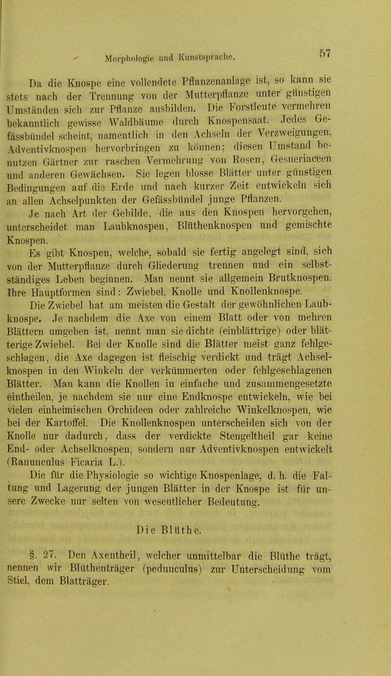 Da die Knospe eine vollendete Pflanzenanlage ist, so kann sie stets nach der Trennung von der Mutterpflanze unter günstigen Umstcänden sich zur Pflanze ausbilden. Die Forstleute vermehren bekanntlich gewisse VValdbäume durch Knospensaat. Jedes Ge- fässbüiulel scheint, namentlich in den Achseln der Verzweigungen, Adventivknospen hervorbringen zu können; diesen Umstand be- nutzen Gärtner zur raschen Vermehrung von Rosen, Gesneriaceen und anderen Gewächsen. Sie legen blosse Blätter unter günstigen Bedingungen auf die Erde und nach kurzer Zeit entwickeln sich an allen Achselpunkten der Gefässbündel junge Pflanzen. Je nach Art der Gebilde, die aus den Knospen hervorgehen, unterscheidet man Laubknospen, Blüthenknospen und gemischte Knospen. Es gibt Knospen, welche, sobald sie fertig angelegt sind, sich von der Mutterpflanze durch Gliederung trennen und ein selbst- ständiges Leben beginnen. Man nennt sie allgemein Brutknospen. Ihre Hauptformen sind: Zwiebel, Knolle und Knollenknospe. Die Zwiebel hat am meisten die Gestalt der gewöhnlichen Laub- knospe. Je nachdem die Axe von einem Blatt oder von mehren Blättern umgeben ist, nennt man sie dichte (einblättrige) oder blät- terige Zwiebel. Bei der Knolle sind die Blätter meist ganz fehlge- schlagen, die Axe dagegen ist fleischig verdickt und trägt Achsel- knospen in den Winkeln der verkümmerten oder fehlgeschlagenen Blätter. Man kann die Knollen in einfache und zusammengesetzte eintheilen, je nachdem sie nur eine Endknospe entwickeln, wie bei vielen einheimischen Orchideen oder zahlreiche Winkelknospen, wie bei der Kartoffel. Die Knollenknospen unterscheiden sich von der Knolle nur dadurch, dass der verdickte Stengeltheil gar keine End- oder Achselknospen, sondern nur Adventivknospen entwickelt (Ranunculus Ficaria L.). Die für die Physiologie so wichtige Knospenlage, d. h. die Fal- tung und Lagerung der jungen Blätter in der Knospe ist für un- sere Zwecke nur selten von wesentlicher Bedeutung. Die Blüthe. §. 27. Den Axentheil, welcher unmittelbar die Blüthe trägt, nennen wir Blüthenträger fpedunculus) zur Unterscheidung vom Stiel, dem Blatträger. 1