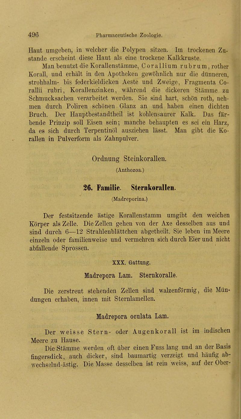 Haut umgeben, in welcher die Polypen sitzen. Im trockenen Zu- stande erscheint diese Haut als eine trockene Kalkkruste. Man benutzt die Korallenstämme, Corallium rubrum, rother Korall, und erhält in den Apotheken gewöhnUch nur die dünneren, Strohhalm- bis federkieldicken Aeste und Zweige, Fragmenta Co- rallii rubri, Korallenzinken, während die dickeren Stämme zu Schmucksachen verarbeitet werden. Sie sind hart, schön roth, neh- men durch Poliren schönen Glanz an und haben einen dichten Bruch. Der Hauptbestandtheil ist kohlensaurer Kalk. Das fär- bende Prinzip soll Eisen sein; manche behaupten es sei ein Harz, da es sich durch Terpentinöl ausziehen lässt. Man gibt die Ko- rallen in Pulverform als Zahnpulver. Ordnung Steinkorallen. (Anthozoa.) 26. Familie. Steriikoralleii. (Madreporina.) Der festsitzende ästige Korallenstamm umgibt den weichen Körper als Zelle. Die Zellen gehen von der Axe desselben aus und sind durch 6—12 Strahlenblättchen abgetheilt. Sie leben im Meere einzeln oder familienweise und vermehren sich durch Eier und nicht abfallende Sprossen. XXX. Gattung. Madrepora Lam. Sternkoralle. Die zerstreut stehenden Zellen sind walzenförmig, die Mün- dungen erhaben, innen mit Sternlamellen, Madrepora oculata Lam. Der weisse Stern- oder Augenkorall ist im indischen Meere zu Hause. Die Stämme werden oft über einen Fuss lang und an der Basis fingersdick, auch dicker, sind baumartig verzeigt und häufig ab- wechselnd-ästig. Die Masse desselben ist rein weiss, auf der Ober-