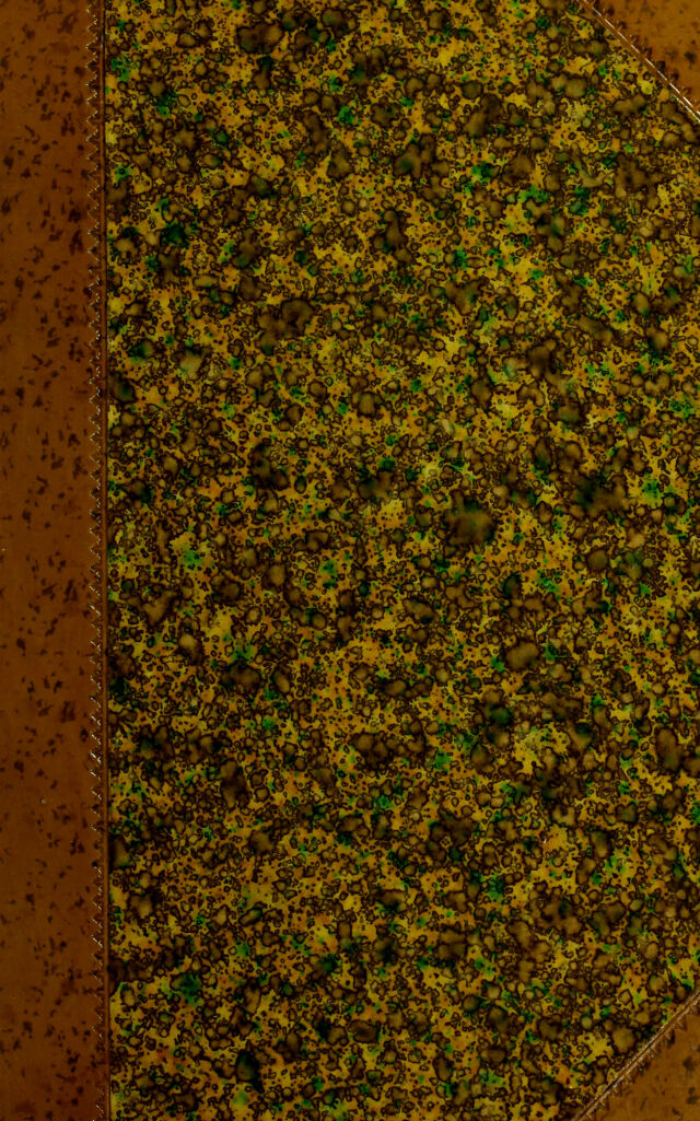 digitised image 1
