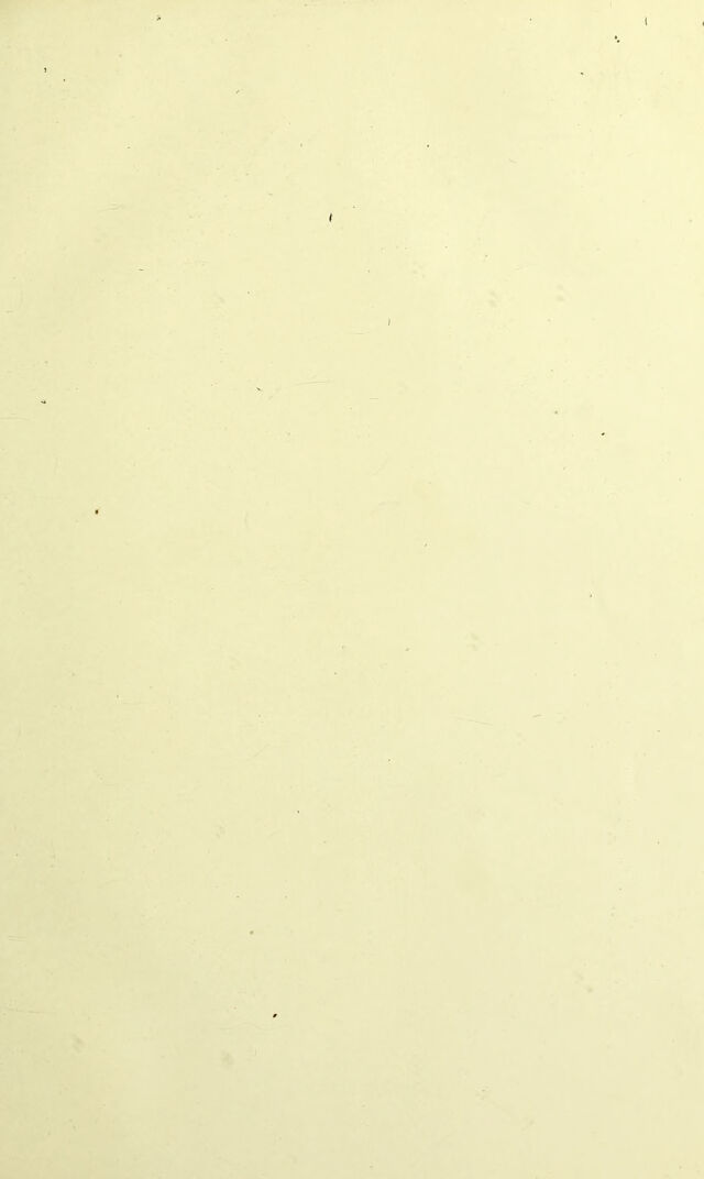 digitised image 3
