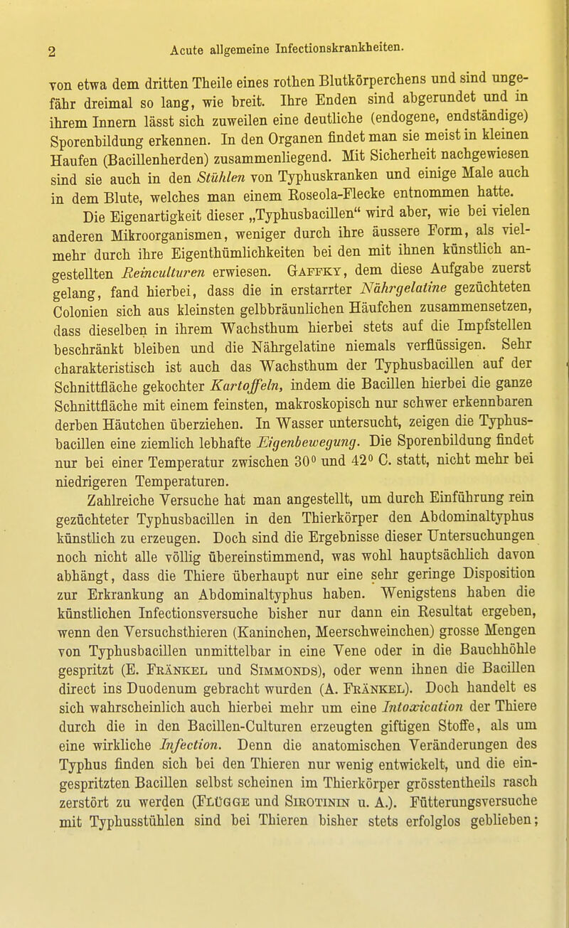 von etwa dem dritten Theile eines rothen Blutkörperchens und sind unge- fähr dreimal so lang, wie breit Ihre Enden sind abgerundet und in ihrem Innern lässt sich zuweilen eine deutliche (endogene, endständige) Sporenbildung erkennen. In den Organen findet man sie meist in kleinen Haufen (Bacillenherden) zusammenliegend. Mit Sicherheit nachgewiesen sind sie auch in den Stühlen von Typhuskranken und einige Male auch in dem Blute, welches man einem Koseola-Flecke entnommen hatte. Die Eigenartigkeit dieser „Typhusbacillen wird aber, wie bei vielen anderen Mikroorganismen, weniger durch ihre äussere Eorm, als viel- mehr durch ihre Eigenthümlichkeiten bei den mit ihnen künstlich an- gestellten Reinculturen erwiesen. Gafeky, dem diese Aufgabe zuerst gelang, fand hierbei, dass die in erstarrter Nährgelaiine gezüchteten Colonien sich aus kleinsten gelbbräunlichen Häufchen zusammensetzen, dass dieselben in ihrem Wachsthum hierbei stets auf die Impfstellen beschränkt bleiben und die Nährgelatine niemals verflüssigen. Sehr charakteristisch ist auch das Wachsthum der Typhusbacillen auf der Schnittfläche gekochter Kartoffeln, indem die Bacillen hierbei die ganze Schnittfläche mit einem feinsten, makroskopisch nur schwer erkennbaren derben Häutchen überziehen. In Wasser untersucht, zeigen die Typhus- bacillen eine ziemlich lebhafte Eigenbewegung. Die Sporenbildung findet nur bei einer Temperatur zwischen 30° und 42° C. statt, nicht mehr bei niedrigeren Temperaturen. Zahlreiche Versuche hat man angestellt, um durch Einführung rein gezüchteter Typhusbacillen in den Thierkörper den Abdominaltyphus künstlich zu erzeugen. Doch sind die Ergebnisse dieser Untersuchungen noch nicht alle völlig übereinstimmend, was wohl hauptsächlich davon abhängt, dass die Thiere überhaupt nur eine sehr geringe Disposition zur Erkrankung an Abdominaltyphus haben. Wenigstens haben die künstlichen Infectionsversuche bisher nur dann ein Resultat ergeben, wenn den Versuchstieren (Kaninchen, Meerschweinchen) grosse Mengen von Typhusbacillen unmittelbar in eine Vene oder in die Bauchhöhle gespritzt (E. Frankel und Simmonds), oder wenn ihnen die Bacillen direct ins Duodenum gebracht wurden (A. Frankel). Doch handelt es sich wahrscheinlich auch hierbei mehr um eine Intoxication der Thiere durch die in den Bacillen-Culturen erzeugten giftigen Stoffe, als um eine wirkliche Infection. Denn die anatomischen Veränderungen des Typhus finden sich bei den Thieren nur wenig entwickelt, und die ein- gespritzten Bacillen selbst scheinen im Thierkörper grösstentheils rasch zerstört zu werden (Flügge und Sirotinin u. A.). Fütterungsversuche mit Typhusstühlen sind bei Thieren bisher stets erfolglos geblieben;