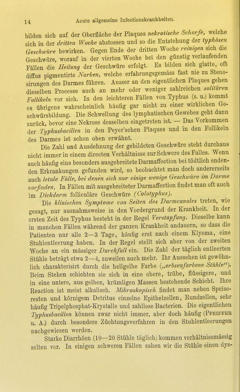 bilden sich auf der Oberfläche der Plaques nekrotische Schorfe, welche sich in der dritten Woche abstossen und so die Entstehung der typhösen Geschwüre bewirken. Gegen Ende der dritten Woche reinigen sich die Geschwüre, worauf in der vierten Woche bei den günstig verlaufenden Fällen die Heilung der Geschwüre erfolgt. Es bilden sich glatte, oft diffus pigmentirte Narben, welche erfahrungsgemäss fast nie zu Steno- sirungen des Darmes führen. Ausser an den eigentlichen Plaques gehen dieselben Processe auch an mehr oder weniger zahlreichen solitaren Follikeln vor sich. In den leichteren Fällen von Typhus (s. u.) kommt es übrigens wahrscheinlich häufig gar nicht zu einer wirklichen Ge- schwürsbildung. Die Schwellung des lymphatischen Gewebes geht dann zurück, bevor eine Nekrose desselben eingetreten ist. — Das Vorkommen der Typhusbacillen in den Peyer'schen Plaques und in den Follikeln des Darmes ist schon oben erwähnt. Die Zahl und Ausdehnung der gebildeten Geschwüre steht durchaus nicht immer in einem directen Verhältnisse zur Schwere des Falles. Wenn auch häufig eine besonders ausgebreitete Darmaffection beitödtlich enden- den Erkrankungen gefunden wird, so beobachtet man doch andererseits auch letale Fälle, bei denen sich nur einige wenige Geschwüre im Darme vorfinden. In Fällen mit ausgebreiteter Darmaffection findet man oft auch im Dickdarm folliculäre Geschwüre (Colotyphus). Die klinischen Symptome von Seiten des Darmcanales treten, wie gesagt, nur ausnahmsweise in den Vordergrund der Krankheit. In der ersten Zeit des Typhus besteht in der Regel Verstopfung. Dieselbe kann in manchen Fällen während der ganzen Krankheit andauern, so dass die Patienten nur alle 2—3 Tage, häufig erst nach einem Klysma, eine Stuhlentleerung haben. In der Regel stellt sich aber von der zweiten Woche an ein massiger Durchfall ein. Die Zahl der täglich entleerten Stühle beträgt etwa 2—4, zuweilen auch mehr. Ihr Aussehen ist gewöhn- lich charakterisirt durch die hellgelbe Farbe {„erbsenfarbene Stühle). Beim Stehen schichten sie sich in eine obere, trübe, flüssigere, und in eine untere, aus gelben, krümligen Massen bestehende Schicht. Ihre Reaction ist meist alkalisch. Mikroskopisch findet man neben Speise- resten und körnigem Detritus einzelne Epithelzellen, Rundzellen, sehr häufig Tripelphosphat-Krystalle und zahllose Bacterien. Die eigentlichen Typhusbacillen können zwar nicht immer, aber doch häufig (Pfeiffer u. A.) durch besondere Züchtungsverfahren in den Stuhlentleerungen nachgewiesen werden. Starke Diarrhöen (10—20 Stühle täglich) kommen verhältnissmässig selten vor. In einigen schweren Fällen sahen wir die Stühle einen dys-