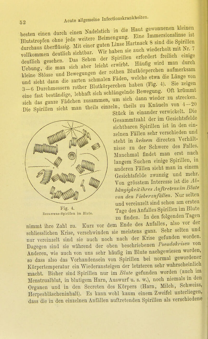 besten erneu durch f~ CSSÄ Blutstropfen ohne jede weitere Beime»gu g durchaus überdüssig Mit einer P^^™,,,^ JP fc . vollkommen deutl.eh sichtbar. W hab n sie a deutlieb gesehen. Das Sehen der Sprite £ ^ ^ Uebung, die man smh aber leicht;™fB ^t5 ^ n aufmertsam 1 ß Durchmessern rother Blutkörperchen haben (Fig. 4). hie zeigen toe heSdige, lebhart sieh schlangelnde Bewegung 0 t rem t sich das ganze Kdehen zusammen, um sich dann wieder zu strecken. D e SpTrillu sieht man theils einzelu, theils zu Knauein v n 4-2 xjiv opuuiö gt„ck einan(ier verwickelt. Die Gesammtzahl der im Gesichtsfelde sichtbaren Spirillen ist in den ein- zelnen Fällen sehr verschieden und steht in keinem directen Verhält- nisse zu der Schwere des Falles. Manchmal findet man erst nach langem Suchen einige Spirillen, in anderen Fällen sieht man in einem Gesichtsfelde zwanzig und mehr. Von grösstem Interesse ist die Ab- hängigkeit ihres Auftretens im Blute von den Fieber anfallen. Nur selten und vereinzelt sind schon am ersten Tage des Anfalles Spirillen im Blute zu finden. In den folgenden Tagen nimmt ihre Zahl zu. Kurz vor dem Ende des Anfalles, also vor der schliesslichen Krise, verschwinden sie meistens ganz. Sehr selten und nur vereinzelt sind sie auch noch nach der Krise gefunden worden. Dagegen sind sie während der oben beschriebenen Pseudokrisen von Anderen, wie auch von uns sehr häufig im Blute nachgewiesen worden, so dass also das Vorhandensein von Spirillen bei normal gewordener Körpertemperatur ein Wiederansteigen der letzteren sehr wahrscheinlich macht. Bisher sind Spirillen nur im Blute gefunden worden (auch im Menstrualblut, in blutigem Harn, Auswurf u. s. w.), noch niemals in den Organen und in den Secreten des Körpers (Harn, Milch, Schweiss, Herpesbläscheninhalt). Es kann wohl kaum einem Zweifel unterliegen, dass die in den einzelnen Anfällen auftretenden Spirillen als verschiedene Fig. 4. Recurrens-Spirillen im Blute