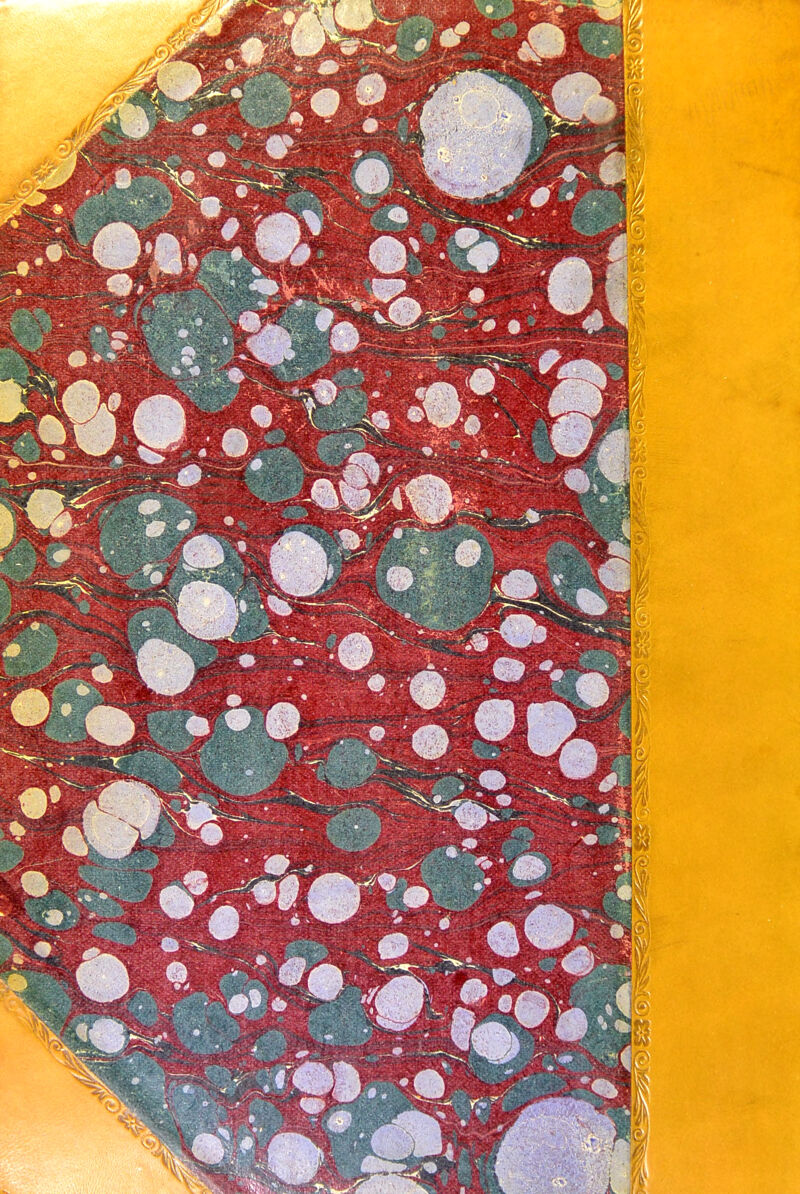 No text description is available for this image