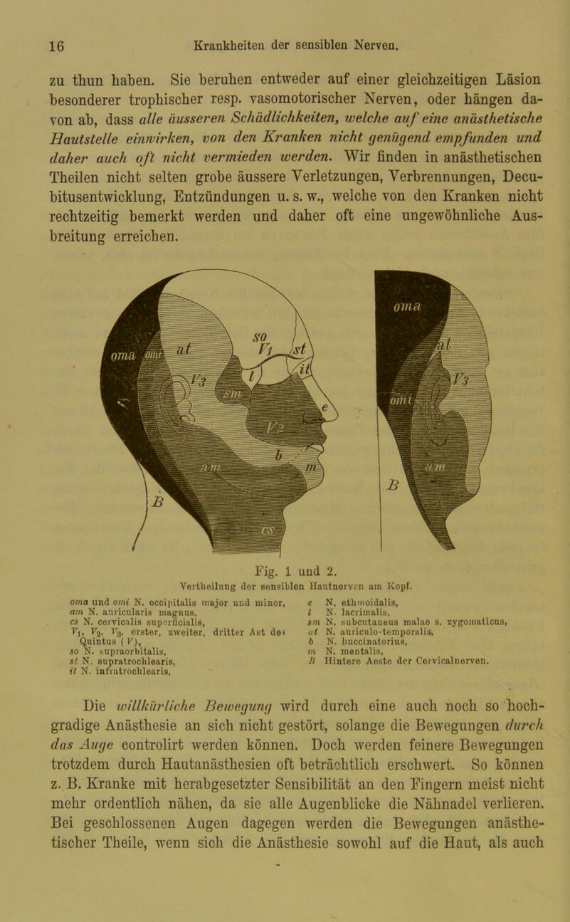 zu thun haben. Sie beruhen entweder auf einer gleichzeitigen Läsion besonderer trophischer resp. vasomotorischer Nerven, oder hängen da- von ab, dass alle äusseren Schädlichkeiten, welche auf eine anästhetische Hautstelle einwirken, von den Kranken nicht genügend empfunden und daher auch oft nicht vermieden werden. Wir finden in anästhetischen Theilen nicht selten grobe äussere Verletzungen, Verbrennungen, Decu- bitusentwicklung, Entzündungen u. s. w., welche von den Kranken nicht rechtzeitig bemerkt werden und daher oft eine ungewöhnliche Aus- breitung erreichen. Fig . 1 und 2. Verthoilung der sensiblen Hautnerven am Kopf. oma und omi N. occipitalis major und minor, am N. auvicularis inagnus, cs N. cervicalis superficialis, Vj, V2, V3, erster, zweiter, dritter Ast des Quintus ( V), so N. supraorbitalis, st N. supratrocblearis, it N. infratroclilearis, e N. etkmoidalis, l N. lacrimalis, sm N. subcutaueus malao s. zygomaticus, nt N. auriculo-temporalis, b N. buccinatorius, m N. mentalis, B Hintere Aeste der Cervicalnerven. Die willkürliche Bewegung wird durch eine auch noch so hoch- gradige Anästhesie an sich nicht gestört, solange die Bewegungen durch das Auge controlirt werden können. Doch werden feinere Bewegungen trotzdem durch Hautanästhesien oft beträchtlich erschwert. So können z. B. Kranke mit herabgesetzter Sensibilität an den Fingern meist nicht mehr ordentlich nähen, da sie alle Augenblicke die Nähnadel verlieren. Bei geschlossenen Augen dagegen werden die Bewegungen anästhe- tischer Theile, wenn sich die Anästhesie sowohl auf die Haut, als auch