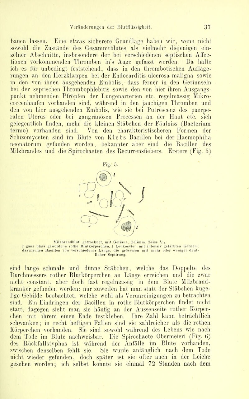 bauen lassen. Eine etwas sicherere Grundlage haben wir, wenn nicht sowohl die Zustcände des Gesammtblutes als vielmehr diejenigen ein- zelner Abschnitte, insbesondere der bei verschiedenen septischen AlTec- tionen vorkommenden Thromben in's Auge gefasst werden. Da halte ich es für unbedingt feststellend, dass in den thrombotischen Auflage- rungen an den Herzklappen bei der Endocarditis ulcerosa maligna sowie in den von ihnen ausgehenden Embolis, dass ferner in den Gerinnseln bei der septischen Thrombophlebitis sowie den von hier ihren Ausgangs- punkt nehmenden Pfropfen der Lungenarterien etc. regelmässig Mikro- coccenhaufen vorhanden sind, während in den jauchigen Thromben und den von hier ausgehenden Embolis, wie sie bei Putrescenz des puerpe- ralen Uterus oder bei gangränösen Processen an der Haut etc. sich gelegentlich finden, mehr die kleinen Stäbchen der Fäulniss (ßacterium terrao) vorhanden sind. Von den charakteristischeren Formen der Schizorayceten sind im Blute von Klebs Bacillen bei der Haemophilia neonatorum gefunden worden, bekannter aber sind die Bacillen des Milzbrandes und die Spirochaeten des Recurrensfiebers. Erstere (Fig. 5) Fig. 5. Milzbrandbliit, getrocknet, mit Gctiaiia, Oelimm. Zeis8 '/ij. r ganz, blass gewordene rothe Blutkörperchen, 1 Leukocyten mit intensiv gefärbten Kernen: dazwisciien Bacillen von verschiedener Lange, die gröt^seren mit mehr oder weniger deut- licher Septiruiig. sind lange schmale und dünne Stäbchen, welche das Doppelte des Durchmessers rother Blutkörperchen an Länge erreichen und die zwar nicht constant, aber doch fast regelmässig in dem Blute Milzbrand- kranker gefunden werden; nur zuweilen hat man statt der Stäbchen kuge- lige Gebilde beobachtet, welche wohl als Verunreinigungen zu betrachten sind. Ein Eindringen der Bacillen in rothe Blutkörperchen findet nicht statt, dagegen sieht man sie häufig an der x\ussenseite rother Körper- ehen mit ihrem einen Ende festkleben. Ihre Zahl kann beträchtlich schwanken; in recht heftigen Fällen sind sie zahlreicher als die rothen Körperchen vorhanden. Sie sind sowohl während des Lebens wie nach dem Tode im Blute nachweisbar. Die Spirochaete Obermeieri (Fig. 6) des Rückfallstyphus ist während der Anfälle im Blute vorhanden, zwischen denselben fehlt sie. Sie wurde anfänglich nach dem Tode nicht wieder gefunden, doch später ist sie öfter auch in der Leiche gesehen worden; ich selbst konnte sie einmal 72 Stunden nach dem