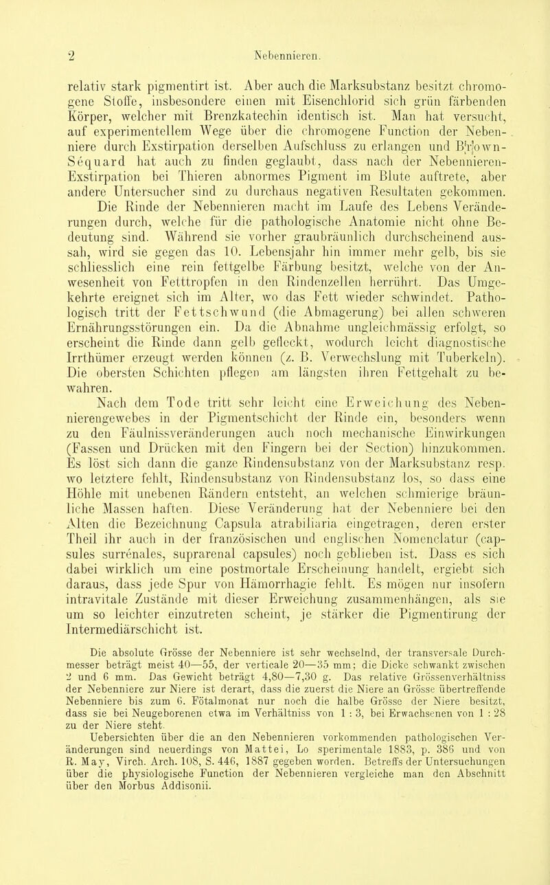 relativ stark pigmentirt ist. Aber auch die Marksubstanz besitzt chromo- gene Stoffe, insbesondere einen mit Eisenchlorid sich grün färbenden Körper, welcher mit Brenzkatechin identisch ist. Man hat versucht, auf experimentellem Wege über die chromogene Function der Neben- niere durch Exstirpation derselben Aufschluss zu erlangen und Bjrjown- Sequard hat auch zu finden geglaubt, dass nach der Nebennieren- Exstirpation bei Thieren abnormes Pigment im Blute auftrete, aber andere Untersucher sind zu durchaus negativen Resultaten gekommen. Die Rinde der Nebennieren macht im Laufe des Lebens Verände- rungen durch, welche für die pathologische Anatomie nicht ohne Be- deutung sind. Während sie vorher graubräunlich durchscheinend aus- sah, wird sie gegen das 10. Lebensjahr hin immer mehr gelb, bis sie schliesslich eine rein fettgelbe Färbung besitzt, welche von der An- wesenheit von Fetttropfen in den Rindenzellen herrührt. Das Umge- kehrte ereignet sich im Alter, wo das Fett wieder schwindet. Patho- logisch tritt der Fettschwund (die Abmagerung) bei allen schweren Ernährungsstörungen ein. Da die Abnahme ungleichmässig erfolgt, so erscheint die Rinde dann gelb gelleckt, wodurch leicht diagnostische Irrthümer erzeugt werden können (z. B. Verwechslung mit Tuberkeln). Die obersten Schichten pflegen am längsten ihren Fettgehalt zu be- wahren. Nach dem Tode tritt sehr leicht eine Erweichung des Neben- nierengewebes in der Pigmentschicht der Rinde ein, besonders wenn zu den Fäulnissveränderungen auch noch mechanische Einwirkungen (Fassen und Drücken mit den Fingern bei der Section) hinzukommen. Es löst sich dann die ganze Rindensubstanz von der Marksubstanz resp. wo letztere fehlt, Rindensubstanz von Rindensubstanz los, so dass eine Höhle mit unebenen Rändern entsteht, an welchen schmierige bräun- liche Massen haften. Diese Veränderung hat der Nebenniere bei den Alten die Bezeichnung Capsula atrabiliaria eingetragen, deren erster Theil ihr auch in der französischen und englischen Nomenclatur (cap- sules surrenales, suprarenal capsules) noch geblieben ist. Dass es sich dabei wirklich um eine postmortale Erscheinung handelt, ergiebt sich daraus, dass jede Spur von Hämorrhagie fehlt. Es mögen nur insofern intravitale Zustände mit dieser Erweichung zusammenhängen, als sie um so leichter einzutreten scheint, je stärker die Pigmentirung der Intermediärschicht ist. Die absolute Grösse der Nebenniere ist sehr wechselnd, der transversale Durch- messer beträgt meist 40—55, der verticale 20—35 mm; die Dicke schwankt zwischen 2 und 6 mm. Das Gewicht beträgt 4,80—7,30 g. Das relative Grössenverhältniss der Nebenniere zur Niere ist derart, dass die zuerst die Niere an Grösse übertreffende Nebenniere bis zum 6. Fötalmonat nur noch die halbe Grösse der Niere besitzt, dass sie bei Neugeborenen etwa im Verhältniss von 1 : 3, bei Erwachsenen von 1 : 28 zu der Niere steht. Uebersichten über die an den Nebennieren vorkommenden pathologischen Ver- änderungen sind neuerdings von Mattei, Lo sperimentale 1883, p. 386 und von R. May, Virch. Arch. 108, S. 446, 1887 gegeben worden. Betreffs der Untersuchungen über die physiologische Function der Nebennieren vergleiche man den Abschnitt über den Morbus Addisonii.
