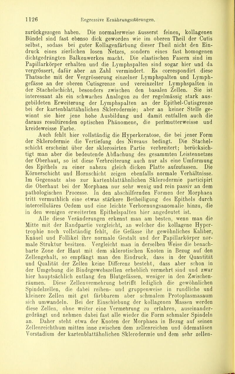 zurückgezogen haben. Die normalerweise äusserst feinen, kollagenen Bündel sind fast ebenso dick geworden wie im oberen Theil der Cutis selbst, sodass bei guter Kollagenfärbung dieser Theil nicht den Ein- druck eines zierlichen losen Netzes, sondern eines fast homogenen dichtgedrängten Balkenwerkes macht. Die elastischen Fasern sind im Papillarkörper erhalten und die Lymphspalten sind sogar hier und da vergrössert, dafür aber an Zahl vermindert. Es correspondirt diese Thatsache mit der Vergrösserung einzelner Lymphspalten und Lymph- gefässe an der oberen Cutisgrenze und vereinzelter Lymphspalten in der Stachelschicht, besonders zwischen den basalen Zellen. Sie ist interessant als ein schwaches Analogon zu der regelmässig stark aus- gebildeten Erweiterung der Lymphspalten an der Epithel-Cutisgrenze bei der kartenblattähnlichen Sklerodermie; aber an keiner Stelle ge- winnt sie hier jene hohe Ausbildung und damit entfallen auch die daraus resultirenden optischen Phänomene, die perlmutterweisse und kreide weisse Farbe. Auch fehlt hier vollständig die Hyperkeratose, die bei jener Form der Sklerodermie die Vertiefung des Niveaus bedingt. Die Stachel- schicht erscheint über der sklerosirten Partie verbreitert; berücksich- tigt man aber die bedeutende Abflachung des gesammten Leistennetzes der Oberhaut, so ist diese Verbreiterung auch nur als eine Umformung des Epithels zu einer nahezu gleich dicken Platte aufzufassen. Die Körnerschicht und Hornschicht zeigen ebenfalls normale Verhältnisse. Im Gegensatz also zur kartenblattähnlichen Sklerodermie participirt die Oberhaut bei der Morphaea nur sehr wenig und rein passiv an dem pathologischen Processe. In den abschilfernden Formen der Morphaea tritt vermuthlich eine etwas stärkere Betheiliguug des Epithels durch intercelluläres Oedem und eine leichte Verhornungsanomalie hinzu, die in den wenigen erweiterten Epithelspalten hier angedeutet ist. Alle diese Veränderungen erkennt man am besten, wenn man die Mitte mit der Randpartie vergleicht, an welcher die kollagene Hyper- trophie noch vollständig fehlt, die Gefässe ihr gewöhnliches Kaliber, Knäuel und Follikel ihre normale Gestalt und der Papillarkörper nor- male Struktur besitzen. Vergleicht man in derselben Weise die benach- barte Zone der Haut mit dem sklerotischen Knoten in Bezug auf den Zellengehalt, so empfängt man den Eindruck, dass in der Quantität und Qualität der Zellen keine Differenz besteht, dass aber schon in der Umgebung die Bindegewebszellen erheblich vermehrt sind und zwar hier hauptsächlich entlang den Blutgefässen, weniger in den Zwischen- räumen. Diese Zellenvermehrung betrifft lediglich die gewöhnlichen Spindelzellen, die dabei reihen- und gruppenweise in rundliche und kleinere Zellen mit gut färbbarem aber schmalem Protoplasmasaum sich umwandeln. Bei der Einschiebung der kollagenen Massen werden diese Zellen, ohne weiter eine Vermehrung zu erfahren, auseinander- gedrängt und nehmen dabei fast alle wieder die Form schmaler Spindeln an. Daher steht etwa der Knoten der Morphaea in Bezug auf seinen Zellenreichthum mitten inne zwischen dem zellenreichen und ödematösen Vorstadium der kartenblattähnlichen Sklerodermie und dem sehr zellen-