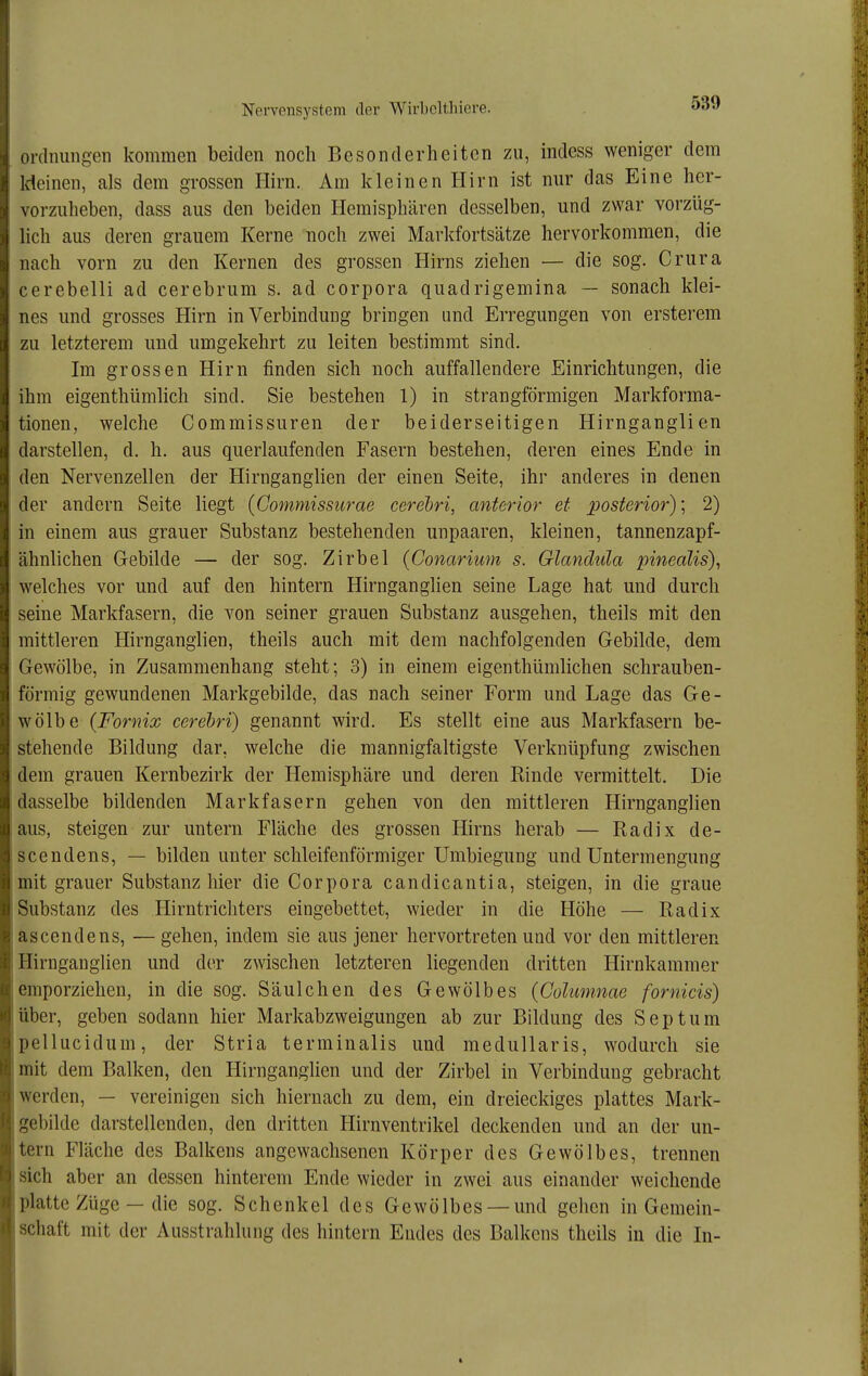 Ordnungen kommen beiden noch Besonderheiten zu, indess weniger dem Weinen, als dem grossen Hirn. Am kleinen Hirn ist nur das Eine her- vorzuheben, dass aus den beiden Hemisphären desselben, und zwar vorzüg- lich aus deren grauem Kerne noch zwei Markfortsätze hervorkommen, die nach vorn zu den Kernen des grossen Hirns ziehen — die sog. Crura cerebelli ad cerebrum s. ad corpora quadrigemina — sonach klei- nes und grosses Hirn in Verbindung bringen und Erregungen von ersterem zu letzterem und umgekehrt zu leiten bestimmt sind. Im grossen Hirn finden sich noch auffallendere Einrichtungen, die ihm eigenthümhch sind. Sie bestehen 1) in strangförmigen Markforma- tionen, welche Commissuren der beiderseitigen Hirnganglien darstellen, d. h. aus querlaufenden Fasern bestehen, deren eines Ende in den Nervenzellen der Hirnganglien der einen Seite, ihr anderes in denen der andern Seite liegt {Commissiirae cerehri, anterior et posterior); 2) in einem aus grauer Substanz bestehenden unpaaren, kleinen, tannenzapf- ähnlichen Gebilde — der sog. Zirbel (Conarium s. Glandula pinealis), welches vor und auf den hintern Hirnganglien seine Lage hat und durch seine Markfasern, die von seiner grauen Substanz ausgehen, theils mit den mittleren Hirnganglien, theils auch mit dem nachfolgenden Gebilde, dem Gewölbe, in Zusammenhang steht; 3) in einem eigenthümlichen schrauben- förmig gewundenen Markgebilde, das nach seiner Form und Lage das Ge- wölbe (Fornix cerehri) genannt wird. Es stellt eine aus Markfasern be- stehende Bildung dar, welche die mannigfaltigste Verknüpfung zwischen dem grauen Kernbezirk der Hemisphäre und deren Rinde vermittelt. Die dasselbe bildenden Mark fasern gehen von den mittleren Hirnganglien aus, steigen zur untern Fläche des grossen Hirns herab — Radix de- scendens, — bilden unter schleifenförmiger Umbiegung und Untermengung mit grauer Substanz hier die Corpora candicantia, steigen, in die graue Substanz des Hirntrichters eingebettet, wieder in die Höhe — Radix ascendens, — gehen, indem sie aus jener hervortreten und vor den mittleren Hirnganglien und der zwischen letzteren liegenden dritten Hirnkammer emporziehen, in die sog. Säulchen des Gewölbes (Coluninae fornicis) über, geben sodann hier Markabzweigungen ab zur Bildung des Septum pellucidum, der Stria terminalis und meduUaris, wodurch sie mit dem Balken, den Hirnganglien und der Zirbel in Verbindung gebracht werden, — vereinigen sich hiernach zu dem, ein dreieckiges plattes Mark- gebilde darstellenden, den dritten Hirnventrikel deckenden und an der un- tern Fläche des Balkens angewachsenen Körper des Gewölbes, trennen sich aber an dessen hinterem Ende wieder in zwei aus einander weichende platte Züge — die sog. Schenkel des Gewölbes —und gehen in Gemein- schaft mit der Ausstrahlung des hintern Endes des Balkens theils in die In-