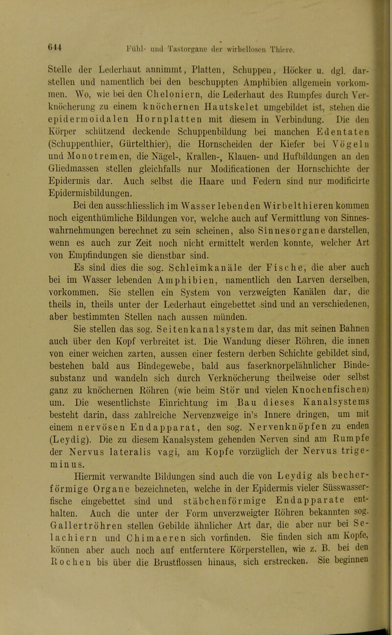 Ö44 Stelle der Lederhaut annimmt, Platten, Schuppen, Höcker u. dgl. dar- stellen und namentlich bei den beschuppten Amphibien allgemein vorkom- men. Wo, wie bei den Cheloniern, die Lederhaut des Rumpfes durch Ver- knöcherung zu einem knöchernen Hautskelet umgebildet ist, stehen die epidermoidalen Hornplatten mit diesem in Verbindung. Die den Körper schützend deckende Schuppenbildung bei manchen Edentateii (Schuppenthier, Gürtelthier), die Hornscheiden der Kiefer bei Vögeln und Mo not rem en, die Nägel-, Krallen-, Klauen- und Hufbildungen an den Gliedmassen stellen gleichfalls nur Modificationen der Hornschichte der Epidermis dar. Auch selbst die Haare und Federn sind nur modificirle Epidermisbildungen. Bei den ausschliesslich im Wasser lebenden Wirbelthieren kommen noch eigenthümliche Bildungen vor, welche auch auf Vermittlung von Sinnes- wahrnehmungen berechnet zu sein scheinen, also Sinnesorgane darstellen, wenn es auch zur Zeit noch nicht ermittelt werden konnte, welcher Art von Empfindungen sie dienstbar sind. Es sind dies die sog. Schleimkanäle der Fische, die aber auch bei im Wasser lebenden Amphibien, namentlich den Larven derselben, vorkommen. Sie stellen ein System von verzweigten Kanälen dar, die theils in, theils unter der Lederhaut eingebettet sind und an verschiedenen, aber bestimmten Stellen nach aussen münden. Sie stellen das sog. Seitenkanalsystem dar, das mit seinen Bahnen auch über den Kopf verbreitet ist. Die Wandung dieser Röhren, die innen von einerweichen zarten, aussen einer festern derben Schichte gebildet sind, bestehen bald aus Bindegewebe, bald aus faserknorpelähnlicher Binde- substanz und wandeln sich durch Verknöcherung theilweise oder selbst ganz zu knöchernen Röhren (wie beim Stör und vielen Knochenfischen) um. Die wesentlichste Einrichtung im Bau dieses Kanalsystems besteht darin, dass zahlreiche Nervenzweige in's Innere dringen, um mit einem nervösen Endapparat, den sog. Nervenknöpfen zu enden (Leydig). Die zu diesem Kanalsystem gehenden Nerven sind am Rumpfe der Nervus lateralis vagi, am Kopfe vorzüglich der Nervus trige- minus. Hiermit verwandte Bildungen sind auch die von Leydig als becher- förmige Organe bezeichneten, welche in der Epidermis vieler Süsswasser- fische eingebettet sind und stäbchenförmige Endapparate ent- halten. Auch die unter der Form unverzweigter Röhren bekannten sog. Gallertröhren stellen Gebilde ähnlicher Art dar, die aber nur bei Se- 1 a c h i e r n und C h i m a e r e n sich vorfinden. Sie finden sich am Kopfe, können aber auch noch auf entferntere Körperstellen, wie z. B. bei den Rochen bis über die Brustflossen hinaus, sich erstrecken. Sie beginnen