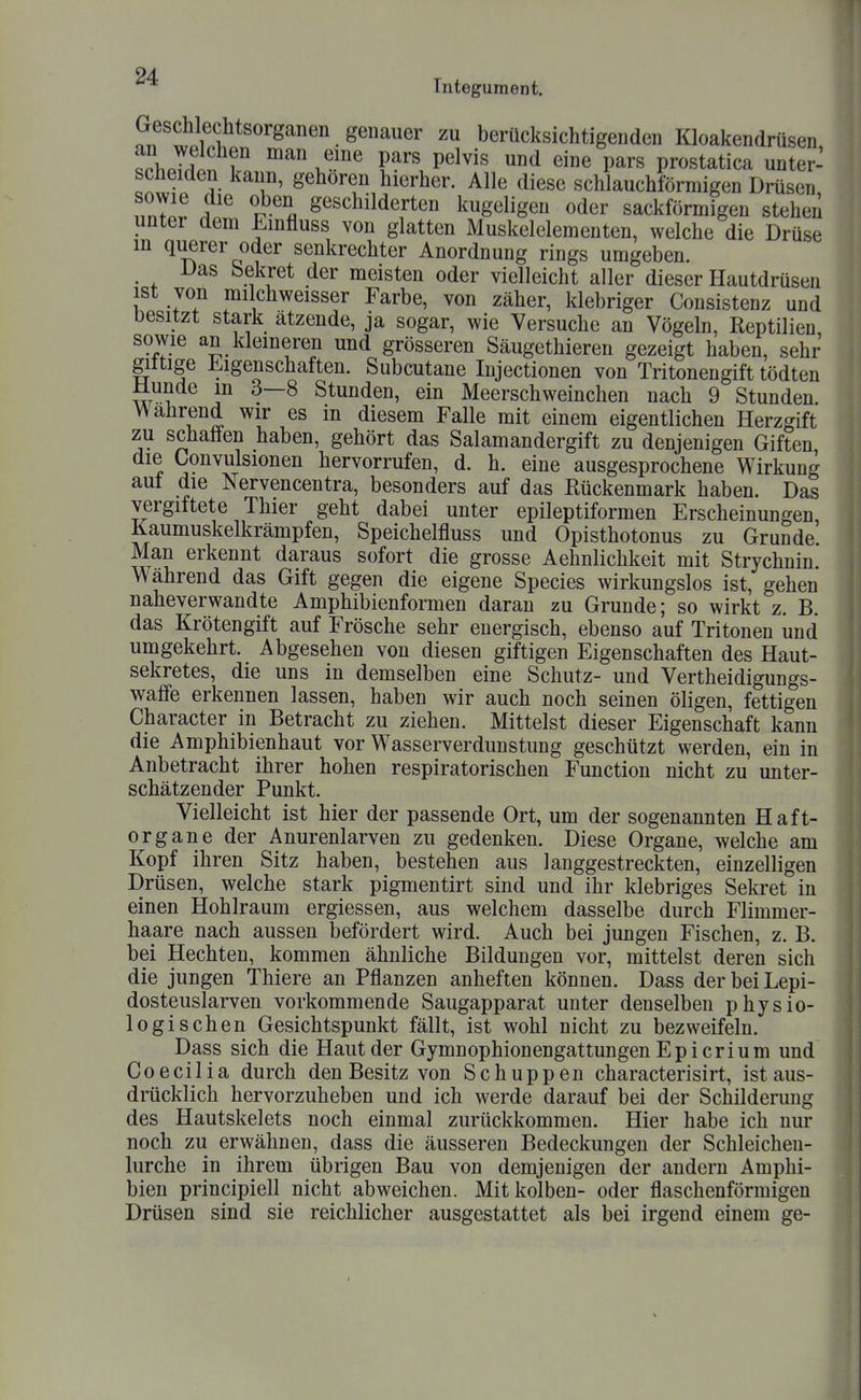 Tntegument. Geschlechtsorganen genauer zu berücksichtigenden Kloakendrüsen thpS i/i man eine pars pelvis und eine pars prostatica unter- scheiden kann, gehören hierher. Alle diese schlauchförmigen Drüsen ITflt tZ g^^c^ilderten kugeligen oder sackförmigen stehen unter dem Einfluss von glatten Muskelelementen, welche die Drüse m querer oder senkrechter Anordnung rings umgeben. Das Sekret der meisten oder vielleicht aller dieser Hautdrüsen ist von milchweisser Farbe, von zäher, klebriger Consistenz und besitzt stark ätzende, ja sogar, wie Versuche an Vögeln, Reptilien ^^J^J^ an kleineren und grösseren Säugethieren gezeigt haben, sehr gittige Ji^igenschaften. Subcutane Injectionen von Tritonengift tödten Munde m 3—8 Stunden, ein Meerschweinchen nach 9 Stunden. Wahrend wir es in diesem Falle mit einem eigentlichen Herzgift zu schaffen haben, gehört das Salamandergift zu denjenigen Giften die Convulsionen hervorrufen, d. h. eine ausgesprochene Wirkung auf die Nervencentra, besonders auf das Rückenmark haben. Das vergiftete Thier geht dabei unter epileptiformen Erscheinungen Kaumuskelkrämpfen, Speichelfluss und Opisthotonus zu Grunde Man erkennt daraus sofort die grosse Aehnlichkeit mit Strychnin. Wahrend das Gift gegen die eigene Speeles wirkungslos ist, gehen naheverwandte Amphibienformen daran zu Grunde; so wirkt z. B. das Krötengift auf Frösche sehr energisch, ebenso auf Tritonen und umgekehrt. Abgesehen von diesen giftigen Eigenschaften des Haut- sekretes, die uns in demselben eine Schutz- und Vertheidigungs- waffe erkennen lassen, haben wir auch noch seinen öligen, fettigen Character in Betracht zu ziehen. Mittelst dieser Eigenschaft kann die Amphibienhaut vor Wasserverdunstung geschützt werden, ein in Anbetracht ihrer hohen respiratorischen Function nicht zu unter- schätzender Punkt. Vielleicht ist hier der passende Ort, um der sogenannten Haft- organe der Anurenlarven zu gedenken. Diese Organe, welche am Kopf ihren Sitz haben, bestehen aus langgestreckten, einzelligen Drüsen, welche stark pigmentirt sind und ihr klebriges Sekret in einen Hohlraum ergiessen, aus welchem dasselbe durch Flimmer- haare nach aussen befördert wird. Auch bei jungen Fischen, z. B. bei Hechten, kommen ähnliche Bildungen vor, mittelst deren sich die jungen Thiere an Pflanzen anheften können. Dass derbeiLepi- dosteuslarven vorkommende Saugapparat unter denselben physio- logischen Gesichtspunkt fällt, ist wohl nicht zu bezweifeln. Dass sich die Haut der Gymnophionengattungen Epicrium und Coecilia durch den Besitz von Schuppen characterisirt, ist aus- drücklich hervorzuheben und ich werde darauf bei der Schilderung des Hautskelets noch einmal zurückkommen. Hier habe ich nur noch zu erwähnen, dass die äusseren Bedeckungen der Schleichen- lurche in ihrem übrigen Bau von demjenigen der andern Amphi- bien principiell nicht abweichen. Mit kolben- oder flaschenförmigen Drüsen sind sie reichlicher ausgestattet als bei irgend einem ge-