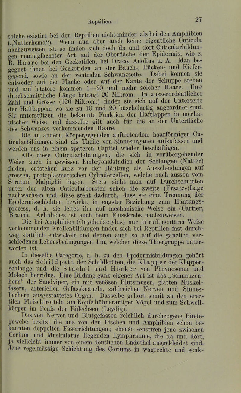 solche existirt bei den Reptilien nicht minder als bei den Amphibien ( Natterhemd). Wenn nun aber auch keine eigentliche Cuticula nachzuweisen ist, so finden sich doch da und dort Cuticularbildun- gen mannigfachster Art auf der Oberfläche der Epidemis, wie z. B Haare bei den Geckotiden, bei Draco, Anolius u. A. Man be- gegnet ihnen bei Geckotiden an der Bauch-, Rücken- und Kiefer- o-e^end, sowie an der ventralen Schwanzseite. Dabei können sie entweder auf der I'läche oder auf der Kante der Schuppe stehen und auf letztere kommen 1—20 und mehr solcher Haare. Ihre durchschnittliche Länge beträgt 20 Mikrom. In ausserordentlicher Zahl und Grösse (120 Mikrom.) finden sie sich auf der Unterseite der Haftlappen, wo sie zu 10 und 20 büschelartig angeordnet sind. Sie unterstützen die bekannte Funktion der Haftlappen in mecha- nischer Weise und dasselbe gilt auch für die an der ünterfläche des Schwanzes vorkommenden Haare. Die an andern Körpergegenden auftretenden, haarförmigen Cu- ticularbildungen sind als Theile von Sinnesorganen aufzufassen und werden uns in einem späteren Capitel wieder beschäftigen. Alle diese Cuticularbildungen, die sich in vorübergehender Weise auch in gewissen Embryonal Stadien der Schlangen (Natter) finden, entstehen kurz vor der Häutung als Ausscheidungen auf grossen, protoplasmatischen Cylinderzellen, welche nach aussen vom Stratum Malpighii liegen. Stets sieht man auf Durchschnitten unter den alten Cuticularborsten schon die zweite (Ersatz-)Lage nachwachsen und diese steht dadurch, dass sie eine Trennung der Epidermisschichten bewirkt, in engster Beziehung zum Häutungs- process, d. h. sie leitet ihn auf mechanische Weise ein (Cartier, Braun). Aehnliches ist auch beim Flusskrebs nachzuweisen. Die bei Amphibien (Onychodactylus) nur in rudimentärer Weise vorkommenden Krallenbildungen finden sich bei Reptilien fast durch- weg stattlich entwickelt und deuten auch so auf die gänzlich ver- schiedenen Lebensbedingungen hin, welchen diese Thiergruppe unter- worfen ist. In dieselbe Categorie, d. h. zu den Epidermisbildungen gehört auch das Schildpatt der Schildkröten, die Klapper der Klapper- schlange und die Stachel und Höcker von Phrynosoma und Moloch horridus. Eine Bildung ganz eigener Art ist das „Schnauzen- horn der Sandviper, ein mit venösen Blutsinusen, glatten Muskel- fasern, arteriellen Gefässknäueln, zahlreichen Nerven und Sinnes- bechern ausgestattetes Organ. Dasselbe gehört somit zu den erec- tilen Fleischtrotteln am Kopfe hühnerartiger Vögel und zum Schwell- körper im Penis der Eidechsen (Leydig). Das von Nerven und Blutgefässen reichlich durchzogene Binde- gewebe besitzt die uns von den Fischen und Amphibien schon be- kannten doppelten Faserrichtungen; ebenso existiren jene zwischen Corium und Muskulatur liegenden Lymphräume, die da und dort, ja vielleicht immer von einem deutlichen Endothel ausgekleidet sind. Jene regelmässige Schichtung des Coriums in wagrechte und senl^-