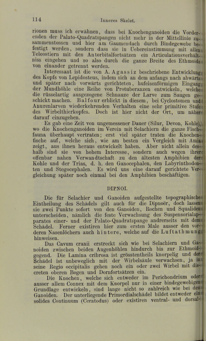 rionen muss ich erwähnen, dass bei Knochenganoiden die Vorder- enden der Palato-Quadratspangen nicht mehr in der Mittellinie zu- sammenstossen und hier am Gaumendach durch Bindegewebe be- festigt werden, sondern dass sie in Üebereinstimmung mit allen Teleostiern mit den An torbitalfortsätzen ein Articulationsverhält- niss eingehen und so also durch die ganze Breite des Ethmoids^ von einander getrennt werden. Interessant ist die von A. Agassiz beschriebene Entwicklung, des Kopfs von Lepidosteus, indem sich an dem anfangs nach abwärts und später nach vorwärts gerichteten, hufeisenförmigen Eingang der Mundhöhle eine Keihe von Protuberanzen entwickeln, welche die rüsselartig ausgezogene Schnauze der Larve zum Saugen ge- schickt machen. Balfour erblickt in diesem, bei Cyclostomen und; Anurenlarven wiederkehrenden Verhalten eine sehr primitive Stufe des Wirbelthierkopfes. Doch ist hier nicht der Ort, um näher- darauf einzugehen. Es gab eine Zeit von ungemessener Dauer (Silur, Devon, Kohle), wo die Knochenganoiden im Verein mit Selachiern die ganze Fischig fauna überhaupt vertraten; erst viel später traten die Knochenfll fische auf, welche sich, wie am besten ein Vergleich mit Amiafi zeigt, aus ihnen heraus entwickelt haben. Aber nicht allein des- halb sind sie von hohem Interesse, sondern auch wegen ihrer - offenbar nahen Verwandtschaft zu den ältesten Amphibien der- Kohle und der Trias, d. h. den Ganocephalen, den Labyrinthodon- ten und Stegocephalen. Es wird uns eine darauf gerichtete Ver- gleichung später noch einmal bei den Amphibien beschäftigen. DIPNOI. Die für Selachier und Ganoiden aufgestellte topographische Eintheilung des Schädels gilt auch für die Dipnoer, doch lassen sie zwei Punkte sofort von den Ganoiden, Rochen und Squaliden unterscheiden, nämlich die feste Verwachsung des Suspensorialap— parates einer- und der Palato-Quadratspange andrerseits mit demu Schädel. Ferner existiren hier zum ersten Male ausser den vor--- deren Nasenlöchern auch hintere, welche auf dieLuftathmungj hinweisen. Das Cavum cranii erstreckt sich wie bei Selachiern und Ga-.- noiden zwischen beiden Augenhöhlen hindurch bis zur Ethmoid-i- gegend. Die Lamina cribrosa ist grösstentheils knorpelig und den Schädel ist unbeweglich mit der Wirbelsäule verwachsen, ja ii« seine Regio occipitalis gehen noch ein oder zwei Wirbel mit dis-?l creten oberen Bogen und Dornfortsätzen ein. J Die Knochen, welche sich entweder im Perichondrium ode^ ausser allem Connex mit dem Knorpel nur in einer bindegewebige™ Grundlage entwickeln, sind lange nicht so zahlreich wie bei deil Ganoiden. Der unterliegende Primordialschädel bildet entweder eim solides Continuum (Ceratodus) oder existiren ventral- und dorsa.-^