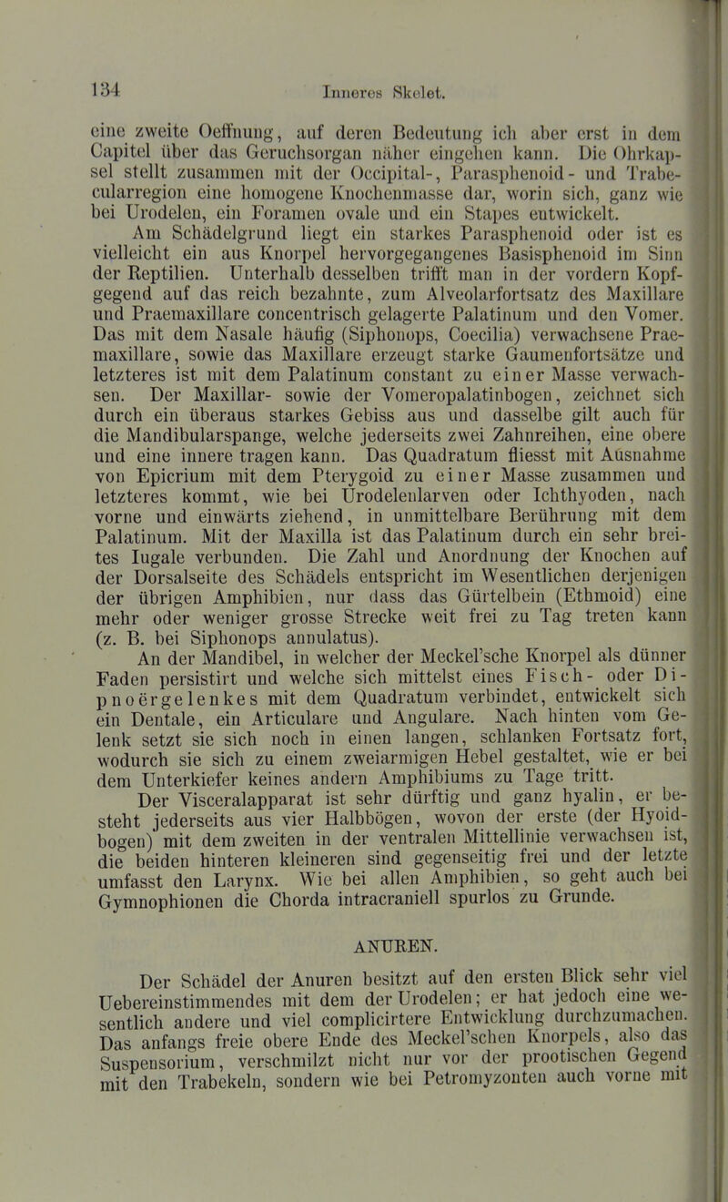 eine zweite Oeffiiuug, auf deren Bedeutung ich aber erst in dem Capitel über das Geruchsorgan näher eingelien kann. Die Ohrkap- sel stellt zusammen mit der Occipital-, Parasphenoid - und Trabe- cularregion eine homogene Knochenmasse dar, worin sich, ganz wie bei Urodelen, ein Foramen ovale und ein Stapes entwickelt. Am Schädelgrund liegt ein starkes Parasphenoid oder ist es vielleicht ein aus Knorpel hervorgegangenes Basisphenoid im Sinn der Reptilien. Unterhalb desselben trifft man in der vordem Kopf- gegend auf das reich bezahnte, zum Alveolarfortsatz des Maxillare und Praemaxillare concentrisch gelagerte Palatinum und den Vomer. Das mit dem Nasale häufig (Siphonops, Coecilia) verwachsene Prae- maxillare, sowie das Maxillare erzeugt starke Gaumenfortsätze und letzteres ist mit dem Palatinum constant zu einer Masse verwach- sen. Der Maxillar- sowie der Vomeropalatinbogen, zeichnet sich durch ein überaus starkes Gebiss aus und dasselbe gilt auch für die Mandibularspange, welche jederseits zwei Zahnreihen, eine obere und eine innere tragen kann. Das Quadratum fliesst mit Ausnahme von Epicrium mit dem Pterygoid zu einer Masse zusammen und letzteres kommt, wie bei Urodelenlarven oder Ichthyoden, nach vorne und einwärts ziehend, in unmittelbare Berührung mit dem Palatinum. Mit der Maxilla ist das Palatinum durch ein sehr brei- tes lugale verbunden. Die Zahl und Anordnung der Knochen auf der Dorsalseite des Schädels entspricht im Wesentlichen derjenigen der übrigen Amphibien, nur dass das Gürtelbein (Ethmoid) eine mehr oder weniger grosse Strecke weit frei zu Tag treten kann (z. B. bei Siphonops annulatus). An der Mandibel, in welcher der Meckel'sche Knorpel als dünner Faden persistirt und welche sich mittelst eines Fisch- oder Di- pnoergelenkes mit dem Quadratum verbindet, entwickelt sich ein Dentale, ein Articulare und Angulare. Nach hinten vom Ge- lenk setzt sie sich noch in einen langen, schlanken Fortsatz fort, wodurch sie sich zu einem zweiarmigen Hebel gestaltet, wie er bei dem Unterkiefer keines andern Amphibiums zu Tage tritt. Der Visceralapparat ist sehr dürftig und ganz hyalin, er be- steht jederseits aus vier Halbbögen, wovon der erste (der Hyoid- bogen) mit dem zweiten in der ventralen Mittellinie verwachsen ist, die beiden hinteren kleineren sind gegenseitig frei und der letzte umfasst den Larynx. Wie bei allen Amphibien, so geht auch bei Gymnophionen die Chorda intracraniell spurlos zu Grunde. ANTJREN. Der Schädel der Anuren besitzt auf den ersten Blick sehr viel Uebereinstimmendes mit dem der Urodelen; er hat jedoch eine we- sentlich andere und viel comphcirtere Entwicklung durchzumachen. Das anfangs freie obere Ende des Meckel'schen Knorpels, also das Suspensorium, verschmilzt nicht nur vor der prootischen Gegend mit den Trabekeln, sondern wie bei Petromyzouteu auch vorne mit