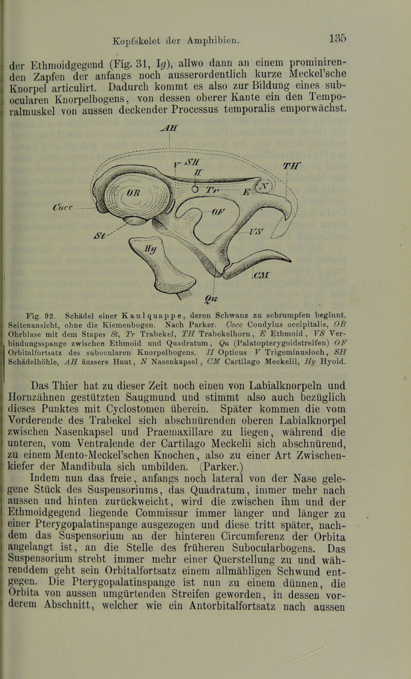 der Ethmoidgegoiid (Fig. 31, lg), allwo dann an einem prominiren- den Zapfen der anfangs noch ausserordentlich kurze Meckel'sche Knorpel articulirt. Dadurch kommt es also zur Bildung eines sub- ocularen Knorpelbogens, von dessen oberer Kante ein den Terapo- ralmuskel von aussen deckender Processus temporalis emporwächst. Cocc Fig. 92. Schädel einer Kaulquappe, deren Schwanz zu schrumpfen beginnt. Seitenansicht, ohne die Kiemenbogen. Nach Parker. Gocc Condylus occipitalis, OB Ohrblase mit dem Stapes 8t, Tr Trabekel, Tif Trabekelhorn, E Ethmoid, VS Ver- bindungsspange zwischen Ethmoid und Quadratum, Qu. (Palatopterygoidstreifen) OF Orbitalfortsatz des subocularen Knorpelbogens. // Opticus V Trigeminusloch, 8H Schädelhöhle, AB. äussere Haut, N Nasenkapsel, CM Cartilago Meckelii, Hy Hyoid. Das Thier hat zu dieser Zeit noch einen von Labialknorpeln und Hornzähnen gestützten Saugmund und stimmt also auch bezüglich dieses Punktes mit Cjclostomen überein. Später kommen die vom Vorderende des Trabekel sich abschnürenden oberen Labialknorpel zwischen Nasenkapsel und Praemaxillare zu liegen, während die unteren, vom Ventralende der Cartilago Meckelii sich abschnürend, zu einem Mento-Meckel'schen Knochen, also zu einer Art Zwischen- kiefer der Mandibula sich umbilden. (Parker.) Indem nun das freie, anfangs noch lateral von der Nase gele- gene Stück des Suspensoriums, das Quadratum, immer mehr nach aussen und hinten zurückweicht, wird die zwischen ihm und der Ethmoidgegend liegende Commissur immer länger und länger zu einer Pterygopalatinspange ausgezogen und diese tritt später, nach- dem das Suspensorium an der hinteren Circumferenz der Orbita angelangt ist, an die Stelle des früheren Subocularbogens. Das Suspensorium strebt immer mehr einer Querstellung zu und wäh- renddem geht sein Orbitalfortsatz einem allmähligen Schwund ent- gegen. Die Pterygopalatinspange ist nun zu einem dünnen, die Orbita von aussen umgürtenden Streifen geworden, in dessen vor- derem Abschnitt, welcher wie ein Antorbitalfortsatz nach aussen