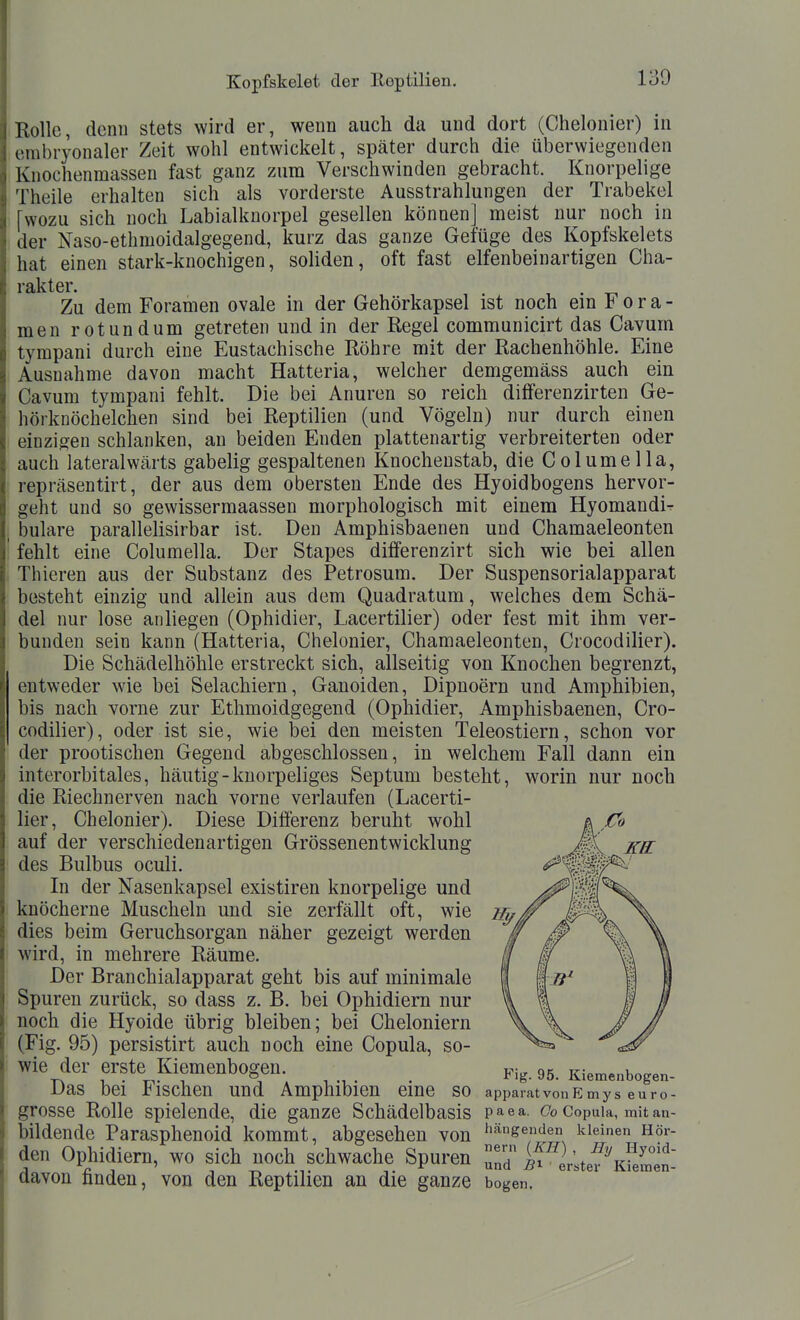 Rolle, denn stets wird er, wenn auch da und dort (Chelonier) in embryonaler Zeit wohl entwickelt, später durch die überwiegenden Knochenmassen fast ganz zum Verschwinden gebracht. Knorpelige Theile erhalten sich als vorderste Ausstrahlungen der Trabekel [wozu sich noch Labialknorpel gesellen können] meist nur noch in der Naso-ethmoidalgegend, kurz das ganze Gefüge des Kopfskelets hat einen stark-knochigen, soliden, oft fast elfenbeinartigen Cha- rakter. zii dem Foramen ovale in der Gehörkapsel ist noch ein F o r a - men rotundum getreten und in der Regel communicirt das Cavum tympani durch eine Eustachische Röhre mit der Rachenhöhle. Eine Ausnahme davon macht Hatteria, welcher demgemäss auch ein Cavum tympani fehlt. Die bei Anuren so reich differenzirten Ge- hörknöchelchen sind bei Reptilien (und Vögeln) nur durch einen einzigen schlanken, an beiden Enden plattenartig verbreiterten oder auch lateralwärts gabelig gespaltenen Knocheustab, die ColumeIIa, repräsentirt, der aus dem obersten Ende des Hyoidbogens hervor- geht und so gewissermaassen morphologisch mit einem Hyomandir bulare parallelisirbar ist. Den Amphisbaenen und Chamaeleonten fehlt eine Columella. Der Stapes differenzirt sich wie bei allen Thieren aus der Substanz des Petrosum. Der Suspensorialapparat besteht einzig und allein aus dem Quadratum, welches dem Schä- del nur lose anliegen (Ophidier, Lacertilier) oder fest mit ihm ver- bunden sein kann (Hatteria, Chelonier, Chamaeleonten, Crocodilier). Die Schädelhöhle erstreckt sich, allseitig von Knochen begrenzt, entweder wie bei Selachiern, Ganoiden, Dipnoern und Amphibien, bis nach vorne zur Ethmoidgegend (Ophidier, Amphisbaenen, Cro- codilier), oder ist sie, wie bei den meisten Teleostiern, schon vor der prootischen Gegend abgeschlossen, in welchem Fall dann ein interorbitales, häutig-knorpeliges Septum besteht, worin nur noch die Riechnerven nach vorne verlaufen (Lacerti- lier, Chelonier). Diese Differenz beruht wohl auf der verschiedenartigen Grössenentwicklung des Bulbus oculi. In der Nasenkapsel existiren knorpelige und knöcherne Muscheln und sie zerfällt oft, wie dies beim Geruchsorgan näher gezeigt werden wird, in mehrere Räume. Der Branchialapparat geht bis auf minimale Spuren zurück, so dass z. B. bei Ophidiern nur noch die Hyoide übrig bleiben; bei Cheloniern (Fig. 95) persistirt auch noch eine Copula, so- wie der erste Kiemenbogen. 95. Kiemenbogen- Das bei Jbischen und Amphibien eine so apparatvonEmys euro- grosse Rolle spielende, die ganze Schädelbasis paea. (7o Copuia, mit an- bildende Parasphenoid kommt, abgesehen von hängenden kleinen Hör- den Ophidiern, wo sich noch schwache Spuren ^f^lltef KfeS^en- davon iinden, von den Reptilien an die ganze bogen. Co