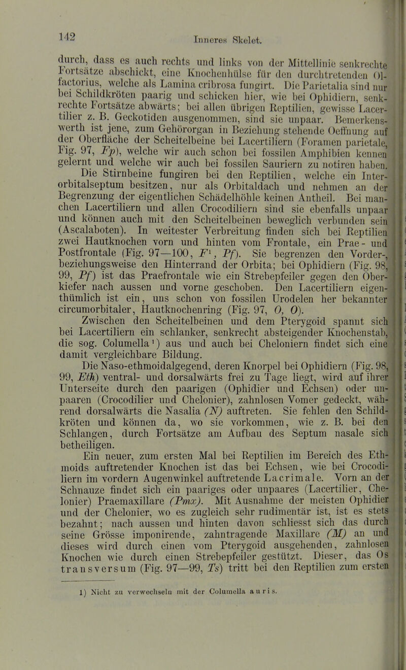 diircli, dass es auch rechts und links von der Mittellinie senkrechte lortsatzc abschickt, eine Knocheuhülse für den durchtretenden 01- lactorius, welche als Lamina cribrosa fungirt. Die Parietalia sind nur bei Schildkröten paarig und schicken hier, wie bei Ophidiern, senk- rechte Fortsätze abwärts; bei allen übrigen Reptilien, gewisse Lacer- tiher z. B. Geckotiden ausgenommen, sind sie unpaar. Bemerk(;ns- werth ist jene, zum Gehörorgan in Beziehung stehende Oeffnung auf der Oberfläche der Scheitelbeine bei Lacertiliern (Foramen parietale, Flg. 97, Fp), welche wir auch schon bei fossilen Amphibien kennen gelernt und welche wir auch bei fossilen Sauriern zu notiren haljen. Die Stirnbeine fungiren bei den Reptilien, welche ein Int(;r- orbitalseptum besitzen, nur als Orbitaldach und nehmen an der Begrenzung der eigentlichen Schädelhöhle keinen Antheil. Bei man- chen Lacertiliern und allen Crocodiliern sind sie ebenfalls unpaar und können auch mit den Scheitelbeinen beweglich verbunden sein (Ascalaboten). In weitester Verbreitung finden sich bei Reptilien zwei Hautknochen vorn und hinten vom Frontale, ein Prae- und Postfrontale (Fig. 97—100, , Ff). Sie begrenzen den Vorder-, beziehungsweise den Hinterrand der Orbita; bei Ophidiern (Fig. 98, 99, Ff) ist das Praefrontale wie ein Strebepfeiler gegen den Ober- kiefer nach aussen und vorne geschoben. Den Lacertiliern eigen- thümlich ist ein, uns schon von fossilen ürodelen her bekannter circumorbitaler, Hautknochenring (Fig. 97, 0, 0). Zwischen den Scheitelbeinen und dem Pterygoid spannt sich bei Lacertiliern ein schlanker, senkrecht absteigender Knochenstab, die sog. Columella 1) aus und auch bei Cheloniern findet sich eine damit vergleichbare Bildung. Die Naso-ethmoidalgegend, deren Knorpel bei Ophidiern (Fig. 98, 99, Eth) ventral- und dorsalwärts frei zu Tage liegt, wird auf ihrer , Unterseite durch den paarigen (Ophidier und Echsen) oder un- ' paaren (Crocodilier und Chelonier), zahnlosen Vomer gedeckt, wäh- rend dorsalwärts die Nasalia (N) auftreten. Sie fehlen den Schild- . kröten und können da, wo sie vorkommen, wie z. B. bei den Schlangen, durch Fortsätze am Aufbau des Septum nasale sich betheiligen. t Ein neuer, zum ersten Mal bei Reptilien im Bereich des Eth- moids auftretender Knochen ist das bei Echsen, wie bei Crocodi- liern im vordem Augenwinkel auftretende Lacrimale. Vorn an der Schnauze findet sich ein paariges oder unpaares (Lacertilier, Che- lonier) Praemaxillare (Fmx). Mit Ausnahme der meisten Ophidier und der Chelonier, wo es zugleich sehr rudimentär ist, ist es stets bezahnt; nach aussen und hinten davon schliesst sich das durch seine Grösse imponirende, zahntragende Maxillare (M) an und dieses wird durch einen vom Pterygoid ausgehenden, zahnlosen Knochen wie durch einen Strebepfeiler gestützt. Dieser, das Os transversum (Fig. 97—99, Ts) tritt bei den Reptilien zum ersten 1) Nicht zu verwechseln mit der Columella auris.