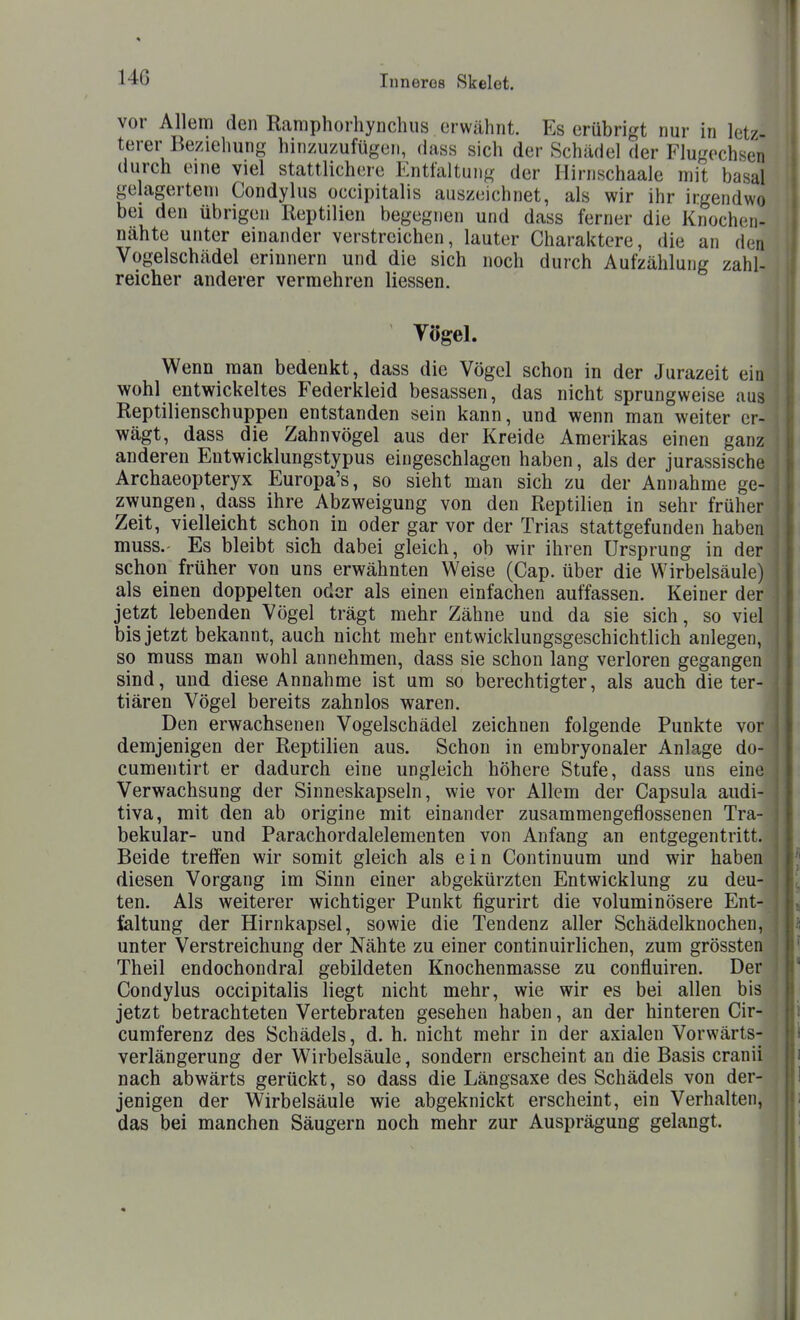 vor Allem den Ramphorhynchus erwähnt. Es erübrigt nur in let terer Beziehung hinzuzufügen, dass sich der Schädel der Flugochsen durch eine viel stattlichere Entfaltung der Hirnschaale mit basal gelagerten» Condylus occipitalis auszeichnet, als wir ihr irgendw bei den übrigen Reptilien begegnen und dass ferner die Knochen- nähte unter einander verstreichen, lauter Charaktere, die an den Vogelschädel erinnern und die sich noch durch Aufzählung zahl- reicher anderer vermehren Hessen. Yögel. Wenn man bedenkt, dass die Vögel schon in der Jurazeit ein wohl entwickeltes Federkleid besassen, das nicht sprungweise aus Reptilienschuppen entstanden sein kann, und wenn man weiter er- wägt, dass die Zahnvögel aus der Kreide Amerikas einen ganz anderen Entwicklungstypus eingeschlagen haben, als der jurassische Archaeopteryx Europa's, so sieht man sich zu der Annahme ge- zwungen, dass ihre Abzweigung von den Reptilien in sehr früher Zeit, vielleicht schon in oder gar vor der Trias stattgefunden haben muss.- Es bleibt sich dabei gleich, ob wir ihren Ursprung in der schon früher von uns erwähnten Weise (Cap. über die Wirbelsäule) als einen doppelten oder als einen einfachen auffassen. Keiner der jetzt lebenden Vögel trägt mehr Zähne und da sie sich, so viel bis jetzt bekannt, auch nicht mehr entwicklungsgeschichtlich anlegen, so muss man wohl annehmen, dass sie schon lang verloren gegangen sind, und diese Annahme ist um so berechtigter, als auch die ter- tiären Vögel bereits zahnlos waren. Den erwachsenen Vogelschädel zeichnen folgende Punkte vor demjenigen der Reptilien aus. Schon in embryonaler Anlage do- cumentirt er dadurch eine ungleich höhere Stufe, dass uns eine Verwachsung der Sinneskapseln, wie vor Allem der Capsula audi- tiva, mit den ab origine mit einander zusammengeflossenen Tra- bekulär- und Parachordalelementen von Anfang an entgegentritt. Beide treffen wir somit gleich als ein Continuum und wir haben diesen Vorgang im Sinn einer abgekürzten Entwicklung zu deu- ten. Als weiterer wichtiger Punkt figurirt die voluminösere Ent- faltung der Hirnkapsel, sowie die Tendenz aller Schädelknochen, unter Verstreichung der Nähte zu einer continuirlichen, zum grössten Theil endochondral gebildeten Knochenmasse zu confluiren. Der Condylus occipitalis liegt nicht mehr, wie wir es bei allen bis jetzt betrachteten Vertebraten gesehen haben, an der hinteren Cir- cumferenz des Schädels, d. h. nicht mehr in der axialen Vorwärts- verlängerung der Wirbelsäule, sondern erscheint an die Basis cranii nach abwärts gerückt, so dass die Längsaxe des Schädels von der- jenigen der Wirbelsäule wie abgeknickt erscheint, ein Verhalten, das bei manchen Säugern noch mehr zur Ausprägung gelangt.