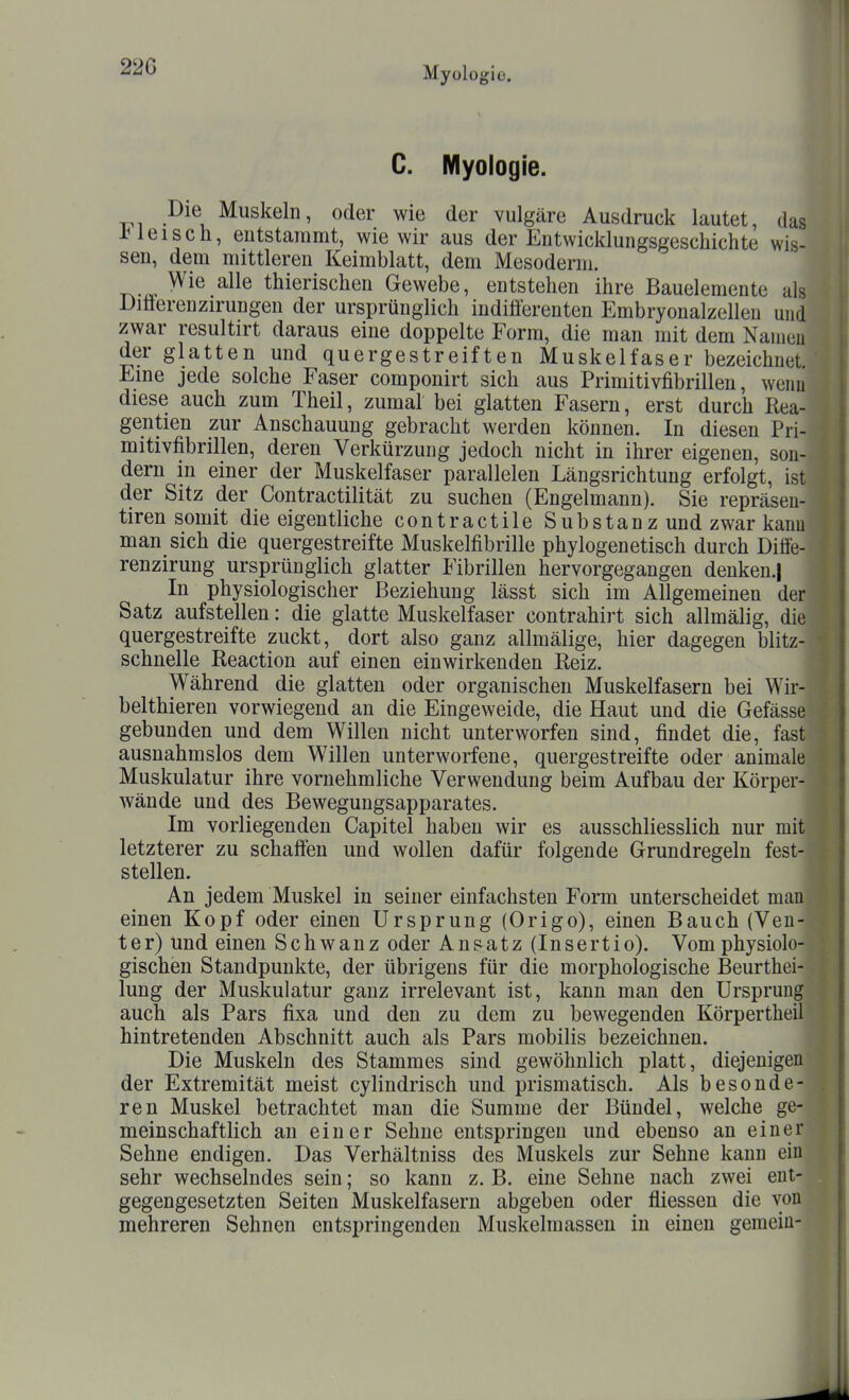 C. Myologie. Die Muskeln, oder wie der vulgäre Ausdruck lautet, das i^leisch, eutstaramt, wie wir aus der Entwicklungsgeschichte wis- sen, dem mittleren Keimblatt, dem Mesoderm. Wie alle thierischen Gewebe, entstehen ihre Bauelemente als Diöerenzirungen der ursprünglich indifferenten Embryonalzellen und zwar resultirt daraus eine doppelte Form, die man mit dem Namen der glatten und quergestreiften Muskelfaser bezeichnet Eme jede solche Faser componirt sich aus Primitivfibrilleu, wenn diese auch zum Theil, zumal bei glatten Fasern, erst durch Rea- gentien zur Anschauung gebracht werden können. In diesen Pri- mitivfibrilleu, deren Verkürzung jedoch nicht in ihrer eigenen, son- dern in einer der Muskelfaser parallelen Längsrichtung erfolgt, ist der Sitz der Contractilität zu suchen (Engelmann). Sie repräsen- tiren somit die eigentliche contractile Substanz und zwar kann man sich die quergestreifte Muskelfibrille phylogenetisch durch Ditfe- renzirung ursprünglich glatter Fibrillen hervorgegangen denken.) In physiologischer Beziehung lässt sich im Allgemeinen der Satz aufstellen: die glatte Muskelfaser contrahirt sich allmälig, die quergestreifte zuckt, dort also ganz allmälige, hier dagegen blitz- schnelle Reaction auf einen einwirkenden Reiz. Während die glatten oder organischen Muskelfasern bei Wir- belthieren vorwiegend an die Eingeweide, die Haut und die Gefässe gebunden und dem Willen nicht unterworfen sind, findet die, fast ausnahmslos dem Willen unterworfene, quergestreifte oder animale Muskulatur ihre vornehmliche Verwendung beim Aufbau der Körper- wände und des Bewegungsapparates. Im vorliegenden Capitel haben wir es ausschliesslich nur mit letzterer zu schaffen und wollen dafür folgende Grundregeln fest- stellen. An jedem Muskel in seiner einfachsten Form unterscheidet man einen Kopf oder einen Ursprung (Origo), einen Bauch (Veu- ter) und einen Schwanz oder Ansatz (Insertio). Vom physiolo- gischen Standpunkte, der übrigens für die morphologische Beurthei- lung der Muskulatur ganz irrelevant ist, kann man den Ursprung auch als Pars fixa und den zu dem zu bewegenden Körpertheil hintretenden Abschnitt auch als Pars mobilis bezeichnen. Die Muskeln des Stammes sind gewöhnlich platt, diejenigen der Extremität meist cylindrisch und prismatisch. Als besonde- ren Muskel betrachtet man die Summe der Bündel, welche ge- meinschaftlich an einer Sehne entspringen und ebenso an einer Sehne endigen. Das Verhältniss des Muskels zur Sehne kann ein sehr wechselndes sein; so kann z. B. eine Sehne nach zwei ent- gegengesetzten Seiten Muskelfasern abgeben oder fliessen die von mehreren Sehnen entspringenden Muskelmassen in einen gemein-