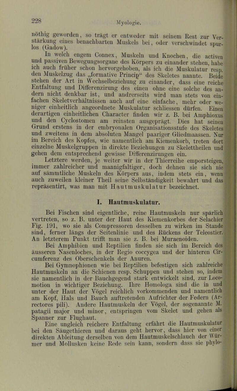 ilöthig geworden, so trägt er entweder mit seinem Rest zur Ver- stärkung eines benachbarten Muskels bei, oder verschwindet snur- los (Gadow). In welch engem Connex, Muskeln und Knochen, die activeii und passiven Bewegungsorgane des Körpers zu einander stehen, habe ich auch früher schon hervorgehoben, als ich die Muskulatur resi) den Muskelzug das „formative Princip des Skeletes nannte. Beide stehen der Art in Wechselbeziehung zu einander, dass eine reiche Entfaltung und Differenzirung des einen ohne eine solche des an- dern nicht denkbar ist, und andrerseits wird man stets von ein- fachen Skeletverhältnissen auch auf eine einfache, mehr oder we- niger einheitlich angeordnete Muskulatur schliessen dürfen. Einen derartigen einheitlichen Character finden wir z. B. bei Amphioxus und den Cyclostomen am reinsten ausgeprägt. Dies hat seinen Grund erstens in der embryonalen Organisationsstufe des Skeletes und zweitens in dem absoluten Mangel paariger Gliedmaassen. Nur im Bereich des Kopfes, wie namentlich am Kiemenkorb, treten dort einzelne Muskelgruppen in direkte Beziehungen zu Skelettheilen und gehen dem entsprechend gewisse Differenzirungen ein. Letztere werden, je weiter wir in der Thierreihe emporsteigen, immer zahlreicher und mannigfaltiger, doch dehnen sie sich nie auf sämmtliche Muskeln des Körpers aus, indem stets ein, wenn auch zuweilen kleiner Theil seine Selbständigkeit bewahrt und das repräsentirt, was man mit Hautmuskulatur bezeichnet. I. Hautmuskulatur. Bei Fischen sind eigentliche, reine Hautmuskeln nur spärhch vertreten, so z. B. unter der Haut des Kiemenkorbes der Selachier Fig. 191, wo sie als Compressoren desselben zu wirken im Stande sind, ferner längs der Seitenlinie und des Kückens der Teleostier. An letzterem Punkt trifft man sie z. B. bei Muraenoiden. Bei Amphibien und Reptilien finden sie sich im Bereich des äusseren Nasenloches, in der Regio coccygea und der hinteren Cir- cumferenz des Oberschenkels der Anureu. i | Bei Gymnophionen wie bei Reptilien befestigen sich zahlreiche Hautmuskeln an die Schienen resp. Schuppen und stehen so, indem sie namentlich in der Bauchgegend stark entwickelt sind, zur Loco- motion in wichtiger Beziehung. Ihre Homologa sind die in und unter der Haut der Vögel reichlich vorkommenden und namentlich am Kopf, Hals und Bauch auftretenden Aufrichter der Federn (Ar- rectores pili). Andere Hautmuskeln der Vögel, der sogenannte M. patagii major und minor, entspringen vom Skelet und gehen als Spanner zur Flughaut. Eine ungleich reichere Entfaltung erfährt die Hautmuskulatur bei den Säugethieren und daraus geht hervor, dass hier von einer direkten Ableitung derselben von dem Hautmuskelschlauch der Wür- mer und Mollusken keine Rede sein kann, sondern dass sie phylo-