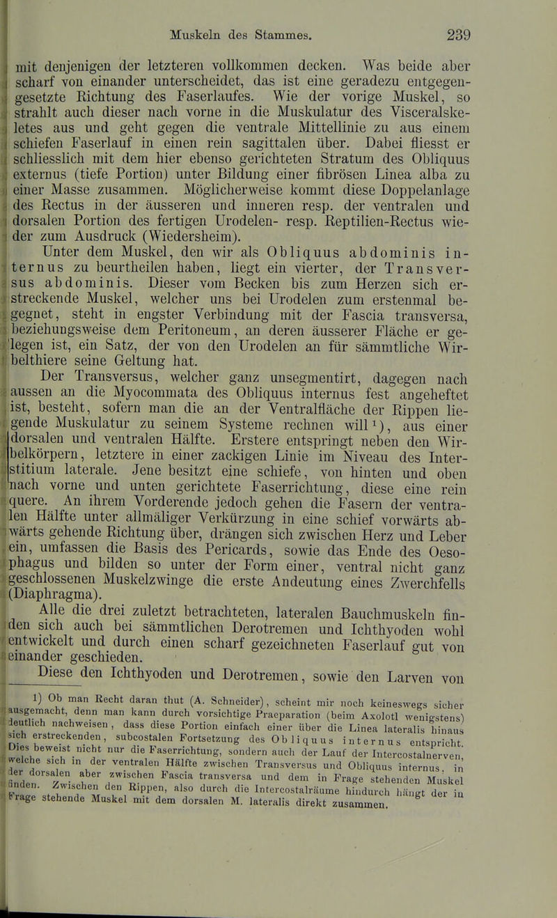 mit denjenigen der letzteren vollkommen decken. Was beide aber scharf von einander unterscheidet, das ist eine geradezu entgegen- gesetzte Richtung des Faserlaufes. Wie der vorige Muskel, so strahlt auch dieser nach vorne in die Muskulatur des Visceralske- letes aus und geht gegen die ventrale Mittellinie zu aus einem schiefen Faserlauf in einen rein sagittalen über. Dabei fliesst er schliesslich mit dem hier ebenso gerichteten Stratum des Obliquus externus (tiefe Portion) unter Bildung einer fibrösen Linea alba zu einer Masse zusammen. Möglicherweise kommt diese Doppelanlage des Rectus in der äusseren und inneren resp, der ventralen und dorsalen Portion des fertigen Urodelen- resp. Reptilien-Rectus wie- der zum Ausdruck (Wiedersheim). Unter dem Muskel, den wir als Obliquus abdominis in- ternus zu beurtheilen haben, liegt ein vierter, der Trans ver- sus abdominis. Dieser vom Becken bis zum Herzen sich er- streckende Muskel, welcher uns bei Urodelen zum erstenmal be- gegnet, steht in engster Verbindung mit der Fascia transversa, beziehungsweise dem Peritoneum, an deren äusserer Fläche er ge- legen ist, ein Satz, der von den Urodelen an für sämmtliche Wir- belthiere seine Geltung hat. ! Der Transversus, welcher ganz unsegmentirt, dagegen nach Haussen an die Myocommata des Obliquus internus fest angeheftet ist, besteht, sofern man die an der Ventralfläche der Rippen lie- gende Muskulatur zu seinem Systeme rechnen will^), aus einer dorsalen und ventralen Hälfte. Erstere entspringt neben den Wir- belkörpern, letztere in einer zackigen Linie im Niveau des Inter- jstitium laterale. Jene besitzt eine schiefe, von hinten und oben nach vorne und unten gerichtete Faserrichtung, diese eine rein quere. An ihrem Vorderende jedoch gehen die Fasern der ventra- len Hälfte unter allmäliger Verkürzung in eine schief vorwärts ab- wärts gehende Richtung über, drängen sich zwischen Herz und Leber ein, umfassen die Basis des Pericards, sowie das Ende des Oeso- phagus und bilden so unter der Form einer, ventral nicht ganz geschlossenen Muskelzwinge die erste Andeutung eines Zwerchfells (Diaphragma). Alle die drei zuletzt betrachteten, lateralen Bauchmuskeln fin- den sich auch bei sämmtlichen Derotremen und Ichthyoden wohl entwickelt und durch einen scharf gezeichneten Faserlauf gut von einander geschieden. Diese den Ichthyoden und Derotremen, sowie den Larven von 1) Ob man Recht daran thut (A. Schneider), scheint mir noch keineswegs sicher ■uisgeniacht, denn man kann durch vorsichtige Praeparation (beim Axolotl wenigstens^ leuthch nachweisen , dass diese Portion einfach einer über die Linea lateralis hinaus sicherstreckenden, subcostalen Fortsetzung des Obliquus internus entspricht Dies beweist nicht nur die Faserrichtung, sondern auch der Lauf der Intercostalnerven ^ eiche sich in der ventralen Hälfte zwischen Transversus und Obliquus internus in nden'Zwi ohp'' T'p^' ^^''f' transversa und dem in Frage stehenden Muskel > 1 ^ cien Rippen, also durch die Intercostalräume hindurch hängt der iu l^rage stehende Muskel mit dem dorsalen M. lateralis direkt zusammen