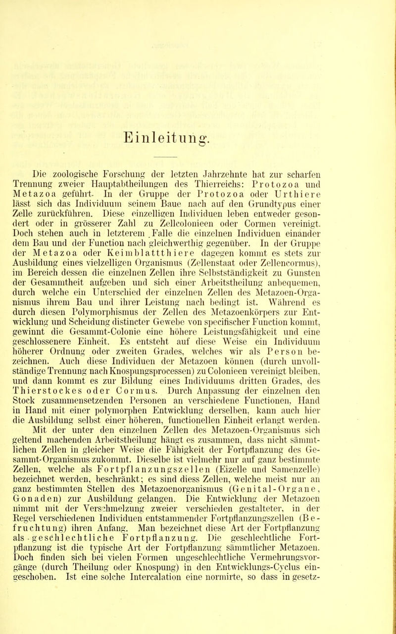Einleitung. Die zoologische Forschung der letzten Jahrzehnte hat zur scharfen Trennung zweier Hauptabtheilungen des Thierreichs: Protozoa und Metazoa geführt. In der Gruppe der Protozoa oder Urtliiere lässt sich das Individuum seinem Baue nach auf den Grundtypus einer Zelle zurückführen. Diese einzelligen Individuen leben entweder geson- dert oder in grösserer Zahl zu Zellcolonieen oder Cormen vereinigt. Doch stehen auch in letzterem .Falle die einzelnen Individuen einander dem Bau und der Function nach gleichwertig gegenüber. In der Gruppe der Metazoa oder Keimblattth iere dagegen kommt es stets zur Ausbildung eines vielzelligen Organismus (Zellenstaat oder Zellencormus), im Bereich dessen die einzelnen Zellen ihre Selbstständigkeit zu Gunsten der Gesammtheit aufgeben und sich einer Arbeitstheilung anbequemen, durch welche ein Unterschied der einzelnen Zellen des Metazoen-Orga- nismus ihrem Bau und ihrer Leistung nach bedingt ist. Während es durch diesen Polymorphismus der Zellen des Metazoenkörpers zur Ent- wicklung und Scheidung distincter Gewebe von specifischer Function kommt, gewinnt die Gesammt-Colonie eine höhere Leistungsfähigkeit und eine geschlossenere Einheit. Es entsteht auf diese Weise ein Individuum höherer Ordnung oder zweiten Grades, welches wir als Person be- zeichnen. Auch diese Individuen der Metazoen können (durch unvoll- ständige Trennung nach Knospungsprocessen) zu Colonieen vereinigt bleiben, und dann kommt es zur Bildung eines Individuums dritten Grades, des Thierstockes oder Cormus. Durch Anpassung der einzelnen den Stock zusammensetzenden Personen an verschiedene Functionen, Hand in Hand mit einer polymorphen Entwicklung derselben, kann auch hier die Ausbildung selbst einer höheren, functionellen Einheit erlangt werden. Mit der unter den einzelnen Zellen des Metazoen-Organismus sich geltend machenden Arbeitstheilung hängt es zusammen, dass nicht sämmt- lichen Zellen in gleicher Weise die Fähigkeit der Fortpflanzung des Ge- sammt-Organismus zukommt. Dieselbe ist vielmehr nur auf ganz bestimmte Zellen, welche als Fortpflanzungszeilen (Eizelle und Samenzelle) bezeichnet werden, beschränkt; es sind diess Zellen, welche meist nur an ganz bestimmten Stellen des Metazoenorganismus (Genital-Organe, Gonaden) zur Ausbildung gelangen. Die Entwicklung der Metazoen nimmt mit der Verschmelzung zweier verschieden gestalteter, in der Regel verschiedenen Individuen entstammender Fortpflanzungszellen (Be- fruchtung) ihren Anfang. Man bezeichnet diese Art der Fortpflanzung als - geschlechtliche Fortpflanzung. Die geschlechtliche Fort- pflanzung ist die typische Art der Fortpflanzung sämmtlicher Metazoen. Doch finden sich bei vielen Formen ungeschlechtliche Vermehrungsvor- gänge (durch Theilung oder Knospung) in den Entwieklungs-Cyclus ein- geschoben. Ist eine solche Intercalation eine normirte, so dass in gesetz-