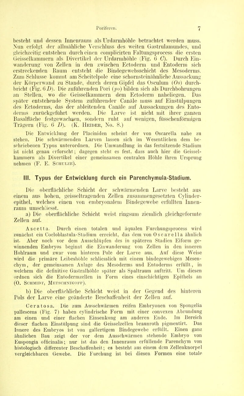 besteht und dessen Innenraum als Urdarmhöhle betrachtet werden muss. Nun erfolgt der allmähliche Verschluss des weiten Gastrulamundes, und gleichzeitig entstehen durch einen cömplicirten Faltungsprocess die ersten Geisseikammern als Divertikel der Urdarmhöhle (Fig. b' G). Durch Ein- wanderung von Zellen in den zwischen Ectoderm und Entoderm sich erstreckenden Raum entsteht die Bindegewebsschicht des Mesoderms. Zum Schlüsse kommt am Scheitelpole eine schornsteinälmliehe Aussackung der Körperwand zu Stande, durch deren Gipfel das Osculum (Os) durch- bricht (Fig. (5D). Die zuführenden Fori (po) bilden sich als Durchbohrungen an Stellen, wo die Geisseikammern dem Ectoderm naheliegen. Das später entstehende System zuführender Canäle muss auf Einstülpungen des Ectoderms, das der ableitenden Canäle auf Aussackungen des Ento- derms zurückgeführt werden. Die Larve ist nicht mit ihrer ganzen Basalfläche festgewachsen, sondern ruht auf wenigen, füsschenförmigen Trägern (Fig. 6 D). (K. Heidek, No. 8.) Die Entwicklung der Placiniden scheint der von Oscarella nahe zu stehen. Die schwärmenden Larven lassen sich im Wesentlichen dem be- schriebenen Typus unterordnen. Die Umwandlung in das festsitzende Stadium ist nicht genau erforscht ; dagegen steht es fest, dass auch hier die Geissei- kammern als Divertikel einer gemeinsamen centralen Höhle ihren Ursprung nehmen (F. E. Schulze). III. Typus der Entwicklung durch ein Parenchymula-Stadium. Die oberflächliche Schicht der schwärmenden Larve besteht aus einem aus hohen, geisseltragenden Zellen zusammengesetzten Cylinder- epithel, welches einen von embryonalem Bindegewebe erfüllten Innen- raum umschliesst. a) Die oberflächliche Schicht weist ringsum ziemlich gleichgeformte Zellen auf. Ascetta. Durch einen totalen und äqualen Furchungsprocess wird zunächst ein Coeloblastula-Stadium erreicht, das dem von OscareIIa ähnlich ist. Aber noch vor dem Ausschlüpfen des in späteren Stadien Eiform ge- winnenden Embryos beginnt die Einwanderung von Zellen in den inneren Hohlraum und zwar vom hinteren Pole der Larve aus. Auf diese Weise wird die primäre Leibeshöhle schliesslich mit einem bindegewebigen Mesen- chym, der gemeinsamen Anlage des Mesoderms und Entoderms erfüllt, in welchem die definitive Gastraihöhle später als Spaltraum auftritt. Um diesen ordnen sich die Entodermzellen in Form eines einschichtigen Epithels an (0. Schmidt, Metschnikoff). b) Die oberflächliche Schicht weist in der Gegend des hinteren Pols der Larve eine geänderte Beschaffenheit der Zellen auf. Ceratosa. Die zum Ausschwärmen reifen Embryonen von Spongelia pallescens (Fig. 7) haben cylindrische Form mit einer convexen Abrundung am einen und einer flachen Einsenkung am anderen Ende. Im Bereich dieser flachen Einstülpung sind die Geisselzellen braunroth pigmentirt. Das Innere des Embryos ist von gallertigem Bindegewebe erfüllt. Einen ganz ähnlichen Bau zeigt der vor dem Ausschwärmen stehende Embryo von Euspongia öfficinalis: nur ist das den Innenraum erfüllende Parenchym von histologisch differenter Beschaffenheit ; es besteht aus einem dem Zellenknorpel vergleichbaren Gewebe. Die Furcbung ist bei diesen Formen eine totale