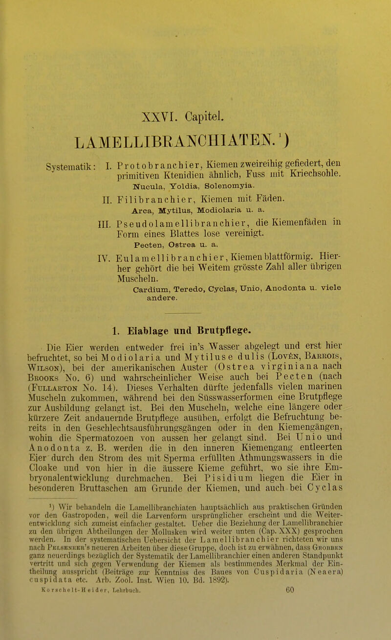 LAMELLIBRANCHIATEN.') Systematik: I. Pro tobranc hier, Kiemen zweireihig gefiedert, den primitiven Ktenidien ähnlich, Fuss mit Kriechsohle. Nucula, Yoldia, Solenomyia. II. Filibranchier, Kiemen mit Fäden. Area, Mytilus, Modiolaria u. a. III. Pseudolamellibranchier, die Kiemenfäden in Form eines Blattes lose vereinigt. Pecten, Ostrea u. a. IV. Eul am ellibr an chi er, Kiemen blattförmig. Hier- her gehört die bei Weitem grösste Zahl aller übrigen Muscheln. Cardium, Teredo, Cyclas, TJnio, Anodonta u. viele andere. 1. Eiablage und Brutpflege. Die Eier werden entweder frei in's Wasser abgelegt und erst hier befruchtet, so bei Modiolaria und Mytilus e dulis (LovfiN, Barrois, Wilson), bei der amerikanischen Auster (Ostrea virginiana nach Brooks No. 6) und wahrscheinlicher Weise auch bei Pecten (nach (Fullarton No. 14). Dieses Verhalten dürfte jedenfalls vielen marinen Muscheln zukommen, während bei den Süsswasserformen eine Brutpflege zur Ausbildung gelangt ist. Bei den Muscheln, welche eine längere oder kürzere Zeit andauernde Brutpflege ausüben, erfolgt die Befruchtung be- reits in den Geschleehtsausführungsgängen oder in den Kiemengängen, wohin die Spermatozoon von aussen her gelangt sind. Bei Unio und Anodonta z. B. werden die in den inneren Kiemengang entleerten Eier durch den Strom des mit Sperma erfüllten Athmungswassers in die Cloake und von hier in die äussere Kieme geführt, wo sie ihre Em- bryonalentwicklung durchmachen. Bei Pisidium liegen die Eier in besonderen Bruttaschen am Grunde der Kiemen, und auch bei Cyclas ') Wir behandeln die Lamellibranchiaten hauptsächlich aus praktischen Gründen vor den Gastropoden, weil die Larvenform ursprünglicher erscheint und die Weiter- entwicklung sich zumeist einfacher gestaltet. Ueher die Beziehung der Lamellibranchier zu den übrigen Abtheilungen der Mollusken wird weiter unten (Cap. XXX) gesprochen werden. In der systematischen Uebersicht der Lamellibranchier richteten wir uns nach Pelseneer's neueren Arbeiten über diese Gruppe, doch ist zu erwähnen, dass Ghohükn ganz neuerdings bezüglich der Systematik der Lamellibranchier einen anderen Standpunkt vertritt und sich gegen Verwendung der Kiemen als bestimmendes Merkmal der Ein- theilung ausspricht (Beiträge zur Kenntniss des Baues von Cuspidaria (Neaera) cuspidata etc. Arb. Zool. Inst. Wien 10. Bd. 1892). Ko rsche lt-H e i der, Lehrbuch. 60