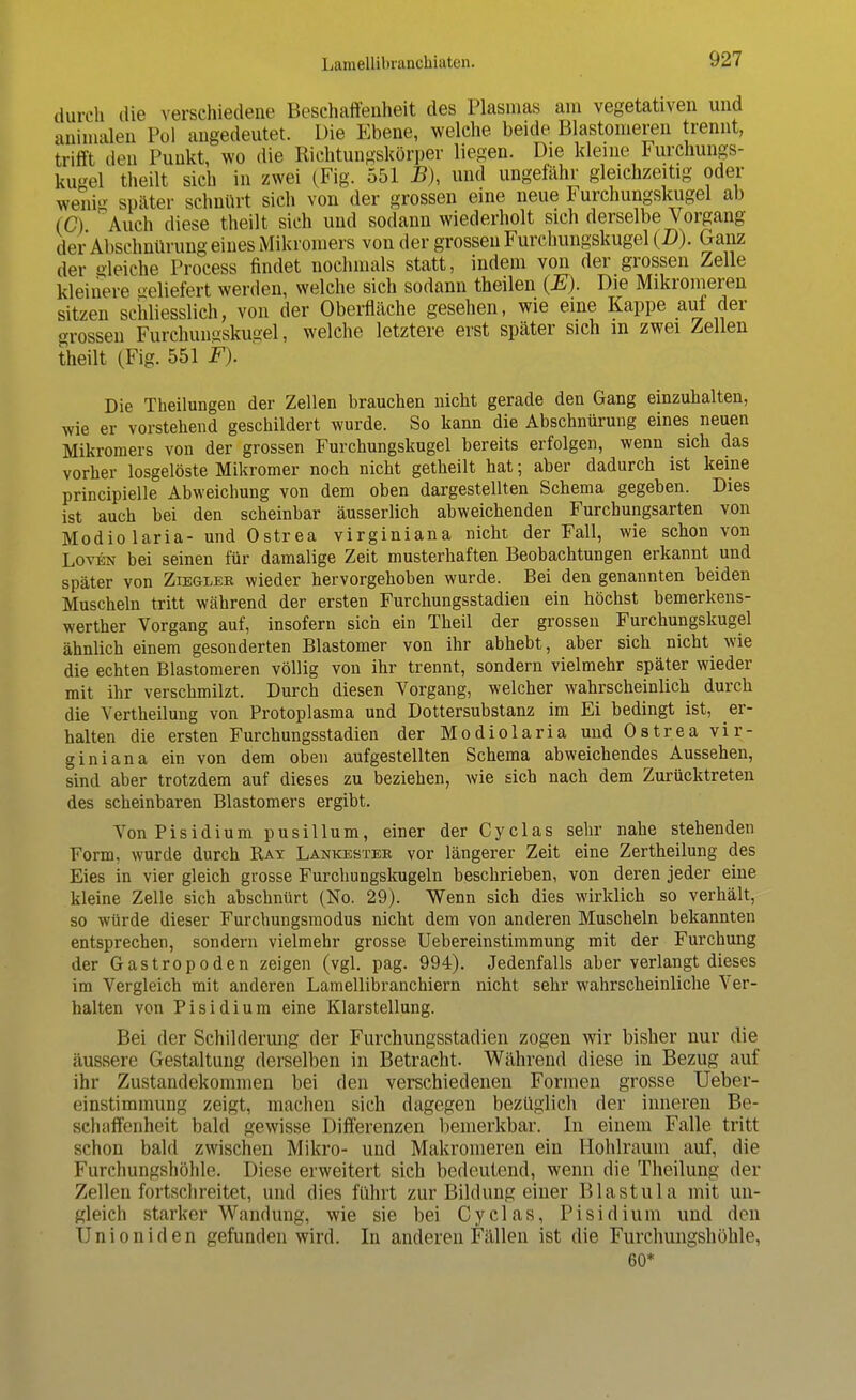 durch die verschiedene Beschaffenheit des Plasmas am vegetativen und ani malen Pol angedeutet. Die Ebene, welche beide Blastomeren trennt, trifft den Punkt, wo die Richtungskörper liegen. Die kleine Furchungs- kugel theilt sich in zwei (Fig. 551 B), und ungefähr gleichzeitig oder weni später schnürt sich von der grossen eine neue Furchungskugel ab iC) 'Auch diese theilt sich und sodann wiederholt sich derselbe Vorgang der Abschnürung eines Mikromers von der grossen Furchungskugel (D). Ganz der gleiche Process findet nochmals statt, indem von der grossen Zelle kleinere beliefert werden, welche sich sodann theilen (JE). Die Mikromeren sitzen schliesslich, von der Oberfläche gesehen, wie eine Kappe auf der grossen Furchungskugel, welche letztere erst später sich in zwei Zellen theilt (Fig. 551 F). Die Theilungen der Zellen brauchen nicht gerade den Gang einzuhalten, wie er vorstehend geschildert wurde. So kann die Abschnürung eines neuen Mikromers von der grossen Furchungskugel bereits erfolgen, wenn sich das vorher losgelöste Mikromer noch nicht getheilt hat; aber dadurch ist keine principielle Abweichung von dem oben dargestellten Schema gegeben. Dies ist auch bei den scheinbar äusserlich abweichenden Furchungsarten von Modiolaria- und Ostrea virginiana nicht der Fall, wie schon von Loven bei seinen für damalige Zeit musterhaften Beobachtungen erkannt und später von Ziegler wieder hervorgehoben wurde. Bei den genannten beiden Muscheln tritt während der ersten Furchungsstadien ein höchst bemerkens- werther Vorgang auf, insofern sich ein Theil der grossen Furchungskugel ähnlich einem gesonderten Blastomer von ihr abhebt, aber sich nicht wie die echten Blastomeren völlig von ihr trennt, sondern vielmehr später wieder mit ihr verschmilzt. Durch diesen Vorgang, welcher wahrscheinlich durch die Vertheilung von Protoplasma und Dottersubstanz im Ei bedingt ist, er- halten die ersten Furchungsstadien der Modiolaria und Ostrea vir- giniana ein von dem oben aufgestellten Schema abweichendes Aussehen, sind aber trotzdem auf dieses zu beziehen, wie sich nach dem Zurücktreten des scheinbaren Blastomers ergibt. VonPisidium pusillum, einer der Cyclas sehr nahe stehenden Form, wurde durch Ray Lankester vor längerer Zeit eine Zertheilung des Eies in vier gleich grosse Furchungskugeln beschrieben, von deren jeder eine kleine Zelle sich abschnürt (No. 29). Wenn sich dies wirklich so verhält, so würde dieser Furchungsmodus nicht dem von anderen Muscheln bekannten entsprechen, sondern vielmehr grosse Uebereinstimmung mit der Furchung der Gastropoden zeigen (vgl. pag. 994). Jedenfalls aber verlangt dieses im Vergleich mit anderen Lamellibranchiern nicht sehr wahrscheinliche Ver- halten von P i s i d i u m eine Klarstellung. Bei der Schilderung der Furchungsstadien zogen wir bisher nur die äussere Gestaltung derselben in Betracht. Während diese in Bezug auf ihr Zustandekommen bei den verschiedenen Formen grosse Ueber- einstimmung zeigt, machen sich dagegen bezüglich der inneren Be- schaffenheit bald gewisse Differenzen bemerkbar. In einem Falle tritt schon bald zwischen Mikro- und Makromeren ein Hohlraum auf, die Furchungshöhle. Diese erweitert sich bedeutend, wenn die Theilung der Zellen fortschreitet, und dies führt zur Bildung einer Blastula mit un- gleich starker Wandung, wie sie bei Cyclas, Pisidium und den Unioniden gefunden wird. In anderen Fällen ist die Furchungshöhle, 60*