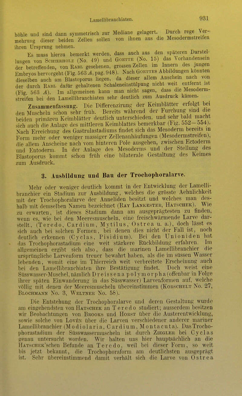 höhle und sind dann symmetrisch zur Mediane gelagert. Durch rege Ver- mehrung dieser beiden Zellen sollen von ihnen aus die Mesodermstreiten ihren Ursprung nehmen. Es muss hierzu bemerkt werden, dass auch aus den späteren Darstel- lungen von Schierholz (No. 49) und Goette (No. 15) das Vorhandensein der° betreffenden, von Rabl gesehenen, grossen Zellen im Innern des jungen Embryos hervorgeht (Fig. 563 A, pag. 948). Nach Odettes Abbildungen konnten dieselben auch am Blastoporus liegen, da dieser allem Anschein nach von der durch Rabl dafür gehaltenen Schaleneinstülpung nicht weit entfernt ist (Fig 563 4). Im allgemeinen kann man nicht sagen, dass die Mesoderm- streifen bei den Lamellibranchiaten sehr deutlich zum Ausdruck kamen. Zusammenfassung. Die Differenzirung der Keimblätter erfolgt bei den Muscheln schon sehr früh. Bereits während der Furchung sind die beiden primären Keimblätter deutlich unterschieden, und sehr bald macht sich auch die Anlage des mittleren Keimblattes bemerkbar (lig. 5o2- 554j. Nach Erreichung des Gastrulastadiums findet sich das Mesoderm bereits m Form mehr oder weniger massiger Zellenanhäufungen (Mesodermstreiten), die allem Anscheine nach vom hinteren Pole ausgehen, zwischen Ectoderm und Entoderm. In der Anlage des Mesoderms und der Stellung des Blastoporus kommt schon früh eine bilaterale Gestaltung des Keimes zum Ausdruck. 3. Ausbildung und Bau der Trochophoralarye. Mehr oder weniger deutlich kommt in der Entwicklung der Lamelli- branchier ein Stadium zur Ausbildung, welches die grösste Aehnlichkeit mit der Trochophoralarve der Anneliden besitzt und welches man des- halb mit demselben Namen bezeichnet (Rat Lankester, Hatschek). Wie zu erwarten, ist dieses Stadium dann am ausgeprägtesten zu finden, wenn es, wie bei den Meeresmuscheln, eine freischwärmende Larve dar- stellt, (Teredo, Cardium, Mytilus ,• Ostrea u. a.), doch lässt es sich auch bei solchen Formen, bei denen dies nicht der Fall ist, noch deutlich erkennen (Cyclas, Pisidium). Bei den Unioniden hat das Trochophorastadium eine weit stärkere Rückbildung erfahren. Im allgemeinen ergibt sich also, dass die marinen Lamellibranchier die ursprüngliche Larvenform treuer bewahrt haben, als die im süssen Wasser lebenden, womit eine im Thierreich weit verbreitete Erscheinung auch bei den Lamellibranchiaten ihre Bestätigung findet. Doch weist eine Süsswasser-Muschel, nämlich Dreissena polymorpha(offenbar in Folge ihrer späten Einwanderung in das Süsswasser) Larvenformen auf, welche völlig mit denen der Meeresmuscheln übereinstimmen (Korschelt No. 27, Blochmann No. 3, Weltner No. 58). I >ie Entstehung der Trochophoralarve und deren Gestaltung wurde am eingehendsten von Hatschek an Teredo studiert; ausserdem besitzen wir Beobachtungen von Brooks und Horst über die Austerentwicklung, sowie solche von Loven über die Larven verschiedener anderer mariner Lamellibranchier (Modiolaria, Cardium, Montacuta). DasTrocho- phorastadium der Süsswassermuscheln ist durch Ziegler bei Cyclas genau untersucht worden. Wir halten uns hier hauptsächlich an die HatscheEt'schen Befunde an Teredo, weil bei dieser Form, so weit bis jetzt bekannt, die Trochophoraform am deutlichsten ausgeprägl ist. Sehr übereinstimmend damit verhält sich die Larve von Ostrea