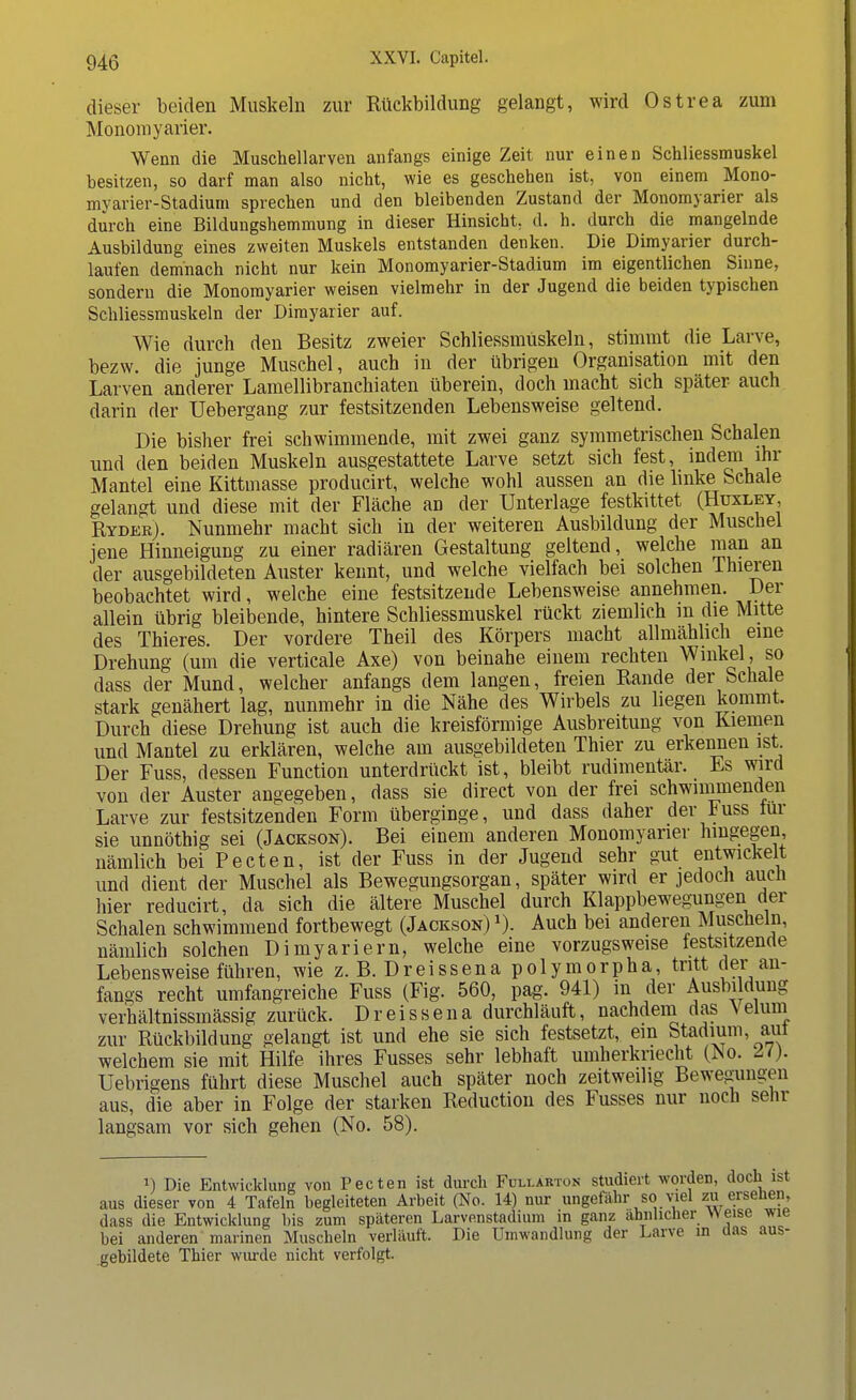 dieser beiden Muskeln zur Rückbildung gelangt, wird Ostrea zum Monomyarier. Wenn die Muschellarven anfangs einige Zeit nur einen Schliessmuskel besitzen, so darf man also nicht, wie es geschehen ist, von einem Mono- myarier-Stadium sprechen und den bleibenden Zustand der Monomyarier als durch eine Bildungshemmung in dieser Hinsicht, d. h. durch die mangelnde Ausbildung eines zweiten Muskels entstanden denken. Die Dimyarier durch- laufen demnach nicht nur kein Monomyarier-Stadium im eigentlichen Sinne, sondern die Monomyarier weisen vielmehr in der Jugend die beiden typischen Schliessmuskeln der Dimyarier auf. Wie durch den Besitz zweier Schliessmtiskeln, stimmt die Larve, bezw. die junge Muschel, auch in der übrigen Organisation mit den Larven anderer Lamellibranchiaten überein, doch macht sich später auch darin der Uebergang zur festsitzenden Lebensweise geltend. Die bisher frei schwimmende, mit zwei ganz symmetrischen Schalen und den beiden Muskeln ausgestattete Larve setzt sich fest, indem ihr Mantel eine Kittmasse producirt, welche wohl aussen an die linke Schale gelangt und diese mit der Fläche an der Unterlage festkittet (Huxley, Ryder). Nunmehr macht sich in der weiteren Ausbildung der Muschel jene Hinneigung zu einer radiären Gestaltung geltend, welche man an der ausgebildeten Auster kennt, und welche vielfach bei solchen Thieren beobachtet wird, welche eine festsitzende Lebensweise annehmen. Der allein übrig bleibende, hintere Schliessmuskel rückt ziemlich m die Mitte des Thieres. Der vordere Theil des Körpers macht allmählich eine Drehung (um die verticale Axe) von beinahe einem rechten Winkel , so dass der Mund, welcher anfangs dem langen, freien Rande der Schale stark genähert lag, nunmehr in die Nähe des Wirbels zu liegen kommt. Durch diese Drehung ist auch die kreisförmige Ausbreitung von Kiemen und Mantel zu erklären, welche am ausgebildeten Thier zu erkennen ist Der Fuss, dessen Function unterdrückt ist, bleibt rudimentär. Es wird von der Auster angegeben, dass sie direct von der frei schwimmenden Larve zur festsitzenden Form überginge, und dass daher der Fuss iur sie unnöthig sei (Jackson). Bei einem anderen Monomyarier hingegen, nämlich bei Pecten, ist der Fuss in der Jugend sehr gut entwickelt und dient der Muschel als Bewegungsorgan, später wird er jedoch auch hier reducirt, da sich die ältere Muschel durch Klappbewegungen der Schalen schwimmend fortbewegt (Jackson) Auch bei anderen Muscheln, nämlich solchen Dimyariern, welche eine vorzugsweise festsitzende Lebensweise führen, wiez. B. Dreissenapolymorpha, tritt der^an- fangs recht umfangreiche Fuss (Fig. 560, pag. 941) in der Ausbi düng verhältnissmässig zurück. Dreissena durchläuft, nachdem das Verum zur Rückbildung gelangt ist und ehe sie sich festsetzt, ein Stadium, aut welchem sie mit Hilfe ihres Fusses sehr lebhaft umherkriecht (No. Ii). Uebrigens führt diese Muschel auch später noch zeitweilig Bewegungen aus, die aber in Folge der starken Reduction des Fusses nur noch sehr langsam vor sich gehen (No. 58). M Die Entwicklung von Pecten ist durch Füllakton studiert worden, doch ist aus dieser von 4 Tafeln begleiteten Arbeit (No. 14) nur ungefähr so viel zu ersehen, dass die Entwicklung bis zum späteren Larvenstadium in ganz ähnlicher weise wie bei anderen marinen Muscheln verläuft. Die Umwandlung der Larve in aas aus- gebildete Thier wurde nicht verfolgt.