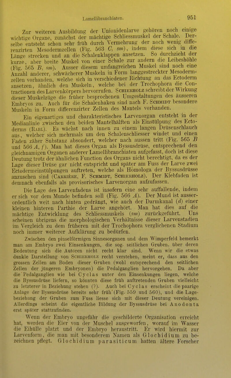 Zur weiteren Ausbildung der Unionidenlarve gehören noch einige wichtige Organe, zunächst der mächtige Schliessmuskel der Schale. Der- selbe entsteht schon sehr früh durch Vermehrung der noch wenig difte- renzirten Mesodermzellen (Fig. 563 C, sm), indem diese sich in die I änge strecken und an die Schalenklappen ansetzen. So durchzieht der kurze aber breite Muskel von einer Schale zur andern die Leibeshohle (Fig 565 J5, sm). Ausser diesem umfangreichen Muskel sind noch eine \nzahl anderer, schwächerer Muskeln in Form langgestreckter Mesoderm- zellen vorhanden, welche sich in verschiedener Richtung an das Ectoderm ansetzen, ähnlich den Muskeln, welche bei der Trochophora die Con- tractionen des Larvenkörpers hervorrufen. Schierholz schreibt der Wirkung dieser Muskelzüge die früher besprochenen Umgestaltungen des äusseren Embryos zu. Auch für die Schalenhaken sind nach F. Schmidt besondere Muskeln in Form differenzirter Zellen des Mantels vorhanden. Ein eigenartiges und charakteristisches Larvenorgan entsteht in der Medianlinie zwischen den beiden Mantelhälften als Einstülpung des Ecto- derms (Rabl). Es wächst nach innen zu einem langen Drüsenschlauch aus, welcher sich mehrmals um den Schalenschliesser windet und einen Faden zäher Substanz absondert, welcher nach aussen tritt (Fig. 565 B und 566 A, /'). Man hat dieses Organ als Byssusdrüse, entsprechend den gleichnamigen Organen anderer Lamellibranchiaten aufgefasst, doch ist diese Deutung trotz der ähnlichen Function des Organs nicht berechtigt, da es der Lage dieser Drüse gar nicht entspricht und später am Fuss der Larve zwei Ectodermeinstülpungen auftreten, welche als Hömologa der Byssusdrüsse anzusehen sind (Carriere, F. Schmidt, Schierholz). Der Klebfaden ist demnach ebenfalls als provisorisches Larvenorgan aufzufassen. Die Lage des Larvenfadens ist insofern eine sehr auffallende, indem er sich vor dem Munde befinden soll (Fig. 566 Ä). Der Mund ist ausser- ordentlich weit nach hinten gedrängt, wie auch der Darmkanal (d) einer kleinen hinteren Parthie der Larve angehört. Man hat dies auf die mächtige Entwicklung des Schliessmuskels (sm) zurückgeführt. Uns scheinen übrigens die morphologischen Verhältnisse dieser Larvenstadien im Vergleich zu dem früheren mit der Trochophora verglichenen Stadium noch immer weiterer Aufklärung zu bedürfen. Zwischen den pinselförmigen Sinnesorganen und dem Wimperfeld bemerkt man am Embryo zwei Einsenkungen, die sog. seitlichen Gruben, über deren Bedeutung sich die Autoren nicht recht klar sind. Wenn wir die etwas dunkle Darstellung von Schierholz recht verstehen, meint er, dass aus den grossen Zellen am Boden dieser Gruben (wohl entsprechend den seitlichen Zellen der jüngeren Embryonen) die Pedalganglien hervorgehen. Da aber die'Pedalganglien wie bei Cyclas unter den Einsenkungen liegen, welche die Byssusdrüse liefern, so könnten diese früh auftretenden Gruben vielleicht zu letzterer in Beziehung stehen (?). Auch bei Cyclas erscheint die paarige Anlage der Byssusdrüse bereits sehr früh'(Fig. 559 und 560), und die Lage- bezieh »ng der Gruben zum Fuss Hesse sich mit dieser Deutung vereinigen. Allerdings scheint die eigentliche Bildung der Byssusdrüse bei Anodonta erst später stattzufinden. Wenn der Embryo ungefähr die geschilderte Organisation erreicht hat, werden die Eier von der Muschel ausgeworfen, worauf im Wasser die Eihtille platzt und der Embryo heraustritt. Er wird hiermit zur Larvenfonn, die man mit besonderem Namen als Glochidium zu be- zeichnen pflegt. Glochidium parasiticum hatten ältere Forscher