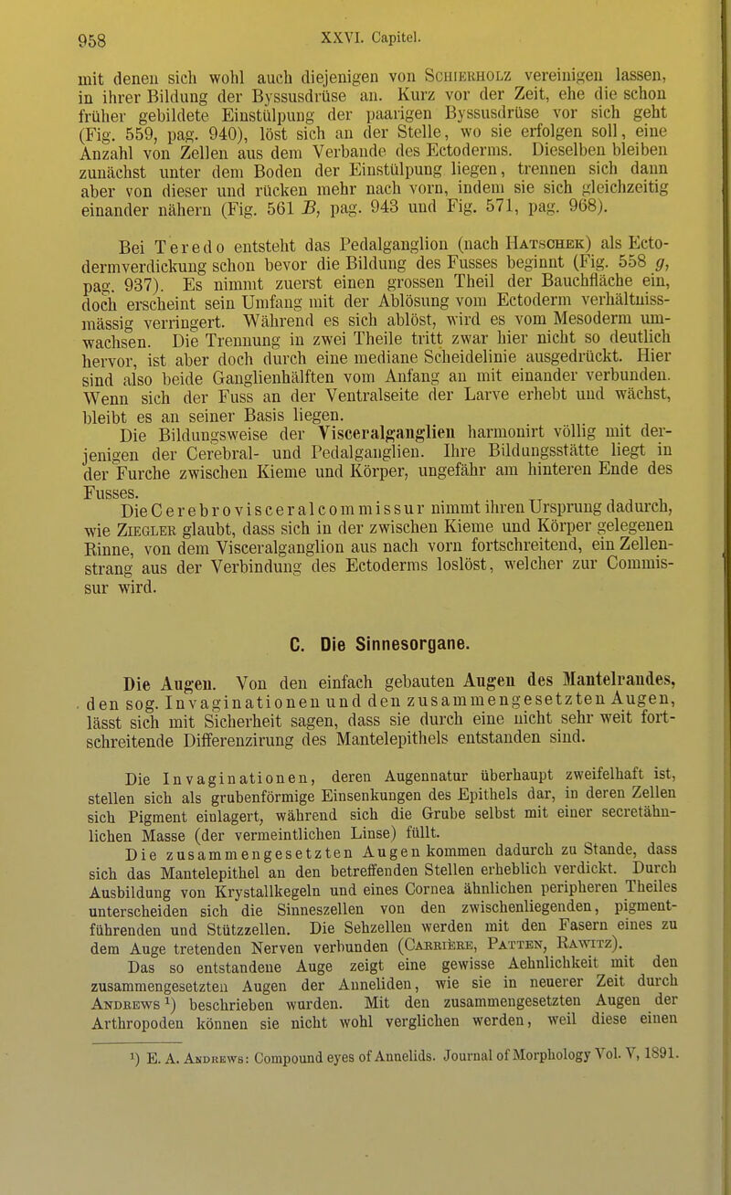 mit denen sich wohl auch diejenigen von Schierholz vereinigen lassen, in ihrer Bildung der Byssusdrüse an. Kurz vor der Zeit, ehe die schon früher gebildete Einstülpung der paarigen Byssusdrüse vor sich geht (Fig. 559, pag. 940), löst sich an der Stelle, wo sie erfolgen soll, eine Anzahl von Zellen aus dem Verbände des Ectoderms. Dieselben bleiben zunächst unter dem Boden der Einstülpung liegen, trennen sich dann aber von dieser und rücken mehr nach vorn, indem sie sich gleichzeitig einander nähern (Fig. 561 B, pag. 943 und Fig. 571, pag. 968). Bei Teredo entsteht das Pedalganglion (nach Hatschek) als Ecto- dermverdickung schon bevor die Bildung des Fusses beginnt (Fig. 558 g, pag. 937). Es nimmt zuerst einen grossen Theil der Bauchfläche ein, doch erscheint sein Umfang mit der Ablösung vom Ectoderm verhältniss- mässig verringert. Während es sich ablöst, wird es vom Mesoderm um- wachsen. Die Trennung in zwei Theile tritt zwar hier nicht so deutlich hervor, ist aber doch durch eine mediane Scheidelinie ausgedrückt. Hier sind also beide Ganglienhälften vom Anfang an mit einander verbunden. Wenn sich der Fuss an der Ventralseite der Larve erhebt und wächst, bleibt es an seiner Basis liegen. Die Bildungsweise der Visceralganglien harmonirt völlig mit der- jenigen der Cerebral- und Pedalganglien. Ihre Bildungsstätte liegt in der Furche zwischen Kieme und Körper, ungefähr am hinteren Ende des Fusses. DieCerebrovisceralcommissur nimmt ihren Ursprung dadurch, wie Ziegler glaubt, dass sich in der zwischen Kieme und Körper gelegenen Rinne, von dem Visceralganglion aus nach vorn fortschreitend, ein Zellen- strang aus der Verbindung des Ectoderms loslöst, welcher zur Commis- sur wird. C. Die Sinnesorgane. Die Augen. Von den einfach gebauten Augen des Mantelrandes, den sog. Invaginationen und den zusammengesetzten Augen, lässt sich mit Sicherheit sagen, dass sie durch eine nicht sehr weit fort- schreitende Differenzirung des Mantelepithels entstanden sind. Die Invaginationen, deren Augennatur überhaupt zweifelhaft ist, stellen sich als grubenförmige Einsenkungen des Epithels dar, in deren Zellen sich Pigment einlagert, während sich die Grube selbst mit einer secretähn- lichen Masse (der vermeintlichen Linse) füllt. Die zusammengesetzten Augen kommen dadurch zu Stande, dass sich das Mantelepithel an den betreffenden Stellen erheblich verdickt. Durch Ausbildung von Krystallkegeln und eines Cornea ähnlichen peripheren Theiles unterscheiden sich die Sinneszellen von den zwischenliegenden, pigment- führenden und Stützzellen. Die Sehzellen werden mit den Fasern eines zu dem Auge tretenden Nerven verbunden (Carriere, Patten, Rawitz). Das so entstandene Auge zeigt eine gewisse Aehnlichkeit mit den zusammengesetzten Augen der Anneliden, wie sie in neuerer Zeit durch Andrews1) beschrieben wurden. Mit den zusammengesetzten Augen der Arthropoden können sie nicht wohl verglichen werden, weil diese einen ]) E. A. Andrews: Compound eyes of Annelids. Journal of Morphology Vol. V, 1891.