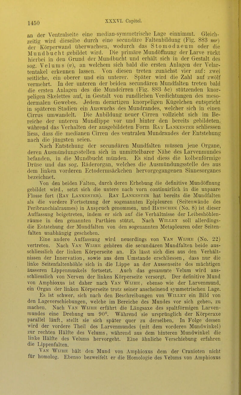 an der Ventralseite eine median-symmetrische Lage einnimmt. Gleich- zeitig wird dieselbe durch eine secundäre Faltenbildung (Fig. 883 mr) der Körperwand überwachsen, wodurch das Stomodaeum oder die Mund bucht gebildet wird. Die primäre Mundöffnung der Larve rückt hierbei in den Grund der Mundbucht und erhält sich in der Gestalt des sog. Velums (y), an welchem sich bald die ersten Anlagen der Velar- tentakel erkennen lassen. Von diesen treten zunächst vier auf: zwei seitliche, ein oberer und ein unterer. Später wird die Zahl auf zwölf vermehrt. In der unteren der beiden secundären Mundfalten treten bald die ersten Anlagen des die Mundeirren (Fig. 883 bc) stützenden knor- peligen Skelettes auf, in Gestalt von rundlichen Verdichtungen des meso- dermalen Gewebes. Jedem derartigen knorpeligen Kügelchen entspricht in späteren Stadien ein Auswuchs des Mundrandes, welcher sich in einen Cirrus umwandelt. Die Anbildung neuer Cirren vollzieht sich im Be- reiche der unteren Mundlippe vor und hinter den bereits gebildeten, während das Verhalten der ausgebildeten Form Ray Lankester schliessen Hess, dass die medianen Cirren des ventralen Mundrandes der Entstehung nach die jüngsten seien. Nach Entstehung der secundären Mundfalten müssen jene Organe, deren Ausmündungsstellen sich in unmittelbarer Nähe des Larvenmundes befanden, in die Mundbucht münden. Es sind diess die kolbenförmige Drüse und das sog. Räderorgan, welches die Ausmündungsstelle des aus dem linken vorderen Ectodermsäckchen hervorgegangenen Sinnesorganes bezeichnet. Von den beiden Falten, durch deren Erhebung die definitive Mundöffnung gebildet wird, setzt sich die untere nach vorn continuirlich in die unpaare Flosse fort (Ray Lankester). Rat Lankester hat bereits die Mundfalten als die vordere Fortsetzung der sogenannten Epipleuren (Seitenwände des Peribranchialraumes) in Anspruch genommen, und Hatschek (No. 8) ist dieser Auffassung beigetreten, indem er sich auf die Verhältnisse der Leibeshöhlen- räume in den genannten Parthien stützt. Nach Willey soll allerdings- die Entstehung der Mundfalten von den sogenannten Metapleuren oder Seiten- falten unabhängig geschehen. Eine andere Auffassung wird neuerdings von Van Wwhe (No. 22) vertreten. Nach Van Wuhe gehören die secundären Mundfalten beide aus- schliesslich der linken Körperseite an. Es lässt sich dies aus den Verhält- nissen der Innervation, sowie aus dem Umstände erschliessen, dass nur die linke Seitenfaltenhöhle sich in die Lippe an der Aussenseite des mächtigen äusseren Lippenmuskels fortsetzt. Auch das gesammte Velum wird aus- schliesslich von Nerven der linken Körperseite versorgt. Der definitive Mund von Amphioxus ist daher nach Van Wuhe, ebenso wie der Larvenmund, ein Organ der linken Körperseite trotz seiner anscheinend symmetrischen Lage. Es ist schwer, sich nach den Beschreibungen von Willey ein Bild von den Lageverschiebungen, welche im Bereiche des Mundes vor sich gehen, zu machen. Nach Van Wuhe erfährt die Längsaxe des spaltförmigen Larven- mundes eine Drehung um 90°. Während sie ursprünglich der Körperaxe parallel läuft, stellt sie sich später quer zu derselben. In Folge dessen wird der vordere Theil des Larvenmundes (mit dem vorderen Mundwinkel) zur rechten Hälfte des Velums, während aus dem hinteren Mundwinkel die linke Hälfte des Velums hervorgeht. Eine ähnliche Verschiebung erfahren die Lippenfalten. Van Wuhe hält den Mund von Amphioxus dem der Cranioten nicht für homolog. Ebenso bezweifelt er die Homologie des Velums von Amphioxus