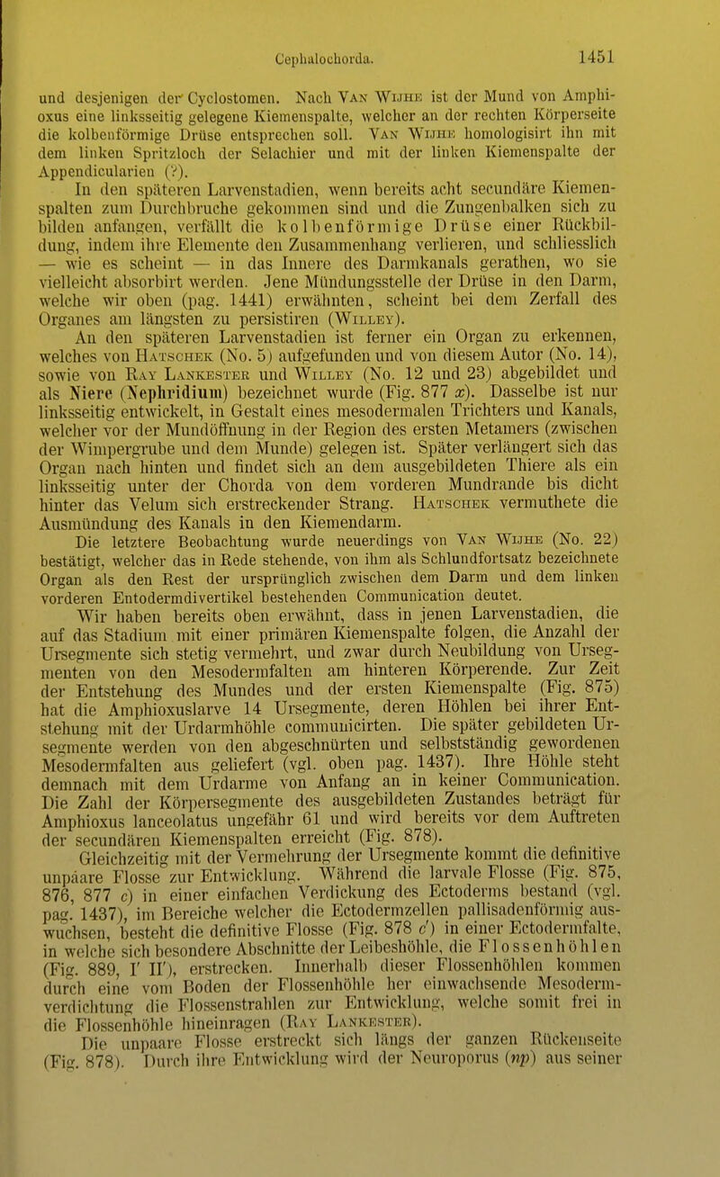 und desjenigen der Cyclostomen. Nach Van Wuhe ist der Mund von Amphi- oxus eine linksseitig gelegene Kiemenspalte, welcher an der rechten Körperseite die kolbenförmige Drüse entsprechen soll. Van Wethe homologisirt ihn mit dem linken Spritzloch der Selachier und mit der linken Kiemenspalte der Appendicularien (?). In den späteren Larvenstadien, wenn bereits acht secundäre Kiemen- spalten zum Durchbruche gekommen sind und die Zungenbalken sich zu bilden anfangen, verfallt die kolbenförmige Drüse einer Rückbil- dung, indem ihre Elemente den Zusammenhang verlieren, und schliesslich — wie es scheint — in das Innere des Darmkanals gerathen, wo sie vielleicht absorbirt werden. Jene Mündungsstelle der Drüse in den Darm, welche wir oben (pag. 1441) erwähnten, scheint bei dem Zerfall des Organes am längsten zu persistiren (Willey). An den späteren Larvenstadien ist ferner ein Organ zu erkennen, welches von Hatschek (No. 5) aufgefunden und von diesem Autor (No. 14), sowie von Ray Lankester und Willey (No. 12 und 23) abgebildet und als Niere (Nephridium) bezeichnet wurde (Fig. 877 x). Dasselbe ist nur linksseitig entwickelt, in Gestalt eines mesodermalen Trichters und Kanals, welcher vor der Mundöffnung in der Region des ersten Metamers (zwischen der Wimpergrube und dem Munde) gelegen ist. Später verlängert sich das Organ nach hinten und findet sich an dem ausgebildeten Thiere als ein linksseitig unter der Chorda von dem vorderen Mundrande bis dicht hinter das Velum sich erstreckender Strang. Hatschek vermuthete die Ausmündung des Kanals in den Kiemendarm. Die letztere Beobachtung wurde neuerdings von Van Wuhe (No. 22) bestätigt, welcher das in Rede stehende, von ihm als Schlundfortsatz bezeichnete Organ als den Rest der ursprünglich zwischen dem Darm und dem linken vorderen Entodermdivertikel bestehenden Communication deutet. Wir haben bereits oben erwähnt, dass in jenen Larvenstadien, die auf das Stadium mit einer primären Kiemenspalte folgen, die Anzahl der Ursegmente sich stetig vermehrt, und zwar durch Neubildung von Urseg- menten von den Mesodermfalten am hinteren Körperende. Zur Zeit der Entstehung des Mundes und der ersten Kiemenspalte (Fig. 875) hat die Amphioxuslarve 14 Ursegmente, deren Höhlen bei ihrer Ent- stehung mit der Urdarmhöhle communicirten. Die später gebildeten Ur- segmente werden von den abgeschnürten und selbstständig gewordenen Mesodermfalten aus geliefert (vgl. oben pag. 1437). Ihre Höhle steht demnach mit dem Urdarme von Anfang an in keiner Communication. Die Zahl der Körpersegmente des ausgebildeten Zustandes beträgt für Amphioxus lanceolatus ungefähr 61 und wird bereits vor dem Auftreten der secundären Kiemenspalten erreicht (Fig. 878). Gleichzeitig mit der Vermehrung der Ursegmente kommt die definitive unpäare Flosse zur Entwicklung. Während die larvale Flosse (Fig. 875, 876, 877 c) in einer einfachen Verdickung des Ectoderms bestand (vgl. pag. 1437), im Bereiche welcher die Ectodermzellen pallisadenförmig aus- wuchsen, besteht die definitive Flosse (Fig. 878 c) in einer Ectodermfalte, in welche sich besondere Abschnitte der Leibeshöhle, die Flossenhöhle n (Fig. 889, f II'), erstrecken. Innerhalb dieser Flossenhöhlen kommen durch eine vom Boden der Flossenhöhle her einwachsende Mesoderm- verdichtung die Flossenstrahlen zur Entwicklung, welche somit frei in die Flossenhöhle hineinragen (Ray Lankester). Die unpäare Flosse erstreckt sich längs der ganzen Rückenseite (Fig. 878). Durch ihre Entwicklung wird der Neuroporus (np) aus seiner
