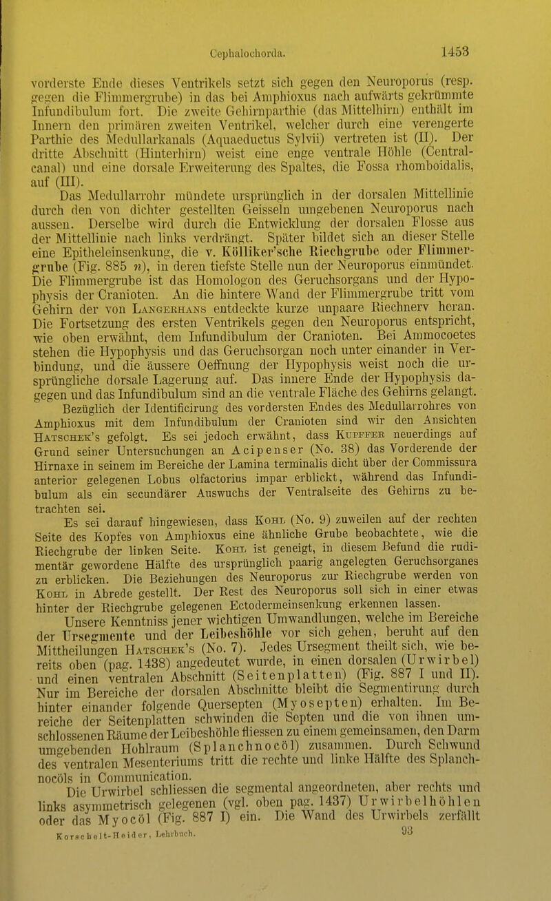 vorderste Ende dieses Ventrikels setzt sich gegen den Neuroporus (resp. gegen die Flimmergrube) in das bei Aniphioxus nach aufwärts gekrümmte Infundibulum fort. Die zweite Gehirnparthie (das Mittelhirn) enthält im Innern den primären zweiten Ventrikel, welcher durch eine verengerte Parthie des Mednllarkanals (Aquaeductus Sylvii) vertreten ist (II). Der dritte Abschnitt (Hinterhirn) weist eine enge ventrale Höhle (Central- canal) und eine dorsale Erweiterung des Spaltes, die Fossa rhomboidales, auf (III). Das Medullarrohr mündete ursprünglich in der dorsalen Mittellinie durch den von dichter gestellten Geissein umgebenen Neuroporus nach aussen. Derselbe wird durch die Entwicklung der dorsalen Flosse aus der Mittellinie nach links verdrängt. Später bildet sich an dieser Stelle eine Epitheleinsenkung, die v. Kölliker'sche Riechgrube oder Flimmer- grube (Fig. 885 n), in deren tiefste Stelle nun der Neuroporus einmündet. Die Flimmergrube ist das Homologon des Geruchsorgans und der Hypo- physis der Cranioten. An die hintere Wand der Flimmergrube tritt vom Gehirn der von Langekhans entdeckte kurze unpaare Riechnerv heran. Die Fortsetzung des ersten Ventrikels gegen den Neuroporus entspricht, wie oben erwähnt, dem Infundibulum der Cranioten. Bei Ammocoetes stehen die Hypophysis und das Geruchsorgan noch unter einander in Ver- bindung, und die äussere Oeffnung der Hypophysis weist noch die ur- sprüngliche dorsale Lagerung auf. Das innere Ende der Hypophysis da- gegen und das Infundibulum sind an die ventrale Fläche des Gehirns gelangt. Bezüglich der Identificirung des vordersten Endes des Medullarrohres von Amphioxus mit dem Infundibulum der Cranioten sind wir den Ansichten Hatschek's gefolgt. Es sei jedoch erwähnt, dass Ktjpffek neuerdings auf Grund seiner Untersuchungen an Acipenser (No. 38) das Vorderende der Hirnaxe in seinem im Bereiche der Lamina terminalis dicht über der Commissura anterior gelegenen Lobus olfactorius impar erblickt, während das Infundi- bulum als ein secundärer Auswuchs der Ventralseite des Gehirns zu be- trachten sei. Es sei darauf hingewiesen, dass Kohl (No. 9) zuweilen auf der rechten Seite des Kopfes von Amphioxus eine ähnliche Grube beobachtete, wie die Riechgrube der liDken Seite. Kohl ist geneigt, in diesem Befund die rudi- mentär gewordene Hälfte des ursprünglich paarig angelegten Geruchsorganes zu erblicken. Die Beziehungen des Neuroporus zur Riechgrube werden von Kohl in Abrede gestellt. Der Rest des Neuroporus soll sich in einer etwas hinter der Riechgrube gelegenen Ectodermeinsenkung erkennen lassen. Unsere Kenntniss jener wichtigen Umwandlungen, welche im Bereiche der Ilrsegmente und der Leibeshöhle vor sich gehen, beruht auf den Mittheilungen Hatschek's (No. 7). Jedes Ursegment theilt sich, wie be- reits oben (pag. 1438) angedeutet wurde, in einen dorsalen (Ur wir bei) und einen ventralen Abschnitt (Seitenplatten) (Fig. 887 I und II). Nur im Bereiche der dorsalen Abschnitte bleibt die Segmentirung durch hinter einander folgende Quersepten (Myosepten) erhalten. Im Be- reiche der Seitenplatten schwinden die Septen und die von ihnen um- schlossenen Räume der Leibeshöhle fliessen zu einem gemeinsamen, den Darm umgebenden Hohlraum (Splanchnocöl) zusammen. Durch Schwund des^ventralen Mesenteriums tritt die rechte und linke Hälfte des Splanch- nocöls in Communication. . ' Die Urwirbel schliessen die segmental angeordneten, aber rechts und links asymmetrisch gelegenen (vgl. oben pag. 1437) Ur wirbelhöhlen oder das Myocöl (Fig. 887 I) ein. Die Wand des Urwirbels zerfällt Korscbelt-Hoidor, T-ehi-buch. 93