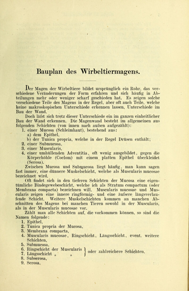 Bauplan des Wirbeltiermagens. Der Magen der Wirbeltiere bildet ursprünglich ein Rohr, das ver- schiedene Veränderungen der Form erfahren und sich häufig in Ab- teilungen mehr oder weniger scharf geschieden hat. Es zeigen solche verschiedene Teile des Magens in der Regel, aber oft auch Teile, welche keine makroskopischen Unterschiede erkennen lassen, Unterschiede im Bau der Wand. Doch läfst sich trotz dieser Unterschiede ein im ganzen einheitlicher Bau der Wand erkennen. Die Magenwand besteht im allgemeinen aus folgenden Schichten (von innen nach aufsen aufgezählt): 1. einer Mucosa (Schleimhaut), bestehend aus: a) dem Epithel, bj der Tunica propria, welche in der Regel Drüsen enthält; 2. einer Submucosa, 3. einer Muscularis, 4. einer umhüllenden Adventitia, oft wenig ausgebildet, gegen die Körperhöhle (Coelom) mit einem platten Epithel überkleidet (Serosa). Zwischen Mucosa und Subniucosa liegt häufig, man kann sagen fast immer, eine dünnere Muskelschicht, welche als Muscularis mucosae bezeichnet wird. Oft findet sich in den tieferen Schichten der Mucosa eine eigen- tümliche Bindegewebeschicht, welche ich als Stratum compactum (oder Membrana compacta) bezeichnen will. Muscularis mucosae und Mus- cularis zeigen eine innere ringförmig- und eine äufsere längsverlau- fende Schicht. Weitere Muskelschichten kommen an manchen Ab- schnitten des Magens bei manchen Tieren sowohl in der Muscularis, als in der Muscularis mucosae vor. Zählt man alle Schichten auf, die vorkommen können, so sind die Namen folgende: 1. Epithel, 2. Tunica propria der Mucosa, 3. Membrana compacta, 4. Muscularis mucosae, Ringschicht, Längsschicht, event. weitere Schichten, 5. Submucosa, 1. KgSStt? MUSC,Ulai'iS } o*» ^reichere Schichte«, 8. Subserosa, 9. Serosa.